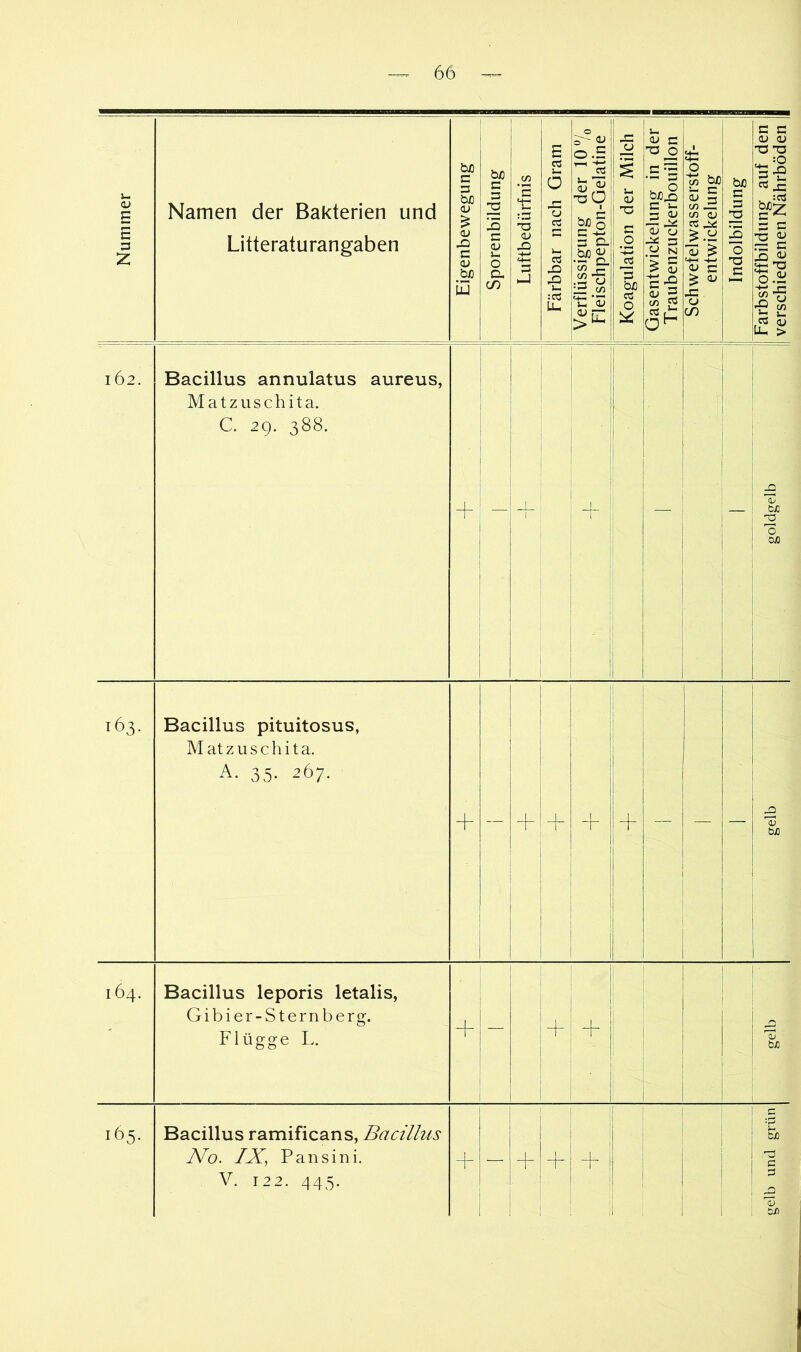 Nummer Namen der Bakterien und Litteraturangaben Eigenbewegung | Sporenbildung | Luftbedürfnis I Färbbar nach Gram | Verflüssigung der 10 7o Fleischpepton-Gelatine Koagulation der Milch I Gasentwickelung in der j Traubenzuckerbouillon | Schwefelwasserstoff- entwickelung Indolbildung I Farbstoffbildung auf den 1 verschiedenen Nährböden | 162. Bacillus annulatus aureus, Matziischita. C 29. 388. — -f — — goldgelb 163. Bacillus pituitosus, Matzuschita. A. 35. 267. + — _|_ 1 + i 1 i — ! i £ bJO i 164. Bacillus leporis letalis, Gibier-Sternberg. Flügge L. + — -f- 1 ' ! 1 1 1 1 1 i 1 j gelb 165. Bacillus ramificans, Bacillus No. IX, Pansini. V. 122. 445. 1 1 -h i + + 1 ' 1 gelb und grün