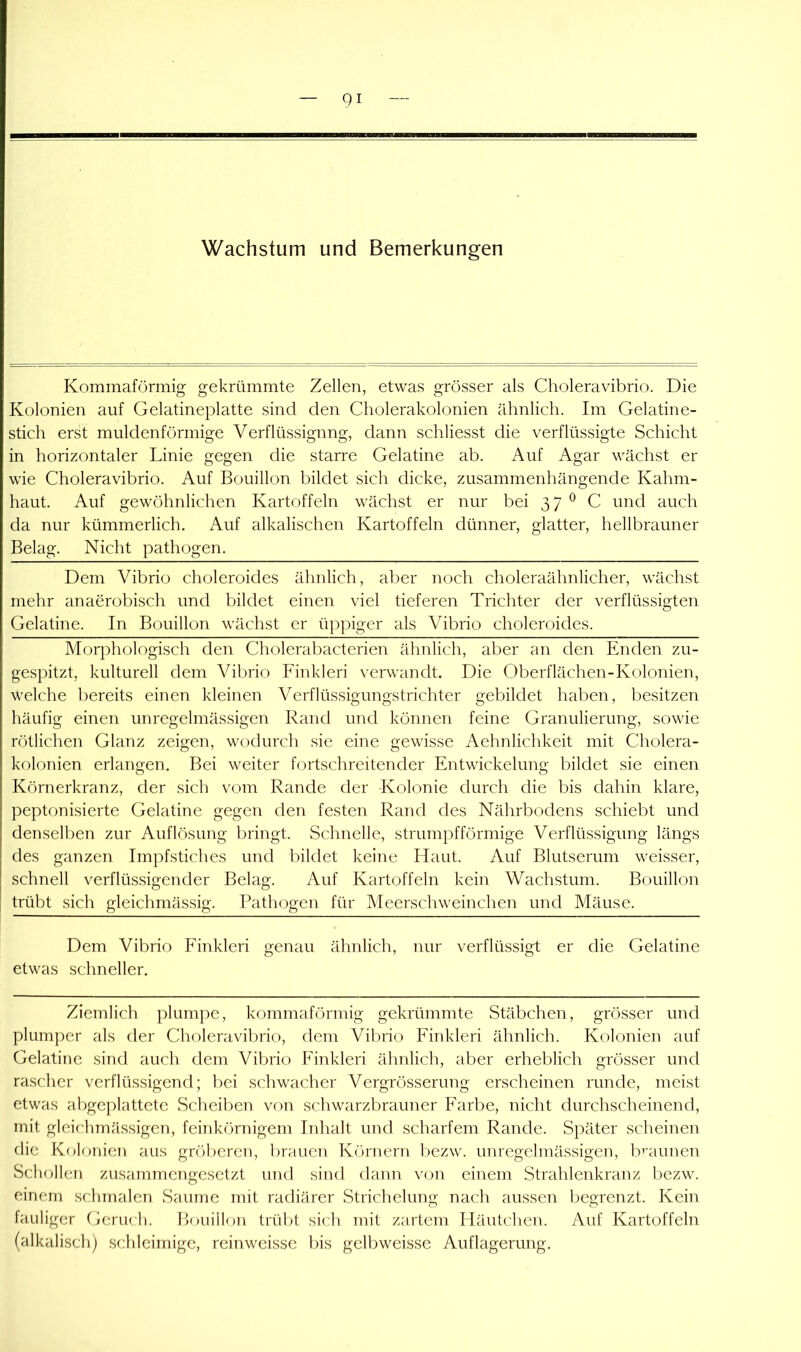 Wachstum und Bemerkungen Kommaförmig gekrümmte Zellen, etwas grösser als Choleravibrio. Die Kolonien auf Gelatineplatte sind den Cholerakolonien ähnlich. Im Gelatine- stich erst muldenförmige Verflüssigung, dann schliesst die verflüssigte Schicht in horizontaler Linie gegen die starre Gelatine ab. Auf Agar wächst er wie Choleravibrio. Auf Bouillon bildet sich dicke, zusammenhängende Kahm- haut. Auf gewöhnlichen Kartoffeln wächst er nur bei 37 ^ C und auch da nur kümmerlich. Auf alkalischen Kartoffeln dünner, glatter, hellbrauner Belag. Nicht pathogen. Dem Vibrio choleroides ähnlich, aber noch choleraähnlicher, wächst mehr anaerobisch und bildet einen viel tieferen Trichter der verflüssigten Gelatine. In Bouillon wächst er üppiger als Vibrio choleroides. Morphologisch den Cholerabacterien ähnlich, aber an den Enden zu- gespitzt, kulturell dem Vibrio Finkleri verwandt. Die Oberflächen-Kolonien, welche bereits einen kleinen Verflüssigungstrichter gebildet haben, besitzen häufig einen unregelmässigen Rand und können feine Granulierung, sowie rötlichen Glanz zeigen, wodurch sie eine gewisse Aehnlichkeit mit Cholera- kolonien erlangen. Bei weiter fortschreitender Entwickelung bildet sie einen Körnerkranz, der sich vom Rande der Kolonie durch die bis dahin klare, peptonisierte Gelatine gegen den festen Rand des Nährbodens schiebt und denselben zur Auflösung bringt. Schnelle, strumpfförmige Verflüssigung längs des ganzen Impfstiches und bildet keine Haut. Auf Blutserum weisser, schnell verflüssigender Belag. Auf Kartoffeln kein Wachstum. Bouillon trübt sich gleichmässig. Pathogen für Meerschweinchen und Mäuse. Dem Vibrio Finkleri genau ähnlich, nur verflüssigt er die Gelatine etwas schneller. Ziemlich plumpe, kommaförmig gekrümmte Stäbchen, grösser und plumper als der Choleravibrio, dem Vibrio Finkleri ähnlich. Kolonien auf Gelatine sind auch dem Vibrio Finkleri ähnlich, aber erheblich grösser und rascher verflüssigend; bei schwacher Vergrösserung erscheinen runde, meist etwas al)geplattete Scheiben von schwarzbrauner Farbe, nicht durchscheinend, mit gleichmj’issigen, feinkörnigem Inhalt und scharfem Rande. Später scheinen die Kolonien aus gröberen, brauen Körnern bezw. unregelmässigen, b’'aunen Schollen zusammengesetzt und sind dann von einem Strahlenkranz bezw. einem seiimalen Saume mit radiärer Strichelung nach aussen l)egrenzt. Kein fauliger Geruch. Bouillon trübt sich mit zartem Häutchen. Auf Kartoffeln (alkalisch) schleimige, reinweisse bis gelbweisse Auflagerung.