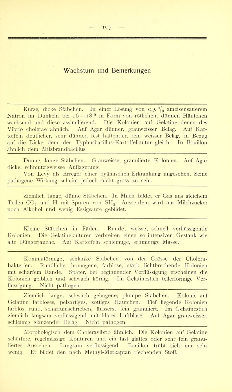 Wachstum und Bemerkungen Kurze, dicke Stäbchen. In einer Lösung von 0,5 ^/q ameisensauerem Natron im Dunkeln bei 16 — 18*^ in Form von rötlichen, dünnen Häutchen wachsend und diese assimilierend. Die Kolonien auf Gelatine denen des Vibrio cholerae ähnlich. Auf Agar dünner, grauweisser Belag. Auf Kar- toffeln deutlicher, sehr dünner, fest haftender, rein weisser Belag, in Bezug auf die Dicke dem der Typhusbacillus-Kartoffelkultur gleich. In Bouillon ähnlich dem Milzbrandbacillus. Dünne, kurze Stäbchen. Grauweisse, granulierte Kolonien. Auf Agar dicke, schmutzigweisse Auflagerung. Von Levy als Erreger einer pyämischen Erkrankung angesehen. Seine pathogene Wirkung scheint jedoch nicht gross zu sein. Ziemlich lange, dünne Stäbchen. In Milch bildet er Gas aus gleichem Teilen CO2 und H mit Spuren \’on SFI2. Ausserdem wird aus Milchzucker noch Alkohol und wenig Essigsäure gebildet. Kleine Stäbchen in Fäden. Runde, weisse, schnell verflüssigende Kolonien. Die Gelatinekulturen verbreiten einen so intensiven Gestank wie alte Düngerjauche. Auf Kartoffeln schleimige, schmierige Masse. Kommaförmige, schlanke vStäbchen von der Grösse der Cholera- bakterien. Rundliche, homogene, farblose, stark lichtbrechende Kolonien mit scharfem Rande. Später, bei beginnender Verflüssigung erscheinen die Kolonien gelblich und schwach körnig. Im Gelatinestich tellerförmige Ver- flüssigung. Nicht pathogen. Ziemlich lange, schwach gebogene, plumpe Stäbchen. Kolonie auf Gelatine farbloses, pelzartiges, zottiges Häutchen. Tief liegende Kolonien farblos, rund, scharfumschrieben, äusserst fein granuliert. Im Gelatinestich ziemlich langsam verflüssigend mit klarer Luftblase. Auf Agar grauweisser, schleimig glänzender Belag. Nicht pathogen. Morphologisch dem Choleravibrio ähnlich. Die Kolonien auf Gelatine schärfere, regelmässige Konturen und ein fast glattes oder sehr fein granu- liertes Aussehen. Langsam verflüssigend. Bouillon trübt sich nur sehr wenig. Er bildet den nach Methyl-Merkaptan riechenden Stoff.