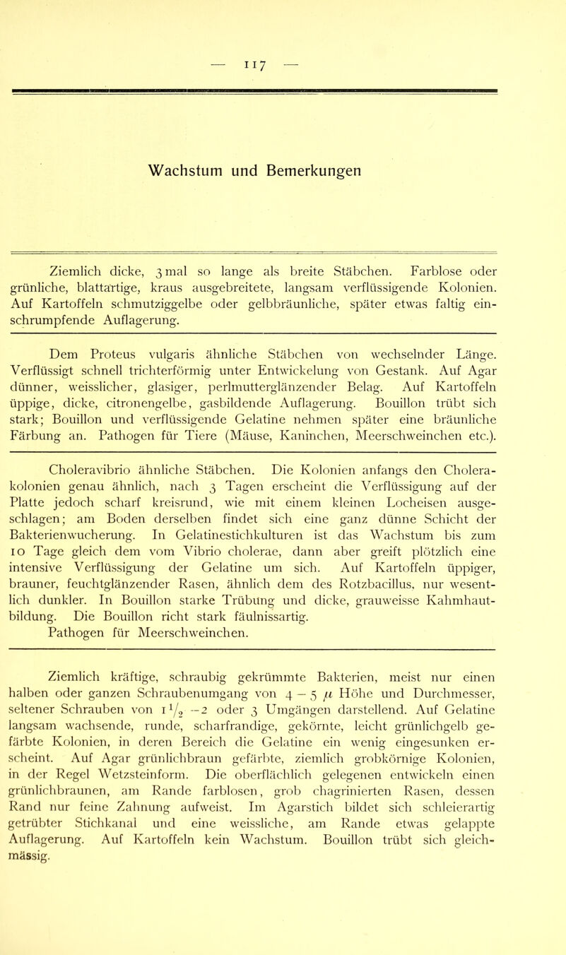 Wachstum und Bemerkungen Ziemlich dicke, 3 mal so lange als breite Stäbchen. Farblose oder grünliche, blattartige, kraus ausgebreitete, langsam verflüssigende Kolonien. Auf Kartoffeln schmutziggelbe oder gelbbräunliche, später etwas faltig ein- schrumpfende Auflagerung. Dem Proteus vulgaris ähnliche Stäbchen von wechselnder Länge. Verflüssigt schnell trichterförmig unter Entwickelung von Gestank. Auf Agar dünner, weisslicher, glasiger, perlmutterglänzender Belag. Auf Kartoffeln üppige, dicke, citronengelbe, gasbildende Auflagerung. Bouillon trübt sich stark; Bouillon und verflüssigende Gelatine nehmen später eine bräunliche Färbung an. Pathogen für Tiere (Mäuse, Kaninchen, Meerschweinchen etc.). Choleravibrio ähnliche Stäbchen. Die Kolonien anfangs den Cholera- kolonien genau ähnlich, nach 3 Tagen erscheint die Verflüssigung auf der Platte jedoch scharf kreisrund, wie mit einem kleinen Locheisen ausge- schlagen; am Boden derselben findet sich eine ganz dünne Schicht der Bakterienwucherung. In Gelatinestichkulturen ist das Wachstum bis zum IO Tage gleich dem vom Vibrio cholerae, dann aber greift plötzlich eine intensive Verflüssigung der Gelatine um sich. Auf Kartoffeln üppiger, brauner, feuchtglänzender Rasen, ähnlich dem des Rotzbacillus, nur wesent- lich dunkler. In Bouillon starke Trübung und dicke, grauweisse Kahmhaut- bildung. Die Bouillon rieht stark fäulnissartig. Pathogen für Meerschweinchen. Ziemlich kräftige, schraubig gekrümmte Bakterien, meist nur einen halben oder ganzen Schraubenumgang von 4-5 /t Höhe und Durchmesser, seltener Schrauben von —2 oder 3 Umgängen darstellend. Auf Gelatine langsam wachsende, runde, scharfrandige, gekörnte, leicht grünlichgelb ge- färbte Kolonien, in deren Bereich die Gelatine ein wenig eingesunken er- scheint. Auf Agar grünlichbraun gefärbte, ziemlich grobkörnige Kolonien, in der Regel Wetzsteinform. Die oberflächlich gelegenen entwickeln einen grünlichbraunen, am Rande farblosen, grob chagrinierten Rasen, dessen Rand nur feine Zahnung aufweist. Im Agarstich bildet sich schleierartig getrübter Stichkanal und eine weissliche, am Rande etwas gelappte Auflagerung. Auf Kartoffeln kein Wachstum. Bouillon trübt sich gleich- massig.