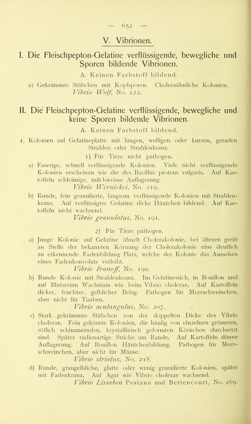 V. Vibrionen. I. Die Fleischpepton-Gelatine verflüssigende, bewegliche und Sporen bildende Vibrionen. A. Keinen Farbstoff bildend. a) Gekrümmte Stäbchen mit Kopfsporen. Choleraähnliche Kolonien. Vibrio Wolf, No. 122. II. Die* Fleischpepton-Oelatine verflüssigende, bewegliche und keine Sporen bildende Vibrionen. A. Keinen Farbstoff bildend. I. Kolonien auf Gelatineplatte mit langen, welligen oder kurzen, geraden Strahlen oder Strahlenkranz, i) Für Tiere nicht pathogen. a) Faserige, schnell verflüssigende Kolonien. Viele nicht verflüssigende Kolonien erscheinen wie die des Bacillus proteus vulgaris. Auf Kar- toffeln schleimige, milchweisse Auflagerung. Vibrio Wernickei, No. 219. b) Runde, fein granulierte, langsam verflüssigende Kolonien mit Strahlen- kranz. Auf verflüssigter Gelatine dicke Fläutchen bildend. Auf Kar- toffeln nicht wachsend. Vibrio granulatus, No. 191. 2) Für Tiere pathogen. a) Junge Kolonie auf Gelatine ähnelt Cholerakolonie, bei älteren greift an Stelle der bekannten Körnung der Cholerakolonie eine deutlich zu erkennende Fadenbildung Platz, welche der Kolonie das Aussehen eines Faclenkonvoluts verleiht. Vibrio Ivanoff, No. 190. b) Runde Kolonie mit Strahlenkranz. Im Gelatinestich, in Bouillon und auf Blutserum Wachstum wie beim Vibrio cholerae. Auf Kartoffeln dicker, feuchter, gelblicher Belag. Pathogen für Meerschweinchen, aber nicht für Tauben. Vibrio acutangtilus, No. 207. c) Stark gekrümmte Stäbchen von der doppelten Dicke des Vibrio cholerae. Fein gekörnte Kolonien, die häufig von einzelnen grösseren, rötlich schimmernden, krystallinisch geformten Körnchen durchsetzt sind. Später radienartige Striche am Rande. Auf Kartoffeln dünne Auflagerung. Auf Bouillon Häutchenbildung. Pathogen für Meer- schweinchen, aber nicht für Mäuse. Vibrio striahts, No. 218. d) Runde, graugelbliche, glatte oder wenig granulierte Kolonien, später mit Fadenkranz. Auf Agar wie Vibrio cholerae wachsend. Vib7'io Lissabon Pest an a und Bettencourt, No. 269.