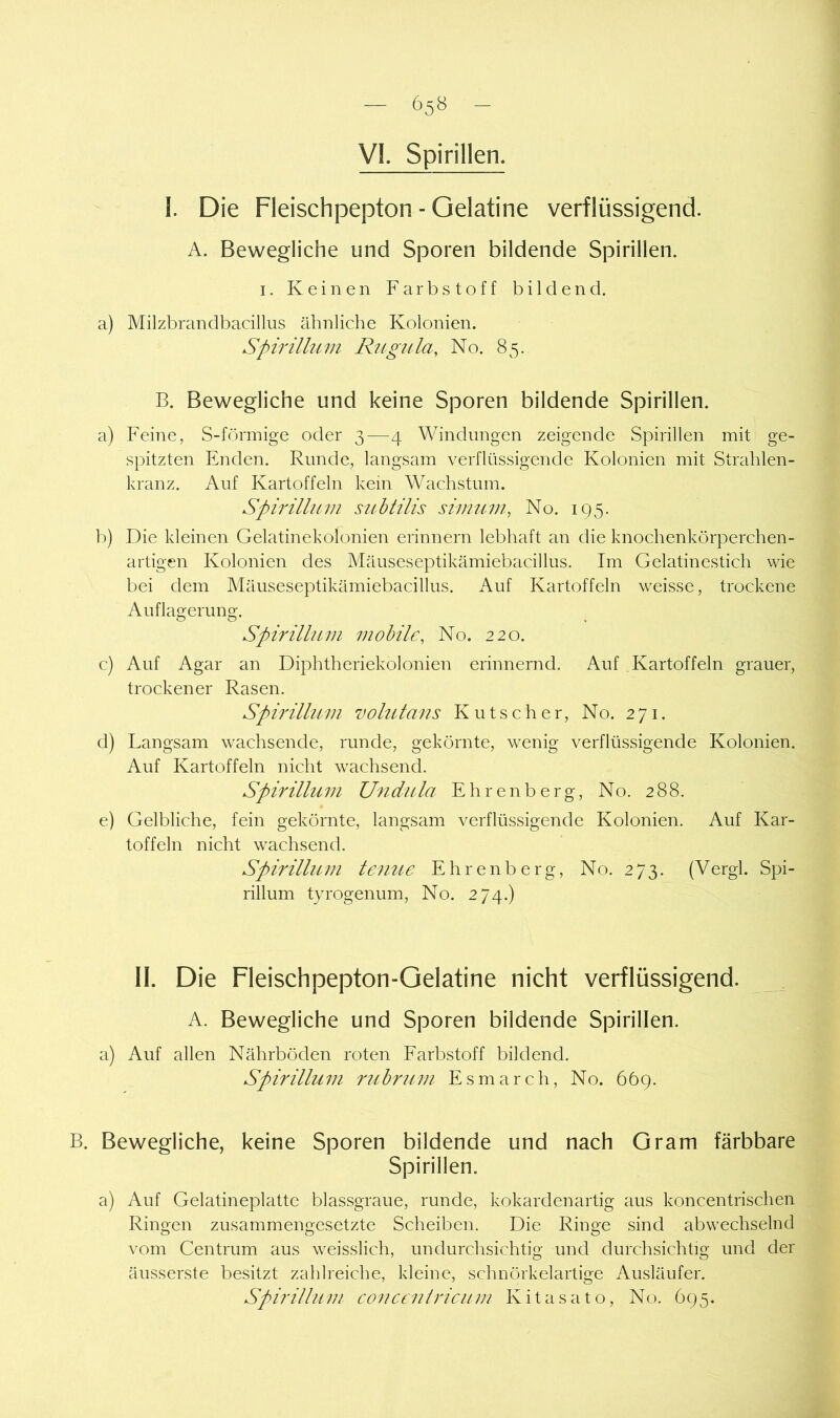 VI. Spirillen. 1. Die Fleischpepton - Gelatine verflüssigend. A. Bewegliche und Sporen bildende Spirillen. I. Keinen Farbstoff bildend. a) Milzbrandbacillus ähnliche Kolonien. Spirilhim Rugula, No. 85. B. Bewegliche und keine Sporen bildende Spirillen. a) Feine, S-förmige oder 3—4 Windungen zeigende Spirillen mit ge- spitzten Enden. Runde, langsam verflüs.sigende Kolonien mit Strahlen- kranz. Auf Kartoffeln kein Wachstum. Spirüluvi subtilis simnm, No. 195. b) Die kleinen Gelatinekolonien erinnern lebhaft an die knochenkörperchen- artigen Kolonien des Mäuseseptikämiebacillus. Im Gelatinestich wie bei dem Mäuseseptikämiebacillus. Auf Kartoffeln weisse, trockene Auflagerung. Spirülum mobile, No. 220. c) Auf Agar an Diphtheriekolonien erinnernd. Auf Kartoffeln grauer, trockener Rasen. Spirülum vohitans Kutscher, No. 271. d) Langsam wachsende, runde, gekörnte, wenig verflüssigende Kolonien. Auf Kartoffeln nicht wachsend. Spirülum Undula Ehrenberg, No. 288. e) Gelbliche, fein gekörnte, langsam verflüssigende Kolonien. Auf Kar- toffeln nicht wachsend. Spirülum tenue Ehrenberg, No. 273. (Vergl. Spi- rillum tyrogenum, No. 274.) II. Die Fleischpepton-Qelatine nicht verflüssigend. A. Bewegliche und Sporen bildende Spirillen. a) Auf allen Nährböden roten Earbstoff bildend. Spirülum rubrum. Esmarch, No. 669. B. Bewegliche, keine Sporen bildende und nach Gram färbbare Spirillen. a) Auf Gelatineplatte blassgraue, runde, kokardenartig aus koncentrischen Ringen zusammengesetzte Scheiben. Die Ringe sind abwechselnd vom Centrum aus weisslich, undurchsichtig und durchsichtig und der äusserste besitzt zahlreiche, kleine, schnörkelartige Ausläufer. Spirülum concenlricum Kitasato, No. 695.