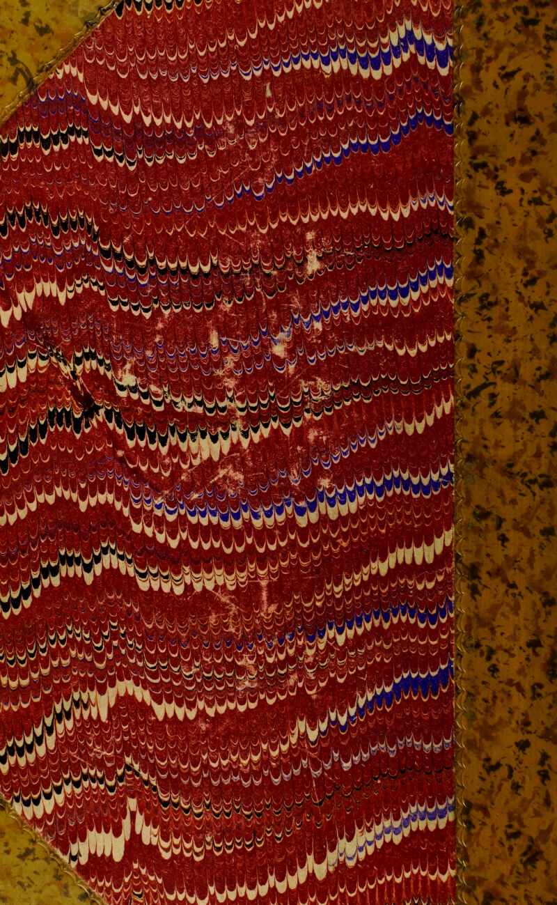 VW CAM» ^ V / \>t .• '■ ÄP ~ wW &t ' SJ 1 \ ■ v«8 i||p i^iram lg»; Sft ,' g#t s * V & M