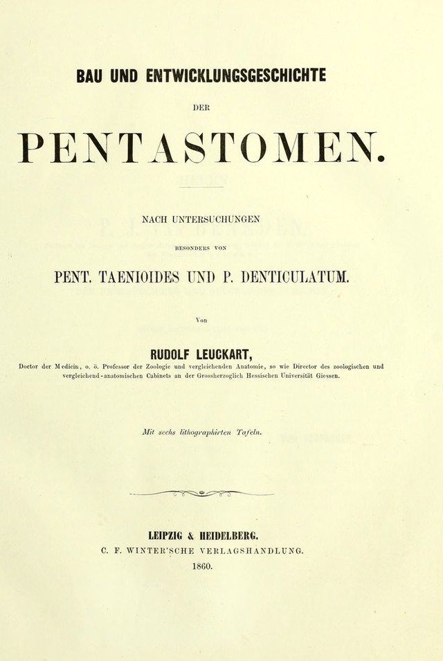 digitised image 1