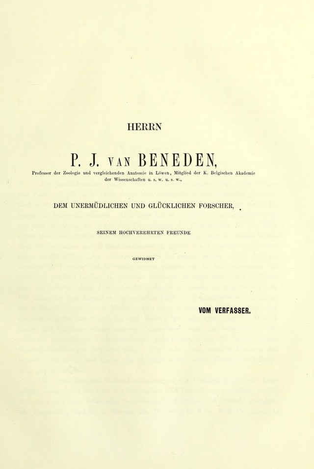 digitised image 3