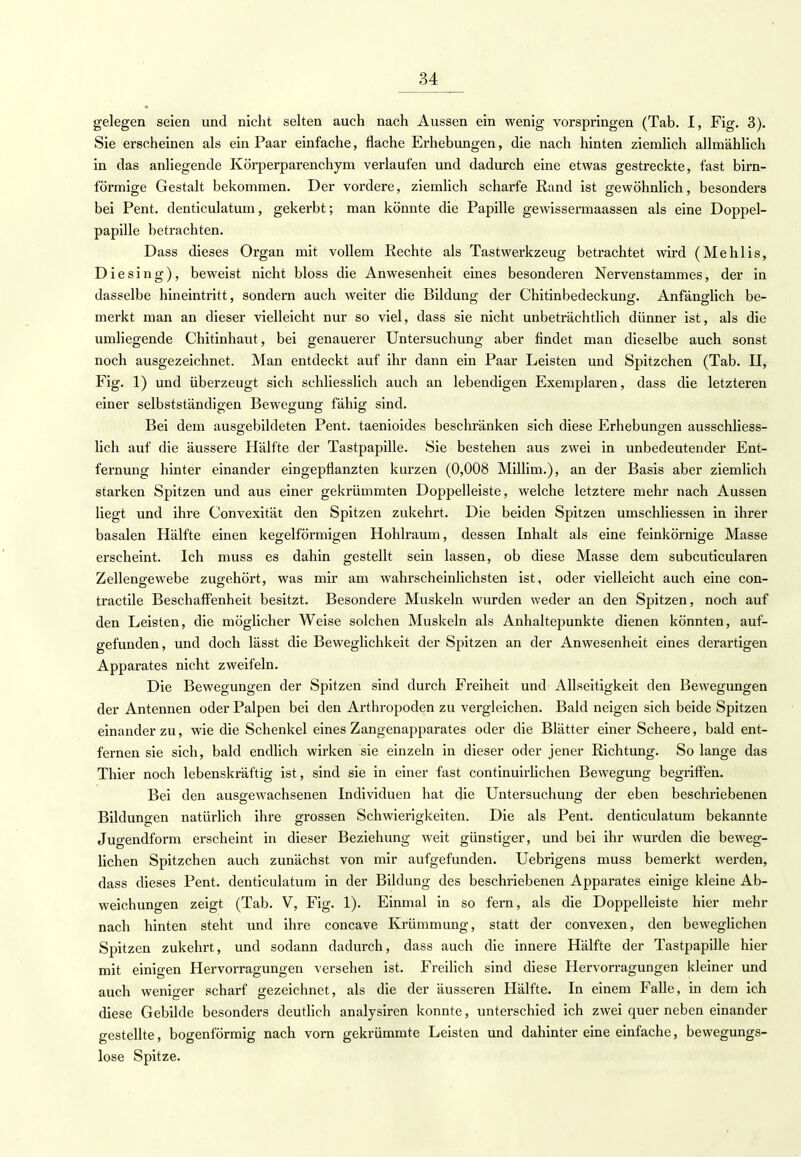 gelegen seien und nicht selten auch nach Aussen ein wenig vorspringen (Tab. I, Fig. 3). Sie erscheinen als ein Paar einfache, flache Erhebungen, die nach hinten ziemlich allmählich in das anliegende Körperparenchym verlaufen und dadurch eine etwas gestreckte, fast birn- förmige Gestalt bekommen. Der vordere, ziemlich scharfe Rand ist gewöhnlich, besonders bei Pent. denticulatum, gekerbt; man könnte die Papille gewissermaassen als eine Doppel- papille betrachten. Dass dieses Organ mit vollem Rechte als Tastwerkzeug betrachtet wird (Mehlis, D i e s i n g), beweist nicht bloss die Anwesenheit eines besonderen Nervenstammes, der in dasselbe hineintritt, sondern auch weiter die Bildung der Chitinbedeckung. Anfänglich be- merkt man an dieser vielleicht nur so viel, class sie nicht unbeträchtlich dünner ist, als die umliegende Chitinhaut, bei genauerer Untersuchung aber findet man dieselbe auch sonst noch ausgezeichnet. Man entdeckt auf ihr dann ein Paar Leisten und Spitzchen (Tab. II, Fig. 1) und überzeugt sich schliesslich auch an lebendigen Exemplaren, dass die letzteren einer selbstständigen Bewegung fähig sind. Bei dem ausgebildeten Pent. taenioides beschränken sich diese Erhebungen ausschliess- lich auf die äussere Hälfte der Tastpapille. Sie bestehen aus zwei in unbedeutender Ent- fernung hinter einander eingepflanzten kurzen (0,008 Millim.), an der Basis aber ziemlich starken Spitzen und aus einer gekrümmten Doppelleiste, welche letztere mehr nach Aussen liegt und ihre Convexität den Spitzen zukehrt. Die beiden Spitzen umschliessen in ihrer basalen Hälfte einen kegelförmigen Hohlraum, dessen Inhalt als eine feinkörnige Masse erscheint. Ich muss es dahin gestellt sein lassen, ob diese Masse dem subcuticularen Zellengewebe zugehört, was mir am wahrscheinlichsten ist, oder vielleicht auch eine con- tractile Beschaffenheit besitzt. Besondere Muskeln wurden weder an den Spitzen, noch auf den Leisten, die möglicher Weise solchen Muskeln als Anhaltepunkte dienen könnten, auf- gefunden, und doch lässt die Beweglichkeit der Spitzen an der Anwesenheit eines derartigen Apparates nicht zweifeln. Die Bewegungen der Spitzen sind durch Freiheit und Allseitigkeit den Bewegungen der Antennen oder Palpen bei den Arthropoden zu vergleichen. Bald neigen sich beide Spitzen einander zu, wie die Schenkel eines Zangenapparates oder die Blätter einer Scheere, bald ent- fernen sie sich, bald endlich wirken sie einzeln in dieser oder jener Richtung. So lange das Thier noch lebenskräftig ist, sind sie in einer fast continuirlichen Bewegung begriffen. Bei den ausgewachsenen Individuen hat die Untersuchung der eben beschriebenen Bildungen natürlich ihre grossen Schwierigkeiten. Die als Pent. denticulatum bekannte Jugendform erscheint in dieser Beziehung weit günstiger, und bei ihr wurden die beweg- lichen Spitzchen auch zunächst von mir aufgefunden. Uebrigens muss bemerkt werden, dass dieses Pent. denticulatum in der Bildung des beschriebenen Apparates einige kleine Ab- weichungen zeigt (Tab. V, Fig. 1). Einmal in so fern, als die Doppelleiste hier mehr nach hinten steht und ihre concave Krümmung, statt der convexen, den beweglichen Spitzen zukehrt, und sodann dadurch, dass auch die innere Hälfte der Tastpapille hier mit einigen Hervorragungen versehen ist. Freilich sind diese Hervorragungen kleiner und auch weniger scharf gezeichnet, als die der äusseren Hälfte. In einem Falle, in dem ich diese Gebilde besonders deutlich analysiren konnte, unterschied ich zwei quer neben einander gestellte, bogenförmig nach vorn gekrümmte Leisten und dahinter eine einfache, bewegungs- lose Spitze.