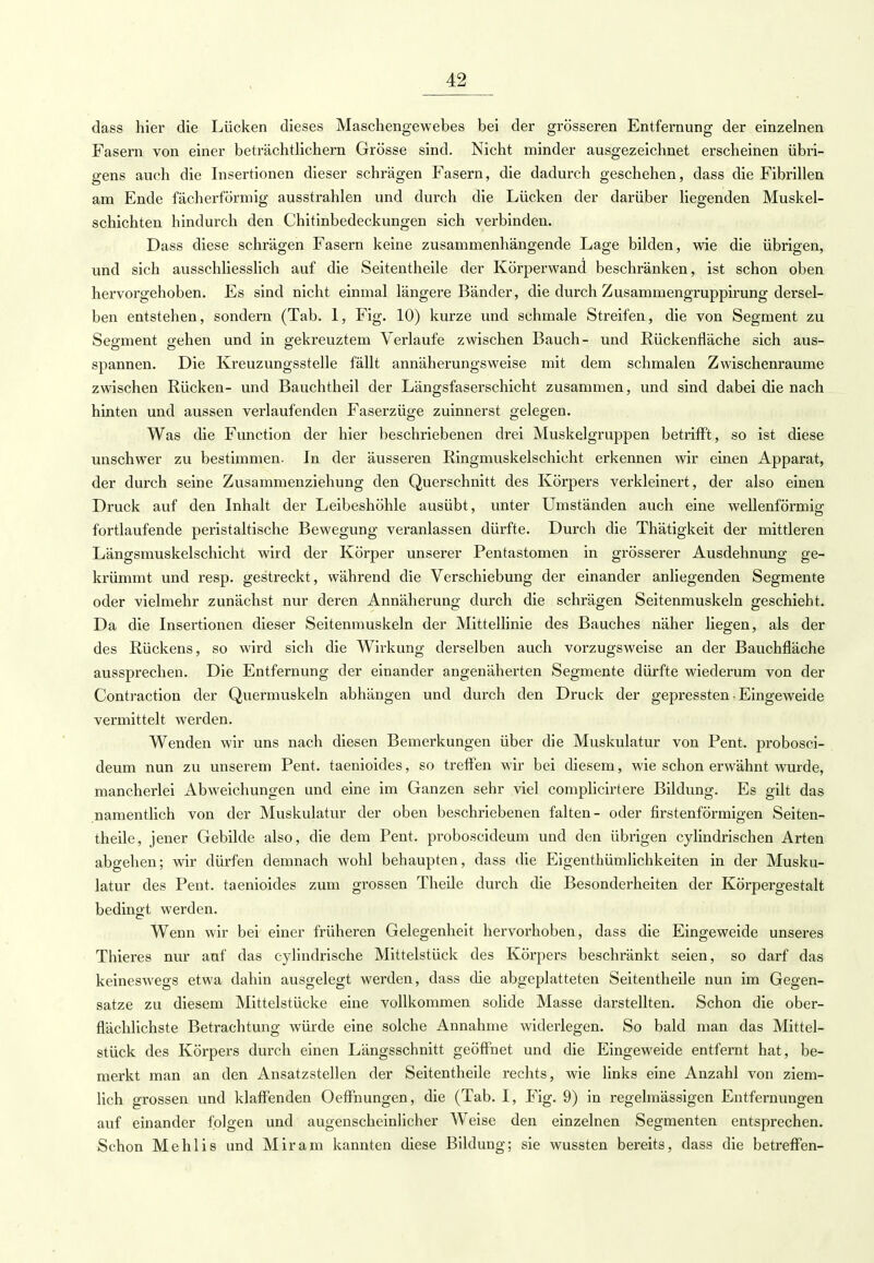 dass hier die Lücken dieses Maschengewebes bei der grösseren Entfernung der einzelnen Fasern von einer beträchtlichem Grösse sind. Nicht minder ausgezeichnet erscheinen übri- gens auch die Insertionen dieser schrägen Fasern, die dadurch geschehen, dass die Fibrillen am Ende fächerförmig ausstrahlen und durch die Lücken der darüber liegenden Muskel- schichten hindurch den Chitinbedeckungen sich verbinden. Dass diese schrägen Fasern keine zusammenhängende Lage bilden, wie die übrigen, und sich ausschliesslich auf die Seitentheile der Körperwand beschränken, ist schon oben hervorgehoben. Es sind nicht einmal längere Bänder, die durch Zusammengruppirung dersel- ben entstehen, sondern (Tab. 1, Fig. 10) kurze und schmale Streifen, die von Segment zu Segment gehen und in gekreuztem Verlaufe zwischen Bauch- und Bückenfläche sich aus- spannen. Die Kreuzungsstelle fällt annäherungsweise mit dem schmalen Zwischenräume zwischen Bücken- und Bauchtheil der Längsfaserschicht zusammen, und sind dabei die nach hinten und aussen verlaufenden Faserzüge zuinnerst gelegen. Was die Function der hier beschriebenen drei Muskelgruppen betrifft, so ist diese unschwer zu bestimmen- In der äusseren Eingmuskelschicht erkennen wir einen Apparat, der durch seine Zusammenziehung den Querschnitt des Körpers verkleinert, der also einen Druck auf den Inhalt der Leibeshöhle ausübt, unter Umständen auch eine wellenförmig fortlaufende perist altische Bewegung veranlassen dürfte. Durch die Thätigkeit der mittleren Längsmuskelschicht wird der Körper unserer Pentastomen in grösserer Ausdehnung ge- krümmt und resp. gestreckt, während die Verschiebung der einander anliegenden Segmente oder vielmehr zunächst nur deren Annäherung durch die schrägen Seitenmuskeln geschieht. Da die Insertionen dieser Seitenmuskeln der Mittellinie des Bauches näher liegen, als der des Bückens, so wird sich die Wirkung derselben auch vorzugsweise an der Bauchfläche aussprechen. Die Entfernung der einander angenäherten Segmente dürfte wiederum von der Contraction der Quermuskeln abhängen und durch den Druck der gepressten-Eingeweide vermittelt werden. Wenden wir uns nach diesen Bemerkungen über die Muskulatur von Pent. probosci- deum nun zu unserem Pent. taenioides, so treffen wir bei diesem, wie schon erwähnt wurde, mancherlei Abweichungen und eine im Ganzen sehr viel complicirtere Bildung. Es gilt das namentlich von der Muskulatur der oben beschriebenen falten- oder firstenförmigen Seiten- theile, jener Gebilde also, die dem Pent. proboscideum und den übrigen cylindrischen Arten abgehen; wir dürfen demnach wohl behaupten, dass die Eigenthümlichkeiten in der Musku- latur des Pent. taenioides zum grossen Theile durch die Besonderheiten der Körpergestalt bedingt werden. Wenn wir bei einer früheren Gelegenheit hervorhoben, dass die Eingeweide unseres Thieres nur auf das cylindrische Mittelstück des Körpers beschränkt seien, so darf das keineswegs etwa dahin ausgelegt werden, dass die abgeplatteten Seitentheile nun im Gegen- satze zu diesem Mittelstücke eine vollkommen solide Masse darstellten. Schon die ober- flächlichste Betrachtung würde eine solche Annahme widerlegen. So bald man das Mittel- stück des Körpers durch einen Längsschnitt geöffnet und die Eingeweide entfernt hat, be- merkt man an den Ansatzstellen der Seitentheile rechts, wie links eine Anzahl von ziem- lich grossen und klaffenden Oeffhungen, die (Tab. I, Fig. 9) in regelmässigen Entfernungen auf einander folgen und augenscheinlicher Weise den einzelnen Segmenten entsprechen. Schon Mehlis und Mir am kannten diese Bildung; sie wussten bereits, dass die betreffen-