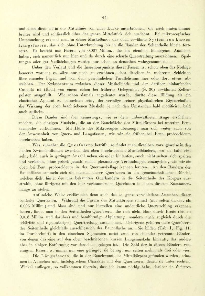 und auch diese ist in der Mittellinie von einer Lücke unterbrochen, die nach hinten immer breiter wird und schliesslich über das ganze Mittelstück sich ausdehnt. Bei mikroscopischer Untersuchuug erkennt man in dieser Muskelbinde das oben erwähnte System von kurzen Längs fasern, das sich ohne Unterbrechung bis in die Ränder der Seitentheile hinein fort- setzt. Es besteht aus Fasern von 0,007 Millim., die ein ziemlich homogenes Aussehen haben, sich namentlich nur hier und da durch eine scharfe Querstreifung auszeichnen. Spal- tungen oder gar Verästelungen werden nur selten an denselben wahrgenommen. Ueber den Verlauf und die Insertionspunkte dieser Fasern ist schon oben das Nöthige bemerkt worden; es wäre nur noch zu erwähnen, dass dieselben in mehreren Schichten über einander liegen und von dem gewöhnlichen Parallelismus hier oder dort etwas ab- weichen. Der Zwischenraum zwischen dieser Muskelbinde und der darüber hinlaufenden Cuticula ist (Ibid.) von einem schon bei früherer Gelegenheit (S. 30) erwähnten Zellen- polster ausgefüllt. Wie schon damals angedeutet wurde, dürfte diese Bildung als ein elastischer Apparat zu betrachten sein, der vermöge seiner physikalischen Eigenschaften die Wirkung der eben beschriebenen Muskeln je nach den Umständen bald modificirt, bald auch aufhebt. Diese Bänder sind aber keineswegs, wie es dem unbewaffneten Auge erscheinen möchte, die einzigen Muskeln, die an der Bauchfläche des Mittelkörpers bei unserem Pent. taenioides vorkommen. Mit Hülfe des Mikroscopes überzeugt man sich weiter auch von der Anwesenheit von Quer- und Längsfasern, wie wir sie früher bei Pent. proboscideum beschrieben haben. Was zunächst die Querfasern betrifft, so findet man dieselben vorzugsweise in den lichten Zwischenräumen zwischen den oben beschriebenen Muskelbändern, wo sie bald ein- zeln, bald auch in geringer Anzahl neben einander hinlaufen, auch nicht selten sich spalten und verästeln, ohne jedoch jemals solche plexusartige Verbindungen einzugehen, wie wir sie oben bei Pent. proboscideum in der Quermuskellage kennen lernten. An den Rändern der Bauchfläche sammeln sich die meisten dieser Querfasern in ein gemeinschaftliches Bündel, welches dicht hinter den uns bekannten Querbändern in die Seitentheile des Körpers aus- strahlt, ohne übrigens mit den hier vorkommenden Querfasern in einem directen Zusammen- hange zu stehen. Auf solche Weise erklärt sich denn auch das so ganz verschiedene Aussehen dieser beiderlei Querfasern. Während die Fasern des Mittelkörpers schmal (nur selten dicker, als 0,006 Millim.) und blass sind und nur bisweilen eine undeutliche Querstreifung erkennen lassen, findet man in den Seitentheilen Querfasern, die sich nicht bloss durch Breite (bis zu 0,018 Millim. und darüber) und bandförmige Abplattung, sondern auch zugleich durch die schärfste und regelmässigste Querstreifung auszeichnen. Uebrigens gehören diese Querfasern der Seitentheile gleichfalls ausschliesslich der Bauchfläche an. Sie bilden (Tab. I, Fig. 11, im Durchschnitt) in den einzelnen Segmenten meist zwei von einander getrennte Bänder, von denen das eine auf den oben beschriebenen kurzen Längsmuskeln hinläuft, das andere aber in einiger Entfernung vor denselben gelegen ist. Die Zahl der in diesen Bändern ver- einigten Fasern ist immer nur eine geringe; sie beträgt nur selten mehr, als drei oder vier. Die Längsfasern, die in der Bauchwand des Mittelkörpers gefunden werden, stim- men in Aussehen und histologischem Charakter mit den Querfasern, denen sie unter rechtem Winkel aufliegen, so vollkommen überein, dass ich kaum nöthig habe, darüber ein Weiteres