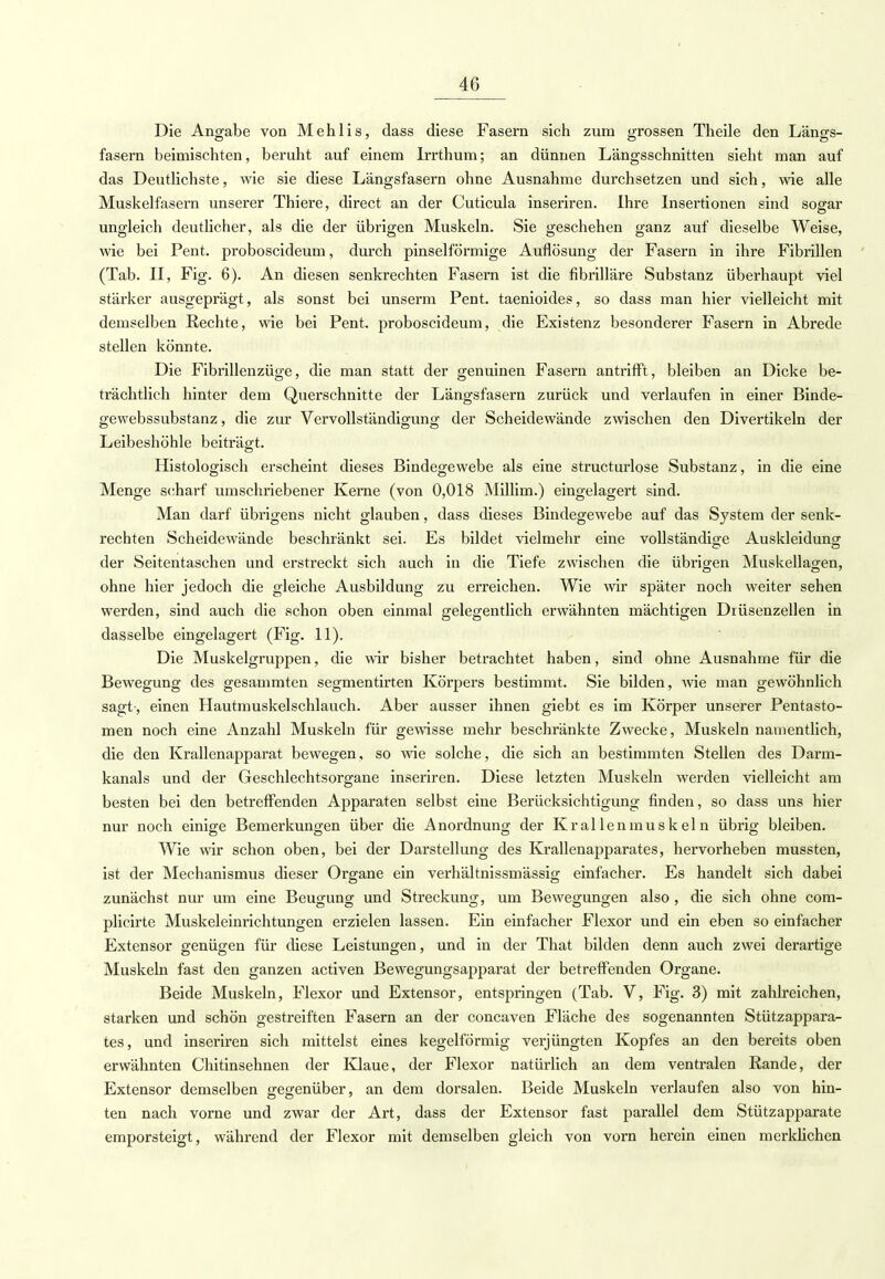 Die Angabe von Mehlis, dass diese Fasern sich zum grossen Theile den Längs- fasern beimischten, beruht auf einem Irrthum; an dünnen Längsschnitten sieht man auf das Deutlichste, wie sie diese Längsfasern ohne Ausnahme durchsetzen und sich, wie alle Muskelfasern unserer Thiere, direct an der Cuticula inseriren. Ihre Insertionen sind sogar ungleich deutlicher, als die der übrigen Muskeln. Sie geschehen ganz auf dieselbe Weise, wie bei Pent. proboscideum, durch pinselförmige Auflösung der Fasern in ihre Fibrillen (Tab. II, Fig. 6). An diesen senkrechten Fasern ist die fibrilläre Substanz überhaupt viel stärker ausgeprägt, als sonst bei unserm Pent. taenioides, so dass man hier vielleicht mit demselben Rechte, wie bei Pent. proboscideum, die Existenz besonderer Fasern in Abrede stellen könnte. Die Fibrillenzüge, die man statt der genuinen Fasern antrifft, bleiben an Dicke be- trächtlich hinter dem Querschnitte der Längsfasern zurück und verlaufen in einer Binde- gewebssubstanz, die zur Vervollständigung der Scheidewände zwischen den Divertikeln der Leibeshöhle beiträgt. Histologisch erscheint dieses Bindegewebe als eine structurlose Substanz, in die eine Menge scharf umschriebener Kerne (von 0,018 Millim.) eingelagert sind. Man darf übrigens nicht glauben, dass dieses Bindegewebe auf das System der senk- rechten Scheidewände beschränkt sei. Es bildet vielmehr eine vollständige Auskleidung der Seitentaschen und erstreckt sich auch in die Tiefe zwischen die übrigen Muskellagen, ohne hier jedoch die gleiche Ausbildung zu erreichen. Wie wir später noch weiter sehen werden, sind auch die schon oben einmal gelegentlich erwähnten mächtigen Drüsenzellen in dasselbe eingelagert (Fig. 11). Die Muskelgruppen, die wir bisher betrachtet haben, sind ohne Ausnahme für die Bewegung des gesammten segmentirten Körpers bestimmt. Sie bilden, wie man gewöhnlich sagt , einen Hautmuskelschlauch. Aber ausser ihnen giebt es im Körper unserer Pentasto- men noch eine Anzahl Muskeln für gewisse mehr beschränkte Zwecke, Muskeln namentlich, die den Krallenapparat bewegen, so wie solche, die sich an bestimmten Stellen des Darm- kanals und der Geschlechtsorgane inseriren. Diese letzten Muskeln werden vielleicht am besten bei den betreffenden Apparaten selbst eine Berücksichtigung finden, so dass uns hier nur noch einige Bemerkungen über die Anordnung der Kr allen muskeln übrig bleiben. Wie wir schon oben, bei der Darstellung des Krallenapparates, hervorheben mussten, ist der Mechanismus dieser Organe ein verhältnissmässig einfacher. Es handelt sich dabei zunächst nur um eine Beugung und Streckung, um Bewegungen also, die sich ohne com- plicirte Muskeleinrichtungen erzielen lassen. Ein einfacher Flexor und ein eben so einfacher Extensor genügen für diese Leistungen, und in der That bilden denn auch zwei derartige Muskeln fast den ganzen activen Bewegungsapparat der betreffenden Organe. Beide Muskeln, Flexor und Extensor, entspringen (Tab. V, Fig. 3) mit zahlreichen, starken und schön gestreiften Fasern an der concaven Fläche des sogenannten Stützappara- tes, und inseriren sich mittelst eines kegelförmig verjüngten Kopfes an den bereits oben erwähnten Chitinsehnen der Klaue, der Flexor natürlich an dem ventralen Rande, der Extensor demselben gegenüber, an dem dorsalen. Beide Muskeln verlaufen also von hin- ten nach vorne und zwar der Art, dass der Extensor fast parallel dem Stützapparate emporsteigt, während der Flexor mit demselben gleich von vorn herein einen merklichen