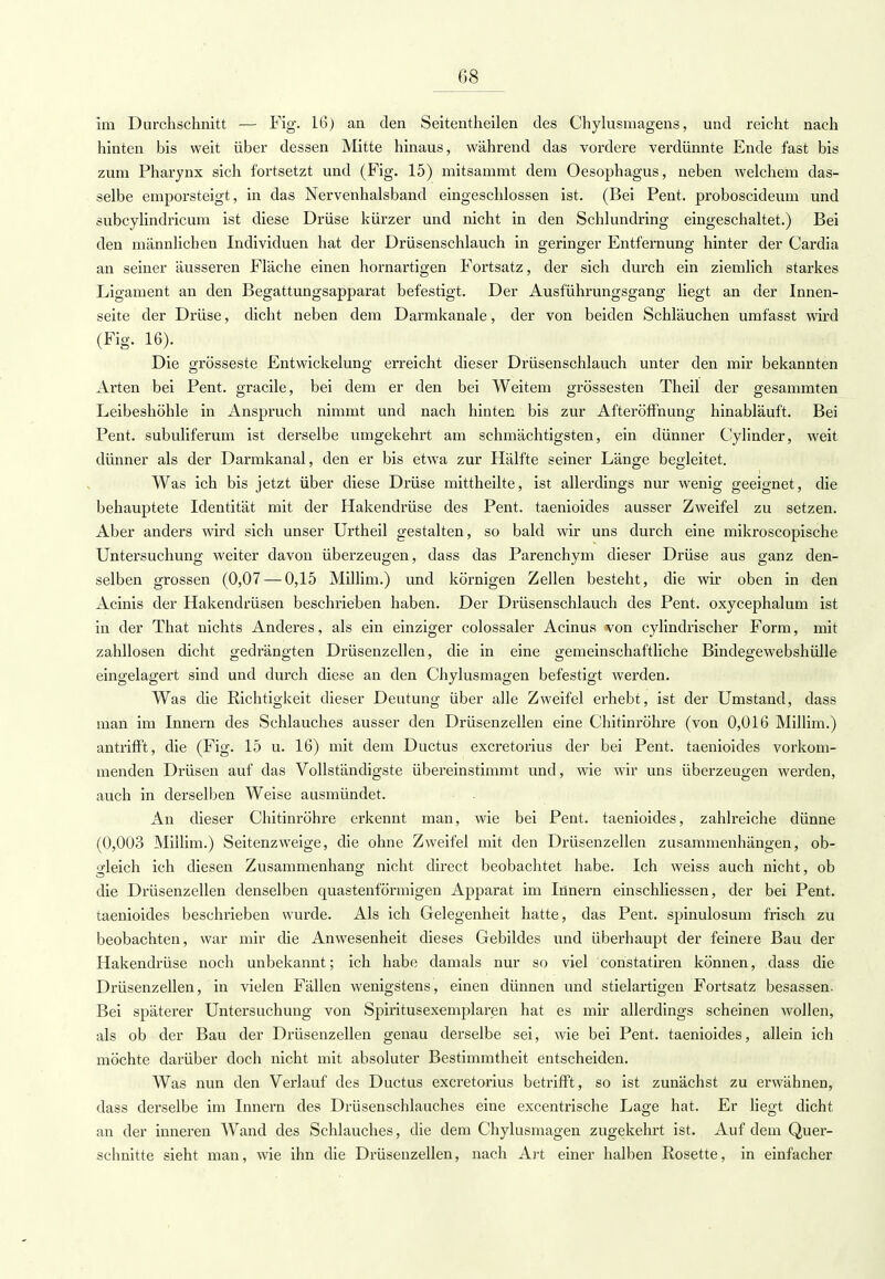 08 im Durchschnitt — Fig. 16) an den Seitentheilen des Chylusmagens, und reicht nach hinten bis weit über dessen Mitte hinaus, während das vordere verdünnte Ende fast bis zum Pharynx sich fortsetzt und (Fig. 15) mitsammt dem Oesophagus, neben welchem das- selbe emporsteigt, in das Nervenhalsband eingeschlossen ist. (Bei Pent. proboscideum und subcylindricum ist diese Drüse kürzer und nicht in den Schlundring eingeschaltet.) Bei den männlichen Individuen hat der Drüsenschlauch in geringer Entfernung hinter der Cardia an seiner äusseren Fläche einen hornartigen Fortsatz, der sich durch ein ziemlich starkes Ligament an den Begattungsapparat befestigt. Der Ausführungsgang liegt an der Innen- seite der Drüse, dicht neben dem Darmkanale, der von beiden Schläuchen umfasst wird (Fig. 16). Die grosseste Entwickelung erreicht dieser Drüsenschlauch unter den mir bekannten Arten bei Pent. gracile, bei dem er den bei Weitem grossesten Theil der gesammten Leibeshöhle in Anspruch nimmt und nach hinten bis zur Afteröffnung hinabläuft. Bei Pent. subuliferum ist derselbe umgekehrt am schmächtigsten, ein dünner Cylinder, weit dünner als der Darmkanal, den er bis etwa zur Hälfte seiner Länge begleitet. Was ich bis jetzt über diese Drüse mittheilte, ist allerdings nur wenig geeignet, die behauptete Identität mit der Hakendrüse des Pent. taenioides ausser Zweifel zu setzen. Aber anders wird sich unser Urtheil gestalten, so bald wir uns durch eine mikroscopische Untersuchung weiter davon überzeugen, dass das Parenchym dieser Drüse aus ganz den- selben grossen (0,07 — 0,15 Millim.) und körnigen Zellen besteht, die wir oben in den Acinis der Hakendrüsen beschrieben haben. Der Drüsenschlauch des Pent. oxycephalum ist in der That nichts Anderes, als ein einziger colossaler Acinus won cylindrischer Form, mit zahllosen dicht gedrängten Drüsenzellen, die in eine gemeinschaftliche Bindegewebshülle eingelagert sind und durch diese an den Chylusmagen befestigt werden. Was die Richtigkeit dieser Deutung über alle Zweifel erhebt, ist der Umstand, dass man im Innern des Schlauches ausser den Drüsenzellen eine Chitinröhre (von 0,016 Millim.) antrifft, die (Fig. 15 u. 16) mit dem Ductus excretorius der bei Pent. taenioides vorkom- menden Drüsen auf das Vollständigste übereinstimmt und, wie wir uns überzeugen werden, auch in derselben Weise ausmündet. An dieser Chitinröhre erkennt man, wie bei Pent. taenioides, zahlreiche dünne (0,003 Millim.) Seitenzweige, die ohne Zweifel mit den Drüsenzellen zusammenhängen, ob- gleich ich diesen Zusammenhang nicht direct beobachtet habe. Ich weiss auch nicht, ob die Drüsenzellen denselben quastenförmigen Apparat im Innern einschliessen, der bei Pent. taenioides beschrieben wurde. Als ich Gelegenheit hatte, das Pent. spinulosum frisch zu beobachten, war mir die Anwesenheit dieses Gebildes und überhaupt der feinere Bau der Hakendrüse noch unbekannt; ich habe damals nur so viel constatiren können, dass die Drüsenzellen, in vielen Fällen wenigstens, einen dünnen und stielartigen Fortsatz besassen. Bei späterer Untersuchung von Spiritusexemplaren hat es mir allerdings scheinen wollen, als ob der Bau der Drüsenzellen genau derselbe sei, wie bei Pent. taenioides, allein ich möchte darüber doch nicht mit absoluter Bestimmtheit entscheiden. Was nun den Verlauf des Ductus excretorius betrifft, so ist zunächst zu erwähnen, dass derselbe im Innern des Drüsenschlauches eine excentrische Lage hat. Er liegt dicht an der inneren Wand des Schlauches, die dem Chylusmagen zugekehrt ist. Auf dem Quer- schnitte sieht man, wie ihn die Drüsenzellen, nach Art einer halben Rosette, in einfacher