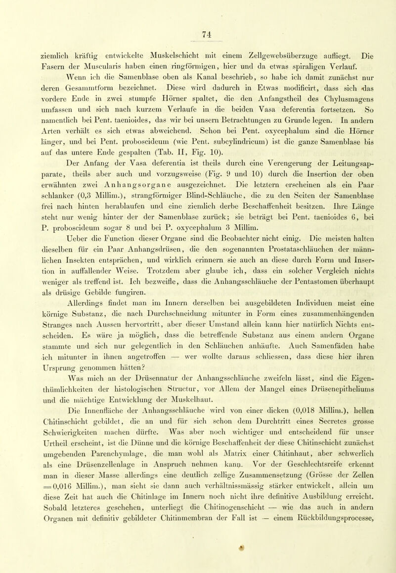 ziemlich kräftig entwickelte Muskelschicht mit einem Zellgewebsüberzuge aufliegt. Die Fasern der Muscularis haben einen ringförmigen, hier und da etwas spiraligen Verlauf. Wenn ich die Samenblase oben als Kanal beschrieb, so habe ich damit zunächst nur deren Gesammtform bezeichnet. Diese wird dadurch in Etwas mödificirt, dass sich -das vordere Ende in zwei stumpfe Hörner spaltet, die den Anfangstheil des Chylusmagens umfassen und sich nach kurzem Verlaufe in die beiden Vasa deferentia fortsetzen. So namentlich bei Pent. taenioides, das wir bei unsern Betrachtungen zu Grunde legen. In andern Arten verhält es sich etwas abweichend. Schon bei Pent. oxycephalum sind die Hörner länger, und bei Pent. proboscideum (wie Pent. subcylindricum) ist die ganze Samenblase bis auf das untere Ende gespalten (Tab. II, Fig. 10). Der Anfang der Vasa deferentia ist theils durch eine Verengerung der Leitungsap- parate, theils aber auch und vorzugsweise (Fig. 9 und 10) durch die Insertion der oben erwähnten zwei Anhangsorgane ausgezeichnet. Die letztern erscheinen als ein Paar schlanker (0,3 Millim.), strangförmiger Blind-Schläuche, die zu den Seiten der Samenblase frei nach hinten herablaufen und eine ziemlich derbe Beschaffenheit besitzen. Ihre Länge steht nur wenig hinter der der Samenblase zurück; sie beträgt bei Pent. taenioides 6, bei P. proboscideum sogar 8 und bei P. oxycephalum 3 Millim. Ueber die Function dieser Organe sind die Beobachter nicht einig. Die meisten halten dieselben für ein Paar Anhangsdrüsen, die den sogenannten Prostataschläuchen der männ- lichen Insekten entsprächen, und wirklich erinnern sie auch an diese durch Form und Inser- tion in auffallender Weise. Trotzdem aber glaube ich, dass ein solcher Vergleich nichts weniger als treffend ist. Ich bezweifle, dass die Anhangsschläuche der Pentastomen überhaupt als drüsige Gebilde fungiren. Allerdings findet man im Innern derselben bei ausgebildeten Individuen meist eine körnige Substanz, die nach Durchschneidung mitunter in Form eines zusammenhängenden Stranges nach Aussen hervortritt, aber dieser Umstand allein kann hier natürlich Nichts ent- scheiden. Es wäre ja möglich, dass die betreffende Substanz aus einem andern Organe stammte und sich nur gelegentlich in den Schläuchen anhäufte. Auch Samenfäden habe ich mitunter in ihnen angetroffen — wer wollte daraus sehliessen, dass diese hier ihren Ursprung genommen hätten? Was mich an der Drüsennatur der Anhangsschläuche zweifeln lässt, sind die Eigen- tümlichkeiten der histologischen Structur, vor Allem der Mangel eines Drüsenepitheliums und die mächtige Entwicklung der Muskelhaut. Die Innenfläche der Anhangsschläuche wird von einer dicken (0,018 Millim.), hellen Chitinschicht gebildet, die an und für sich schon dem Durchtritt eines Secretes grosse Schwierigkeiten machen dürfte. Was aber noch wichtiger und entscheidend für unser Urtheil erscheint, ist die Dünne und die körnige Beschaffenheit der diese Chitinschicht zunächst umgebenden Parenchymlage, die man wohl als Matrix einer Chitinhaut, aber schwerlich als eine Drüsenzellenlage in Anspruch nehmen kann. Vor der Geschlechtsreife erkennt man in dieser Masse allerdings eine deutlich zellige Zusammensetzung (Grösse der Zellen = 0,016 Millim.), man sieht sie dann auch verhältnissmässig stärker entwickelt, allein um diese Zeit hat auch die Chitinlage im Innern noch nicht ihre definitive Ausbildung erreicht. Sobald letzteres geschehen, unterliegt die Chitinogenschicht — wie das auch in andern Organen mit definitiv gebildeter Chitinmembran der Fall ist — einem Rückbildungsprocesse,