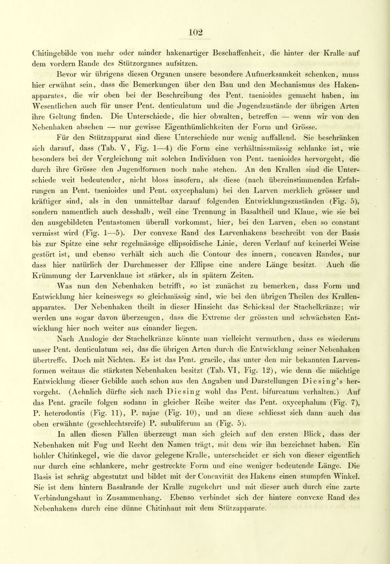 Chitingebilde von mehr oder minder hakenartiger Beschaffenheit, die hinter der Kralle auf dem vordem Rande des Stützorganes aufsitzen. Bevor wir übrigens diesen Organen unsere besondere Aufmerksamkeit schenken, muss hier erwähnt sein, dass die Bemerkungen über den Bau und den Mechanismus des Haken- apparates, die wir oben bei der Beschreibung des Pent. taenioides gemacht haben, im Wesentlichen auch für unser Pent. denticulatum und die Jugendzustände der übrigen Arten ihre Geltung finden. Die Unterschiede, die hier obwalten, betreffen — wenn wir von den Nebenhaken absehen — nur gewisse Eigentümlichkeiten der Form und Grösse. Für den Stützapparat sind diese Unterschiede nur wenig auffallend. Sie beschränken sich darauf, dass (Tab. V, Fig. 1—4) die Form eine verhältnissmässig schlanke ist, wie besonders bei der Vergleichung mit solchen Individuen von Pent. taenioides hervorgeht, die durch ihre Grösse den Jugendformen noch nahe stehen. An den Krallen sind die Unter- schiede weit bedeutender, nicht bloss insofern, als diese (nach übereinstimmenden Erfah- rungen an Pent. taenioides und Pent. oxycephalum) bei den Larven merklich grösser und kräftiger sind, als in den unmittelbar darauf folgenden Entwicklungszuständen (Fig. 5), sondern namentlich auch desshalb, weil eine Trennung in Basaltheil und Klaue, wie sie bei den ausgebildeten Pentastomen überall vorkommt, hier, bei den Larven, eben so constant vermisst wird (Fig. 1—5). Der convexe Rand des Larvenhakens beschreibt von der Basis bis zur Spitze eine sehr regelmässige ellipsoidische Linie , deren Verlauf auf keinerlei Weise gestört ist, und ebenso verhält sich auch die Contour des innern, concaven Randes, nur dass hier natürlich der Durchmesser der Ellipse eine andere Länge besitzt. Auch die Krümmung der Larvenklaue ist stärker, als in spätem Zeiten. Was nun den Nebenhaken betrifft, so ist zunächst zu bemerken, dass Form und Entwicklung hier keineswegs so gleichmässig sind, wie bei den übrigen Theilen des Krallen- apparates. Der Nebenhaken theilt in dieser Hinsicht das Schicksal der Stachelkränze; wir werden uns sogar davon überzeugen, dass die Extreme der grössten und schwächsten Ent- wicklung hier noch weiter aus einander liegen. Nach Analogie der Stachelkränze könnte man vielleicht vermuthen, dass es wiederum unser Pent. denticulatum sei, das die übrigen Arten durch die Entwicklung seiner Nebenhaken übertreffe. Doch mit Nichten. Es ist das Pent. gracile, das unter den mir bekannten Larven- formen weitaus die stärksten Nebenhaken besitzt (Tab. VI, Fig. 12), wie denn die mächtige Entwicklung dieser Gebilde auch schon aus den Angaben und Darstellungen Diesing's her- vorgeht. (Aehnlich dürfte sich nach Die sing wohl das Pent. bifurcatum verhalten.) Auf das Pent. gracile folgen sodann in gleicher Reihe weiter das Pent. oxycephalum (Fig. 7), P. heterodontis (Fig. 11), P. najae (Fig. 10), und an diese schliesst sich dann auch das oben erwähnte (geschlechtsreife) P. subuliferum an (Fig. 5). In allen diesen Fällen überzeugt man sich gleich auf den ersten Blick, dass der Nebenhaken mit Fug und Recht den Namen trägt, mit dem wir ihn bezeichnet haben. Ein hohler Chitinkegel, wie die davor gelegene Kralle, unterscheidet er sich von dieser eigentlich nur durch eine schlankere, mehr gestreckte Form und eine weniger bedeutende Länge. Die Basis ist schräg abgestutzt und bildet mit der Concavität des Hakens einen stumpfen Winkel. Sie ist dem hintern Basalrande der Kralle zugekehrt und mit dieser auch durch eine zarte Verbindungshaut in Zusammenhang'. Ebenso verbindet sich der hintere convexe Rand des Nebenhakens durch eine dünne Chitinhaut mit dem Stützapparate.