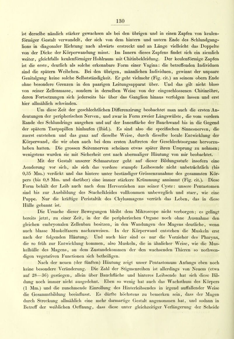 ist derselbe nämlich stärker gewachsen als bei den übrigen und in einen Zapfen von keulen- förmiger Gestalt verwandelt, der sich von dem hintern und untern Ende des Schlundgang- lions in diagonaler Richtung nach abwärts erstreckt und an Länge vielleicht das Doppelte von der Dicke der Körperwandung misst. Im Innern dieses Zapfens findet sich ein ziemlich weiter, gleichfalls keulenförmiger Hohlraum mit Chitinbekleidung. Der keulenförmige Zapfen ist die erste, deutlich als solche erkennbare Form einer Vagina: die betreffenden Individuen sind die spätem Weibchen. Bei den übrigen, männlichen Individuen, gewinnt der unpaare Genitalgang keine solche Selbstständigkeit. Er geht vielmehr (Fig. cit.) an seinem obern Ende ohne besondere Grenzen in den paarigen Leitungsapparat über. Und das gilt nicht bloss von seiner Zellenmasse, sondern in derselben Weise von der eingeschlossenen Chitinröhre, deren Fortsetzungen sich jederseits bis über das Ganglion hinaus verfolgen lassen und erst hier allmählich schwinden. Um diese Zeit der geschlechtlichen Differenzirung beobachtet man auch die ersten An- deutungen der peripherischen Nerven, und zwar in Form zweier Längswülste, die vom vordem Rande des Schlundrings ausgehen und auf der Innenfläche der Bauchwand bis in die Gegend der spätem Tastpapillen hinlaufen (Ibid.). Es sind also die specifischen Sinnesnerven, die zuerst entstehen und das ganz auf dieselbe Weise, durch dieselbe locale Entwicklung der Körperwand, die wir oben auch bei dem ersten Auftreten der Geschlechtsorgane hervorzu- heben hatten. Die grossen Seitennerven scheinen etwas später ihren Ursprung zu nehmen; wenigstens wurden sie mit Sicherheit erst nach abermaliger Häutung von mir beobachtet. Mit der Gestalt unserer Schmarotzer geht auf dieser Bildungsstufe insofern eine Aenderung vor sich, als sich das vordere stumpfe Leibesende nicht unbeträchtlich (bis 0,35 Mm.) verdickt und das hintere unter beständiger Grössenzunahme des gesammten Kör- pers (bis 0,8 Mm. und darüber) eine immer stärkere Krümmung annimmt (Fig. cit.). Diese Form behält der Leib auch nach dem Hervorziehen aus seiner Cyste: unsere Pentastomen sind bis zur Ausbildung des Stachelkleides vollkommen unbeweglich und starr, wie eine Puppe. Nur die kräftige Peristaltik des Chylusmagens verräth das Leben, das in diese Hülle gebannt ist. Die Ursache dieser Bewegungen bleibt dem Mikroscope nicht verborgen; es gelingt bereits jetzt, zu einer Zeit, in der die peripherischen Organe noch ohne Ausnahme den gleichen embryonalen Zellenbau besitzen, in den Wandungen des Magens deutliche, wenn auch blasse Muskelfasern nachzuweisen. In der Körperwand entstehen die Muskeln erst nach der folgenden Häutung. Und auch hier sind es nur die Vorzieher des Pharynx, die so früh zur Entwicklung kommen, also Muskeln, die in ähnlicher Weise, wie die Mus- kelhülle des Magens, an dem Zustandekommen der den wachsenden Thieren so notwen- digen vegetativen Functionen sich betheiligen. Nach der neuen (der fünften) Häutung zeigt unser Pentastomum Anfangs eben noch keine besondere Veränderung. Die Zahl der Stigmenreihen ist allerdings von Neuem (etwa auf 28—36) gestiegen, allein über Bauchfläche und hinteres Leibsende hat sich diese Bil- dung noch immer nicht ausgedehnt. Eben so wenig hat auch das Wachsthum des Körpers (1 Mm.) und die zunehmende Einrollung des Hinterleibsendes in irgend auffallender Weise die Gesammtbildung beeinflusst. Es dürfte höchstens zu bemerken sein, dass der Magen durch Streckung allmählich eine mehr darmartige Gestalt angenommen hat, und sodann in Betreff der weiblichen Oeffnung, dass diese unter gleichzeitiger Verlängerung der Scheide
