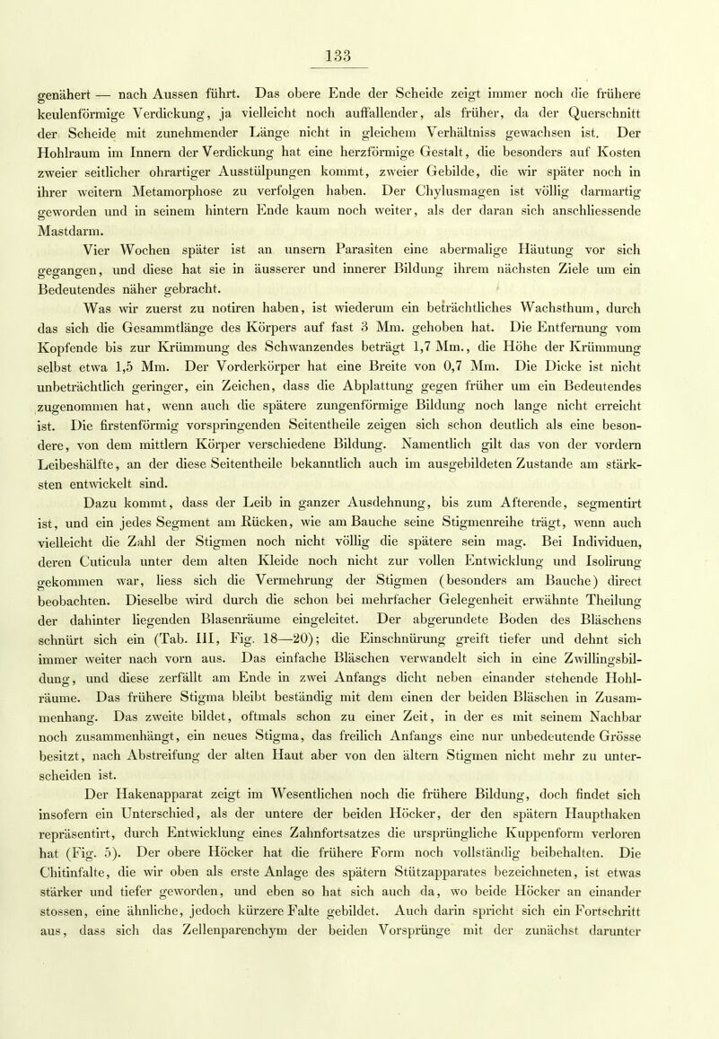genähert — nach Aussen führt. Das obere Ende der Scheide zeigt immer noch die frühere keulenförmige Verdickung, ja vielleicht noch auffallender, als früher, da der Querschnitt der Scheide mit zunehmender Länge nicht in gleichem Verhältniss gewachsen ist. Der Hohlraum im Innern der Verdickung hat eine herzförmige Gestalt, die besonders auf Kosten zweier seitlicher ohrartiger Ausstülpungen kommt, zweier Gebilde, die wir später noch in ihrer weitern Metamorphose zu verfolgen haben. Der Chylusmagen ist völlig darmartig geworden und in seinem hintern Ende kaum noch weiter, als der daran sich anschliessende Mastdarm. Vier Wochen später ist an unsern Parasiten eine abermalige Häutung vor sich gegangen, und diese hat sie in äusserer und innerer Bildung ihrem nächsten Ziele um ein Bedeutendes näher gebracht. Was wir zuerst zu notiren haben, ist wiederum ein beträchtliches Wachsthum, durch das sich die Gesammtlänge des Körpers auf fast 3 Mm. gehoben hat. Die Entfernung vom Kopfende bis zur Krümmung des Schwanzendes beträgt 1,7 Mm., die Höhe der Krümmung selbst etwa 1,5 Mm. Der Vorderkörper hat eine Breite von 0,7 Mm. Die Dicke ist nicht unbeträchtlich geringer, ein Zeichen, dass die Abplattung gegen früher um ein Bedeutendes zugenommen hat, wenn auch die spätere zungenförmige Bildung noch lange nicht erreicht ist. Die firstenförmig vorspringenden Seitentheile zeigen sich schon deutlich als eine beson- dere, von dem mittlem Körper verschiedene Bildung. Namentlich gilt das von der vordem Leibeshälfte, an der diese Seitentheile bekanntlich auch im ausgebildeten Zustande am stärk- sten entwickelt sind. Dazu kommt, dass der Leib in ganzer Ausdehnung, bis zum Afterende, segmentirt ist, und ein jedes Segment am Rücken, wie am Bauche seine Stigmenreihe trägt, wenn auch vielleicht die Zahl der Stigmen noch nicht völlig die spätere sein mag. Bei Individuen, deren Cuticula unter dem alten Kleide noch nicht zur vollen Entwicklung und Isolirung gekommen war, liess sich die Vermehrung der Stigmen (besonders am Bauche) direct beobachten. Dieselbe wird durch die schon bei mehrfacher Gelegenheit erwähnte Theilung der dahinter liegenden Blasenräume eingeleitet. Der abgerundete Boden des Bläschens schnürt sich ein (Tab. III, Fig. 18—20); die Einschnürung greift tiefer und dehnt sich immer weiter nach vorn aus. Das einfache Bläschen verwandelt sich in eine Zwillingsbil- dung, und diese zerfällt am Ende in zwei Anfangs dicht neben einander stehende Hohl- räume. Das frühere Stigma bleibt beständig mit dem einen der beiden Bläschen in Zusam- menhang. Das zweite bildet, oftmals schon zu einer Zeit, in der es mit seinem Nachbar noch zusammenhängt, ein neues Stigma, das freilich Anfangs eine nur unbedeutende Grösse besitzt, nach Abstreifung der alten Haut aber von den ältern Stigmen nicht mehr zu unter- scheiden ist. Der Hakenapparat zeigt im Wesentlichen noch die frühere Bildung, doch findet sich insofern ein Unterschied, als der untere der beiden Höcker, der den spätem Haupthaken repräsentirt, durch Entwicklung eines Zahnfortsatzes die ursprüngliche Kuppenform verloren hat (Fig. 5). Der obere Höcker hat die frühere Form noch vollständig beibehalten. Die Chitinfalte, die wir oben als erste Anlage des spätem Stützapparates bezeichneten, ist etwas stärker und tiefer geworden, und eben so hat sich auch da, wo beide Höcker an einander stossen, eine ähnliche, jedoch kürzere Falte gebildet. Auch darin spiicht sich ein Fortschritt aus, dass sich das Zellenparenchym der beiden Vorsprünge mit der zunächst darunter