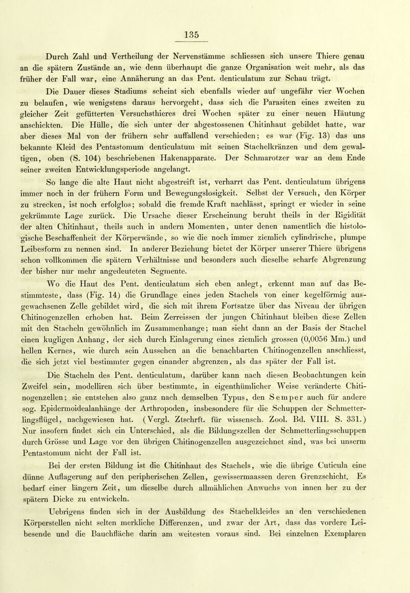 Durch Zahl und Vertheilung der Nervenstämme schliessen sich unsere Thiere genau an die spätem Zustände an, wie denn überhaupt die ganze Organisation weit mehr, als das früher der Fall war, eine Annäherung an das Pent. denticulatum zur Schau trägt. Die Dauer dieses Stadiums scheint sich ebenfalls wieder auf ungefähr vier Wochen zu belaufen, wie wenigstens daraus hervorgeht, dass sich die Parasiten eines zweiten zu gleicher Zeit gefütterten Versuchsthieres drei Wochen später zu einer neuen Häutung anschickten. Die Hülle, die sich unter der abgestossenen Chitinhaut gebildet hatte, war aber dieses Mal von der frühern sehr auffallend verschieden; es war (Fig. 13) das uns bekannte Kleid des Pentastomum denticulatum mit seinen Stachelkränzen und dem gewal- tigen, oben (S. 104) beschriebenen Hakenapparate. Der Schmarotzer war an dem Ende seiner zweiten Entwicklungsperiode angelangt. So lange die alte Haut nicht abgestreift ist, verharrt das Pent. denticulatum übrigens immer noch in der frühern Form und Bewegungslosigkeit. Selbst der Versuch, den Körper zu strecken, ist noch erfolglos; sobald die fremde Kraft nachlässt, springt er wieder in seine gekrümmte Lage zurück. Die Ursache dieser Erscheinung beruht theils in der Rigidität der alten Chitinhaut, theils auch in andern Momenten, unter denen namentlich die histolo- gische Beschaffenheit der Körperwände, so wie die noch immer ziemlich cylindrische, plumpe Leibesform zu nennen sind. In anderer Beziehung bietet der Körper unserer Thiere übrigens schon vollkommen die spätem Verhältnisse und besonders auch dieselbe scharfe Abgrenzung der bisher nur mehr angedeuteten Segmente. Wo die Haut des Pent. denticulatum sich eben anlegt, erkennt man auf das Be- stimmteste, dass (Fig. 14) die Grundlage eines jeden Stachels von einer kegelförmig aus- gewachsenen Zelle gebildet wird, die sich mit ihrem Fortsatze über das Niveau der übrigen Chitinogenzellen erhoben hat. Beim Zerreissen der jungen Chitinhaut bleiben diese Zellen mit den Stacheln gewöhnlich im Zusammenhange; man sieht dann an der Basis der Stachel einen kugligen Anhang, der sich durch Einlagerung eines ziemlich grossen (0,0056 Mm.) und hellen Kernes, wie durch sein Aussehen an die benachbarten Chitinogenzellen anschliesst, die sich jetzt viel bestimmter gegen einander abgrenzen, als das später der Fall ist. Die Stacheln des Pent. denticulatum, darüber kann nach diesen Beobachtungen kein Zweifel sein, modelliren sich über bestimmte, in eigentümlicher Weise veränderte Chiti- nogenzellen; sie entstehen also ganz nach demselben Typus, den Semper auch für andere sog. Epidermoidealanhänge der Arthropoden, insbesondere für die Schuppen der Schmetter- lingsfiügel, nachgewiesen hat. (Vergl. Ztschrft. für wissensch. Zool. Bd. VIII. S. 331.) Nur insofern findet sich ein Unterschied, als die Bildungszellen der Schmettei'lingsschuppen durch Grösse und Lage vor den übrigen Chitinogenzellen ausgezeichnet sind, was bei unserm Pentastomum nicht der Fall ist. Bei der ersten Bildung ist die Chitinhaut des Stachels, wie die übrige Cuticula eine dünne Auflagerung auf den peripherischen Zellen, gewissermaassen deren Grenzschicht. Es bedarf einer längern Zeit, um dieselbe durch allmählichen Anwuchs von innen her zu der spätem Dicke zu entwickeln. Uebrigens finden sich in der Ausbildung des Stachelkleides an den verschiedenen Körperstellen nicht selten merkliche Differenzen, und zwar der Art, dass das vordere Lei- besende und die Bauchfläche darin am weitesten voraus sind. Bei einzelnen Exemplaren