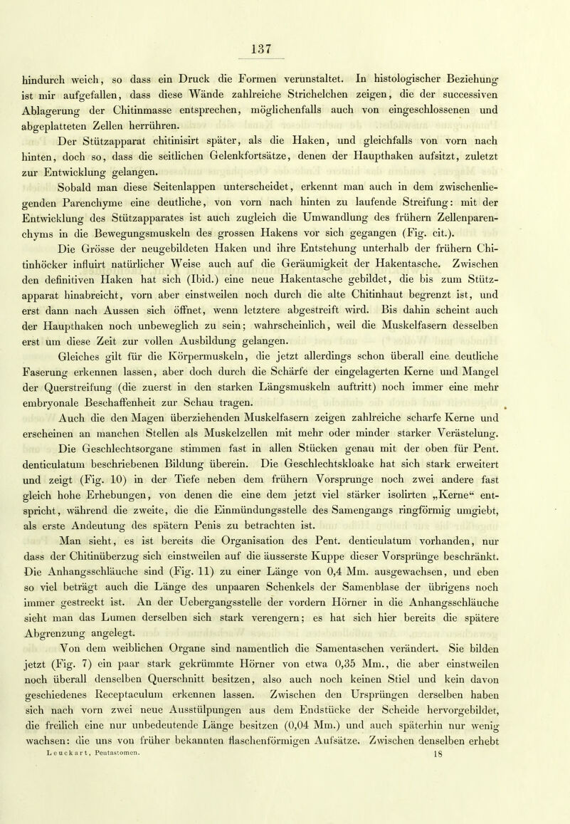 hindurch weich, so dass ein Druck die Formen verunstaltet. In histologischer Beziehung ist mir aufgefallen, dass diese Wände zahlreiche Strichelchen zeigen, die der successiven Ablagerung der Chitinmasse entsprechen, möglichenfalls auch von eingeschlossenen und abgeplatteten Zellen herrühren. Der Stützapparat chitinisirt später, als die Haken, und gleichfalls von vorn nach hinten, doch so, dass die seitlichen Gelenkfortsätze, denen der Haupthaken aufsitzt, zuletzt zur Entwicklung gelangen. Sobald man diese Seitenlappen unterscheidet, erkennt man auch in dem zwischenlie- genden Parenchyme eine deutliche, von vorn nach hinten zu laufende Streifung: mit der Entwicklung des Stützapparates ist auch zugleich die Umwandlung des frühern Zellenparen- chyms in die Bewegungsmuskeln des grossen Hakens vor sich gegangen (Fig. cit.). Die Grösse der neugebildeten Haken und ihre Entstehung unterhalb der frühern Chi- tinhöcker influirt natürlicher Weise auch auf die Geräumigkeit der Hakentasche. Zwischen den definitiven Haken hat sich (Ibid.) eine neue Hakentasche gebildet, die bis zum Stütz- apparat hinabreicht, vorn aber einstweilen noch durch die alte Chitinhaut begrenzt ist, und erst dann nach Aussen sich öffnet, wenn letztere abgestreift wird. Bis dahin scheint auch der Haupthaken noch unbeweglich zu sein; wahrscheinlich, weil die Muskelfasern desselben erst um diese Zeit zur vollen Ausbildung gelangen. Gleiches gilt für die Körpermuskeln, die jetzt allerdings schon überall eine deutliche Faserung erkennen lassen, aber doch durch die Schärfe der eingelagerten Kerne und Mangel der Querstreifung (die zuerst in den starken Längsmuskeln auftritt) noch immer eine mehr embryonale Beschaffenheit zur Schau tragen. Auch die den Magen überziehenden Muskelfasern zeigen zahlreiche scharfe Kerne und erscheinen an manchen Stellen als Muskelzellen mit mehr oder minder starker Verästelung. Die Geschlechtsorgane stimmen fast in allen Stücken genau mit der oben für Pent. denticulatum beschriebenen Bildung überein. Die Geschlechtskloake hat sich stark erweitert und zeigt (Fig. 10) in der Tiefe neben dem frühern Vorsprunge noch zwei andere fast gleich hohe Erhebungen, von denen die eine dem jetzt viel stärker isolirten „Kerne ent- spricht, während die zweite, die die Einmündungssteile des Samengangs ringförmig umgiebt, als erste Andeutung des spätem Penis zu betrachten ist. Man sieht, es ist bereits die Organisation des Pent. denticulatum vorhanden, nur dass der Chitinüberzug sich einstweilen auf die äusserste Kuppe dieser Vorsprünge beschränkt. Die Anhangsschläuche sind (Fig. 11) zu einer Länge von 0,4 Mm. ausgewachsen, und eben so viel beträgt auch die Länge des unpaaren Schenkels der Samenblase der übrigens noch immer gestreckt ist. An der Uebergangsstelle der vordem Hörner in die Anhangsschläuche sieht man das Lumen derselben sich stark verengern; es hat sich hier bereits die spätere Abgrenzung angelegt. Von dem weiblichen Organe sind namentlich die Samentaschen verändert. Sie bilden jetzt (Fig. 7) ein paar stark gekrümmte Hörner von etwa 0,35 Mm., die aber einstweilen noch überall denselben Querschnitt besitzen, also auch noch keinen Stiel und kein davon geschiedenes Receptaculum erkennen lassen. Zwischen den Ursprüngen derselben haben sich nach vorn zwei neue Ausstülpungen aus dem Endstücke der Scheide hervorgebildet, die freilich eine nur unbedeutende Länge besitzen (0,04 Mm.) und auch späterhin nur wenig wachsen: die uns von früher bekannten flaschenförmigen Aufsätze. Zwischen denselben erhebt Leuckart, Pentastomen. lg