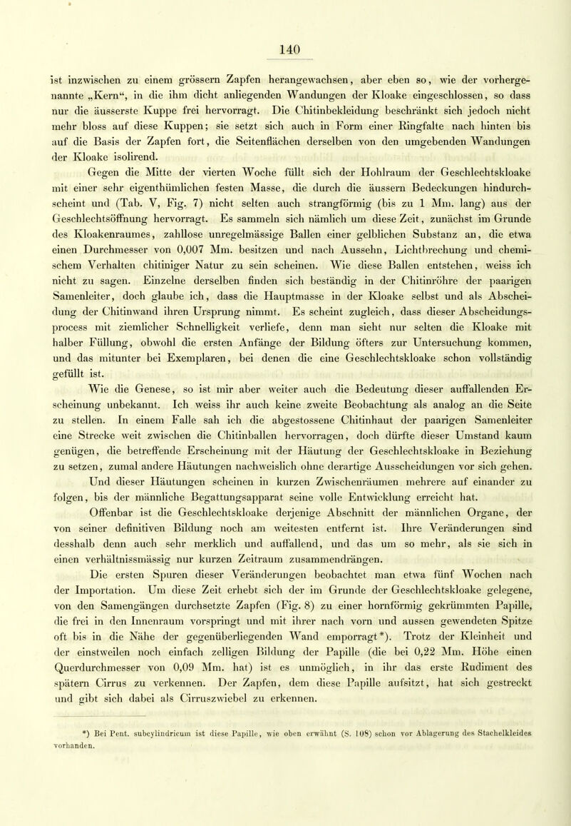 ist inzwischen zu einem grössern Zapfen herangewachsen, aber eben so, wie der vorherge- nannte „Kern, in die ihm dicht anliegenden Wandungen der Kloake eingeschlossen, so dass nur die äusserste Kuppe frei hervorragt. Die Chitinbekleidung beschränkt sich jedoch nicht mehr bloss auf diese Kuppen; sie setzt sich auch in Form einer Ringfalte nach hinten bis auf die Basis der Zapfen fort, die Seitenflächen derselben von den umgebenden Wandungen der Kloake isolirend. Gegen die Mitte der vierten Woche füllt sich der Hohlraum der Geschlechtskloake mit einer sehr eigentümlichen festen Masse, die durch die äussern Bedeckungen hindurch- scheint und (Tab. V, Fig. 7) nicht selten auch strangförmig (bis zu 1 Mm. lang) aus der Geschlechtsöffhung hervorragt. Es sammeln sich nämlich um diese Zeit, zunächst im Grunde des Kloakenraumes, zahllose unregelmässige Ballen einer gelblichen Substanz an, die etwa einen Durchmesser von 0,007 Mm. besitzen und nach Aussehn, Lichtbrechung und chemi- schem Verhalten chitiniger Natur zu sein scheinen. Wie diese Ballen entstehen, weiss ich nicht zu sagen. Einzelne derselben finden sich beständig in der Chitinröhre der paarigen Samenleiter, doch glaube ich, dass die Hauptmasse in der Kloake selbst und als Abschei- dung der Chitinwand ihren Ursprung nimmt. Es scheint zugleich, dass dieser Abscheidungs- process mit ziemlicher Schnelligkeit verliefe, denn man sieht nur selten die Kloake mit halber Füllung, obwohl die ersten Anfänge der Bildung öfters zur Untersuchung kommen, und das mitunter bei Exemplaren, bei denen die eine Geschlechtskloake schon vollständig gefüllt ist. Wie die Genese, so ist mir aber weiter auch die Bedeutung dieser auffallenden Er- scheinung unbekannt. Ich weiss ihr auch keine zweite Beobachtung als analog an die Seite zu stellen. In einem Falle sah ich die abgestossene Chitinhaut der paarigen Samenleiter eine Strecke weit zwischen die Chitinballen hervorragen, doch dürfte dieser Umstand kaum genügen, die betreffende Erscheinung mit der Häutung der Geschlechtskloake in Beziehung zu setzen, zumal andere Häutungen nachweislich ohne derartige Ausscheidungen vor sich gehen. Und dieser Häutungen scheinen in kurzen Zwischenräumen mehrere auf einander zu folgen, bis der männliche Begattungsapparat seine volle Entwicklung erreicht hat. Offenbar ist die Geschlechtskloake derjenige Abschnitt der männlichen Organe, der von seiner definitiven Bildung noch am weitesten entfernt ist. Ihre Veränderungen sind desshalb denn auch sehr merklich und auffallend, und das um so mehr, als sie sich in einen verhältnissmässig nur kurzen Zeitraum zusammendrängen. Die ersten Spuren dieser Veränderungen beobachtet man etwa fünf Wochen nach der Importation. Um diese Zeit erhebt sich der im Grunde der Geschlechtskloake gelegene, von den Samengängen durchsetzte Zapfen (Fig. 8) zu einer hornförmig gekrümmten Papille, die frei in den Innenraum vorspringt und mit ihrer nach vorn und aussen gewendeten Spitze oft bis in die Nähe der gegenüberliegenden Wand emporragt*). Trotz der Kleinheit und der einstweilen noch einfach zelligen Bildung der Papille (die bei 0,22 Mm. Höhe einen Querdurchmesser von 0,09 Mm. hat) ist es unmöglich, in ihr das erste Rudiment des spätem Cirrus zu verkennen. Der Zapfen, dem diese Papille aufsitzt, hat sich gestreckt und gibt sich dabei als Cirruszwiebel zu erkennen. *) Bei Pent. subcylindricum ist diese Papille, wie oben erwähnt (S. 108) schon vor Ablagerung des Stachelkleides vorhanden.