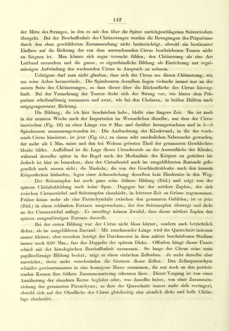 der Mitte des Stranges, in den es mit den über die Spitze zurückgeschlagenen Seitenrändern übergeht. Bei der Beschaffenheit des Chitinstranges werden die Bewegungen des Präputiums durch den eben geschilderten Zusammenhang nicht beeinträchtigt, obwohl ein bestimmter Einfluss auf die Richtung der von dem auswachsenden Cirrus beschriebenen Touren nicht zu läugnen ist. Man könnte sich sogar versucht fühlen, den Chitinstrang als eine Art Leitband anzusehen und die ganze, so eigenthümliche Bildung als Einrichtung zur regel- mässigen Aufwindung des wachsenden Cirrus in Anspruch zu nehmen. Uebrigens darf man nicht glauben, dass sich der Cirrus um diesen Chitinstrang, wie um seine Achse herumwinde. Die Spiraltouren desselben liegen vielmehr immer nur an der untern Seite des Chitinstranges, so dass dieser über die Rückenfläche des Cirrus hinweg- läuft. Bei der Vermehrung der Touren dreht sich der Strang vor, wie hinter dem Prä- putium scheibenförmig zusammen und zwar, wie bei den Chalazen, in beiden Hälften nach entgegengesetzter Richtung. Die Bildung, die ich hier beschrieben habe, bleibt eine längere Zeit. Sie ist noch in der neunten Woche nach der Importation im Wesentlichen dieselbe, nur dass der Cirrus inzwischen (Fig. 10) zu einer Länge von 8 Min. und darüber herangewachsen und in 5—6 Spiraltouren zusammengewunden ist. Die Ausbuchtung der Kloakwand, in die der wach- sende Cirrus hineintrat, ist jetzt (Fig. cit.) zu einem sehr ansehnlichen Nebensacke geworden, der mehr als 1 Mm. misst und den bei Weitem grössten Theil der gesammten Geschlechts- kloake bildet. Auffallend ist die Lage dieses Cirrusbeutels an der Aussenfläche der Kloake, während derselbe später in der Regel nach der Medianlinie des Körpers zu gerichtet ist. Jedoch ist hier zu bemerken, dass der Cirrusbeutel auch im ausgebildeteten Zustande gele- gentlich nach aussen sieht; die Muskeln, die von der Geschlechtskloake nach den äussern Körperdecken hinlaufen, legen einer Achsendrehung desselben kein Hinderniss in den Weg. Der Seitenzapfen hat noch ganz seine frühere Bildung (Ibid.) und zeigt von der spätem Chitinbekleidung noch keine Spur. Dagegen hat der mittlere Zapfen, der sich zwischen Cirruszwiebel und Seitenzapfen einschiebt, in letzterer Zeit an Grösse zugenommen. Früher kaum mehr als eine Parenchymfalte zwischen den genannten Gebilden, ist er jetzt (Ibid.) in einen schlanken Fortsatz ausgewachsen, der den Seitenzapfen überragt und dicht an der Cirruszwiebel anliegt. Es unterliegt keinem Zweifel, dass dieser mittlere Zapfen den spätem zungenförmigen Fortsatz darstellt. Bei der ersten Bildung war der Cirrus nicht bloss kürzer, sondern auch beträchtlich dicker, als im ausgebildeten Zustand. Mit zunehmender Länge wird der Querschnitt indessen immer kleiner, aber trotzdem beträgt der Durchmesser in dem zuletzt beschriebenen Stadium immer noch 0,06 Mm., fast das Doppelte der spätem Dicke. Offenbar hängt dieser Unter- schied mit der histologischen Beschaffenheit zusammen. So lange der Cirrus seine erste papillenförmige Bildung besitzt, zeigt er einen einfachen Zellenbau. Je mehr derselbe aber auswächst, desto mehr verschwinden die Grenzen dieser Zellen. Das Zellenparenchym schmilzt gewissermaassen in eine homogene Masse zusammen, die nur noch an den persisti- renden Kernen ihre frühere Zusammensetzung erkennen lässt. Dieser Vorgang ist von einer Annäherung der einzelnen Kerne bes-leitet oder, was dasselbe heisst, von einer Zusammen- ziehung des gesammten Parenchyms, so dass der Querschnitt immer mehr sich verringert, obwohl sich auf der Oberfläche des Cirrus gleichzeitig eine ziemlich dicke und helle Chitin- lage abscheidet.