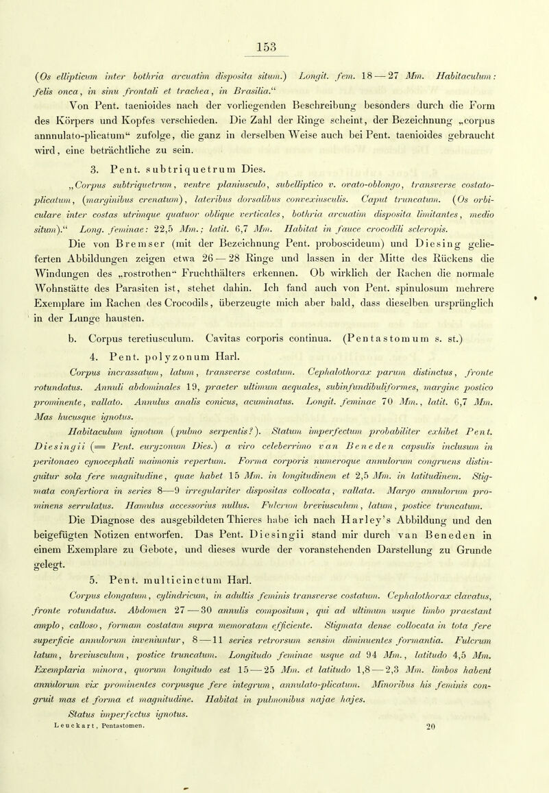 (Os ellipticum inter böthria arcuatbn disposita situm.) Longit. fern. 18 — 27 Mm. Habitaculum: felis onca, in sinn frontali et trachea, in Brasilia. Von Pent. taenioicles nach der vorliegenden Beschreibung besonders durch die Form des Körpers und Kopfes verschieden. Die Zahl der Ringe scheint, der Bezeichnung „corpus annnulato-plicatum zufolge, die ganz in derselben Weise auch bei Pent. taenioides gebraucht wird, eine beträchtliche zu sein. 3. Pent. subtriquetrum Dies. „Corpus subtriquetrum, ventre planiusculo, subelliptico v. ovato-oblongo, transverse costato- plicatum, (marginibus crenatum), lateribus dorsalibus convexiusculis. Caput truncatum. (Os orbi- culare inter costas utrimque quatuor oblique verticales, botliria arcuatbn disposita limitantes, medio situm). Long, feminae: 22,5 Mm.; latit. 6,7 Mm. Habitat in fauce crocodili scleropis. Die von Bremser (mit der Bezeichnung Pent. proboscideum) und Die sing gelie- ferten Abbildungen zeigen etwa 26 — 28 Ringe und lassen in der Mitte des Rückens die Windungen des „rostrothen-' Fruchthälters erkennen. Ob wirklich der Rachen die normale Wohnstätte des Parasiten ist, stehet dahin. Ich fand auch von Pent. spinulosum mehrere Exemplare im Rachen des Crocodils, überzeugte mich aber bald, dass dieselben ursprünglich in der Lunge hausten. b. Corpus teretiusculum. Cavitas corporis continua. (Pentastomum s. st.) 4. Pent. polyzonum Harl. Corpus incrassatum, latum, transverse costatum. Cephalothorax parum distinctus, fronte rotundatus. Annuli abdominales 19, praeter ultimum aequales, subinfundibuliformes, margine postico prominente, vallato. Annulus analis conicus, acuminatus. Longit. feminae 70 Mm., latit. 6,7 Mm. Mas hucusque ignotus. Habitaculum ignotum (pulmo serpentisf). Statum imperfectum probabiliter exhibet Pent. Diesingii (== Pent. euryzonum Dies) a viro celeberrimo van Beneden capsulis inclusum in peritonaeo cynocephali maimonis repertum. Forma corporis numeroque annulorum congruens distin- guitur sola f ere magnitudine, quae habet 15 Mm. in longitudinem et 2,5 Mm. in latitudinem. Stig- mata confertiora in series 8—9 irregidariter dispositas collocata, vattata. Margo annulorum pro- minens serrulatus. Hamulus accessorius nullus. FuJcrtan breviusculum, latum, postice truncatum. Die Diagnose des ausgebildeten Thieres habe ich nach Harley's Abbildung und den beigefügten Notizen entworfen. Das Pent. Diesingii stand mir durch van Beneden in einem Exemplare zu Gebote, und dieses wurde der voranstehenden Darstellung zu Grunde gelegt. 5. Pent. multicinctum Harl. Corpus elongatum, cylindricum, in adultis feminis transverse costatum. Cepkalothorax clavatus, fronte rotundatus. Abdomen 27—30 annulis compositum, qui ad ultimum usque limbo praestant amplo, calloso, formam costatam supra memoratam efficiente. Stigmata dense collocata in tota fere superfeie annulorum inveniuntur, 8 —11 series retrorsum sensim diminuentes formantia. Fulerum latum, breviusculum, postice truncatum. Longitudo feminae usque ad 94 Mm., latitudo 4,5 Mm. Exemplaria minora, quorum longitudo est 15 — 25 Mm. et latitudo 1,8 — 2,3 Mm. limbos habent annulorum vix prominentes corpusque fere integrum, annulato-plicatum. Minoribus Ms feminis con- gruit mos et forma et magnitudine. Habitat in pulmonibus najae ha.jes. Status imperfectus ignotus. Leuckart, Pentastomen. 20