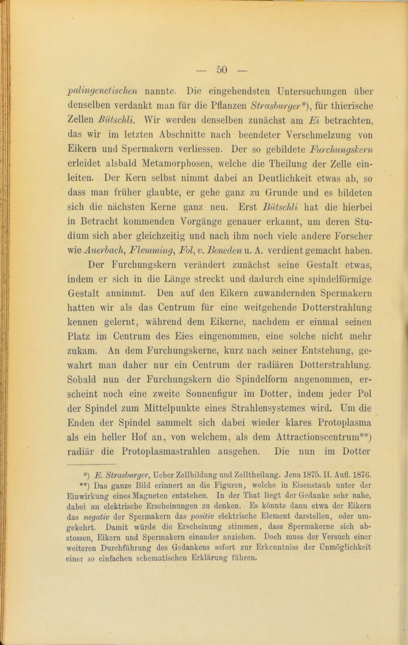 pälingenetischen nannte. Die eingehendsten Untersuchungen über denselben verdankt man für die Pflanzen Strasburger*), für thierische Zellen ßiitschli. Wir werden denselben zunächst am Ei betrachten, das wir im letzten Abschnitte nach beendeter Verschmelzung von Eikern und Spermakern verliessen. Der so gebildete Mtrchungskern erleidet alsbald Metamorphosen, welche die Theilung der Zelle ein- leiten. Der Kern selbst nimmt dabei an Deutlichkeit etwas ab, so dass man früher glaubte, er gehe ganz zu Grunde und es bildeten sich die nächsten Kerne ganz neu. Erst Bütschli hat die hierbei in Betracht kommenden Vorgänge genauer erkannt, um deren Stu- dium sich aber gleichzeitig und nach ihm noch viele andere Forscher wie Auerlach, Flemming, Fol, v. Beneden u. A. verdient gemacht haben. Der Furchungskern verändert zunächst seine Gestalt etwas, indem er sich in die Länge streckt und dadurch eine spindelförmige Gestalt annimmt. Den auf den Eikern zuwandernden Spermakein hatten wir als das Centrum für eine weitgehende Dotterstrahlung kennen gelernt, während dem Eikerne, nachdem er einmal seinen Platz im Centrum des Eies eingenommen, eine solche nicht mehr zukam. An dem Furchungskerne, kurz nach seiner Entstehung, ge- wahrt man daher nur ein Centrum der radiären Dotterstrahlung. Sobald nun der Furchungskern die Spindelform angenommen, er- scheint noch eine zweite Sonnenfigur im Dotter, indem jeder Pol der Spindel zum Mittelpunkte eines Strahlensystemes wird. Um die Enden der Spindel sammelt sich dabei wieder klares Protoplasma als ein heller Hof an, von welchem, als dem Attractionscentrum**) radiär die Protoplasmastrahlen ausgehen. Die nun im Dotter *) E. Strasbwger, üeber Zellbildung und Zelltheilung. Jena 1875. II. Aufl. 1876. **) Das ganze Bild erinnert an die Figuren, welche in Eisenstaub unter der Einwirkung eines Magneten entstehen. In der That liegt der Gedanke sehr nahe, dabei an elektrische Erscheinungen zu denken. Es könnte dann etwa der Eikern das negativ der Spermakern das positiv elektrische Element darstellen, oder um- gekehrt. Damit würde die Erscheinung stimmen, dass Spermakerne sich ab- stossen, Eikern und Spermakern einander anziehen. Doch muss der Versuch einer weiteren Durchführung des Gedankens sofort zur Erkenntniss der Unmöglichkeit einer so einfachen schematischen Erklärung führen. \