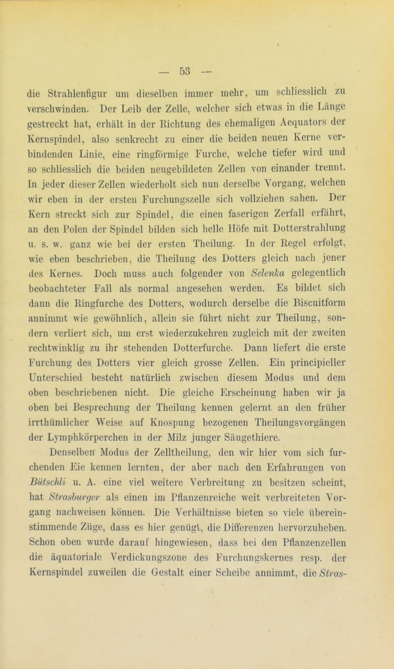 die Strahlenfigur um dieselben immer mehr, um schliesslich zu verschwinden. Der Leib der Zelle, welcher sich etwas in die Länge gestreckt hat, erhält in der Richtung des ehemaligen Aequators der Kernspindel, also senkrecht zu einer die beiden neuen Kerne ver- bindenden Linie, eine ringförmige Furche, welche tiefer wird und so schliesslich die beiden neugebildeten Zellen von einander trennt. In jeder dieser Zellen wiederholt sich nun derselbe Vorgang, welchen wir eben in der ersten Furchungszelle sich vollziehen sahen. Der Kern streckt sich zur Spindel, die einen faserigen Zerfall erfährt, an den Polen der Spindel bilden sich helle Höfe mit Dotterstrahlung u. s. w. ganz wie bei der ersten Theilung. In der Regel erfolgt, wie eben beschrieben, die Theilung des Dotters gleich nach jener des Kernes. Doch muss auch folgender von Sdenlca gelegentlich beobachteter Fall als normal angesehen werden. Es bildet sich dann die Ringfurche des Dotters, wodurch derselbe die Biscuitform annimmt wie gewöhnlich, allein sie führt nicht zur Theilung, son- dern verliert sich, um erst wiederzukehren zugleich mit der zweiten rechtwinklig zu ihr stehenden Dotterfurche. Dann liefert die erste Furchung des Dotters vier gleich grosse Zellen. Ein principieller Unterschied besteht natürlich zwischen diesem Modus und dem oben beschriebenen nicht. Die gleiche Erscheinung haben wir ja oben bei Besprechung der Theilung kennen gelernt an den früher irrthümlicher Weise auf Knospung bezogenen Theilungsvorgängen der Lymphkörperchen in der Milz junger Säugethiere. Denselben Modus der Zelltheilung, den wir hier vom sich fur- chenden Eie kennen lernten, der aber nach den Erfahrungen von Bütschli u. A. eine viel weitere Verbreitung zu besitzen scheint, hat Strasburger als einen im Pflanzenreiche weit verbreiteten Vor- gang nachweisen können. Die Verhältnisse bieten so viele überein- stimmende Züge, dass es hier genügt, die Differenzen hervorzuheben. Schon oben wurde darauf hingewiesen, dass bei den Pflanzenzellen die äquatoriale Verdickungszone des Furchungskernes resp. der Kernspindel zuweilen die Gestalt einer Scheibe annimmt, die 8tras-