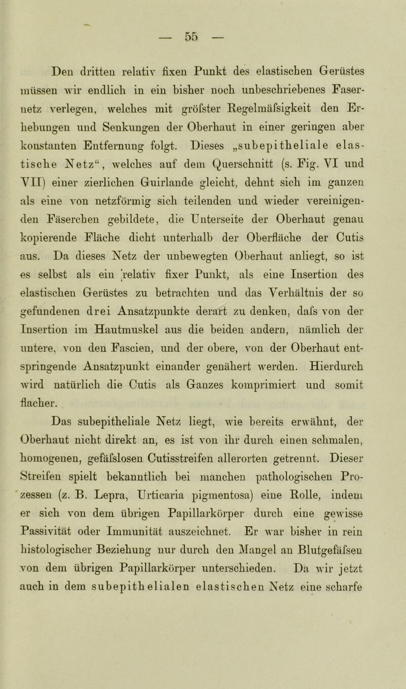 Den dritten relativ fixen Punkt des elastischen Gerüstes müssen wir endlich in ein bisher noch unbeschriebenes Faser- netz verlegen, welches mit gröfster Pegelmäfsigkeit den Er- hebungen und Senkungen der Oberhaut in einer geringen aber konstanten Entfernung folgt. Dieses „subepitheliale elas- tische Netz“, welches auf dem Querschnitt (s. Fig. VI und VII) einer zierlichen Guirlande gleicht, dehnt sich im ganzen als eine von netzförmig sich teilenden und wieder vereinigen- den Fäserchen gebildete, die Unterseite der Oberhaut genau kopierende Fläche dicht unterhalb der Oberfläche der Cutis aus. Da dieses Netz der unbewegten Oberhaut anliegt, so ist es selbst als ein ‘relativ fixer Punkt, als eine Insertion des elastischen Gerüstes zu betrachten und das Verhältnis der so gefundenen drei Ansatzpunkte derart zu denken, dafs von der Insertion im Hautmuskel aus die beiden andern, nämlich der untere, von den Fascien, und der obere, von der Oberhaut ent- springende Ansatzpunkt einander genähert werden. Hierdurch wird natürlich die Cutis als Ganzes komprimiert und somit flacher. Das subepitheliale Netz liegt, wie bereits erwähnt, der Oberhaut nicht direkt an, es ist von ihr durch einen schmalen, homogenen, gefäfslosen Cutisstreifen allerorten getrennt. Dieser Streifen spielt bekanntlich hei manchen pathologischen Pro- zessen (z. B. Lepra, Urticaria pigmentosa) eine Rolle, indem er sich von dem übrigen Papillarkörper durch eine gewisse Passivität oder Immunität auszeichnet. Er war bisher in rein histologischer Beziehung nur durch den Mangel an Blutgefäfsen von dem übrigen Papillarkörper unterschieden. Da wir jetzt auch in dem subepithelialen elastischen Netz eine scharfe