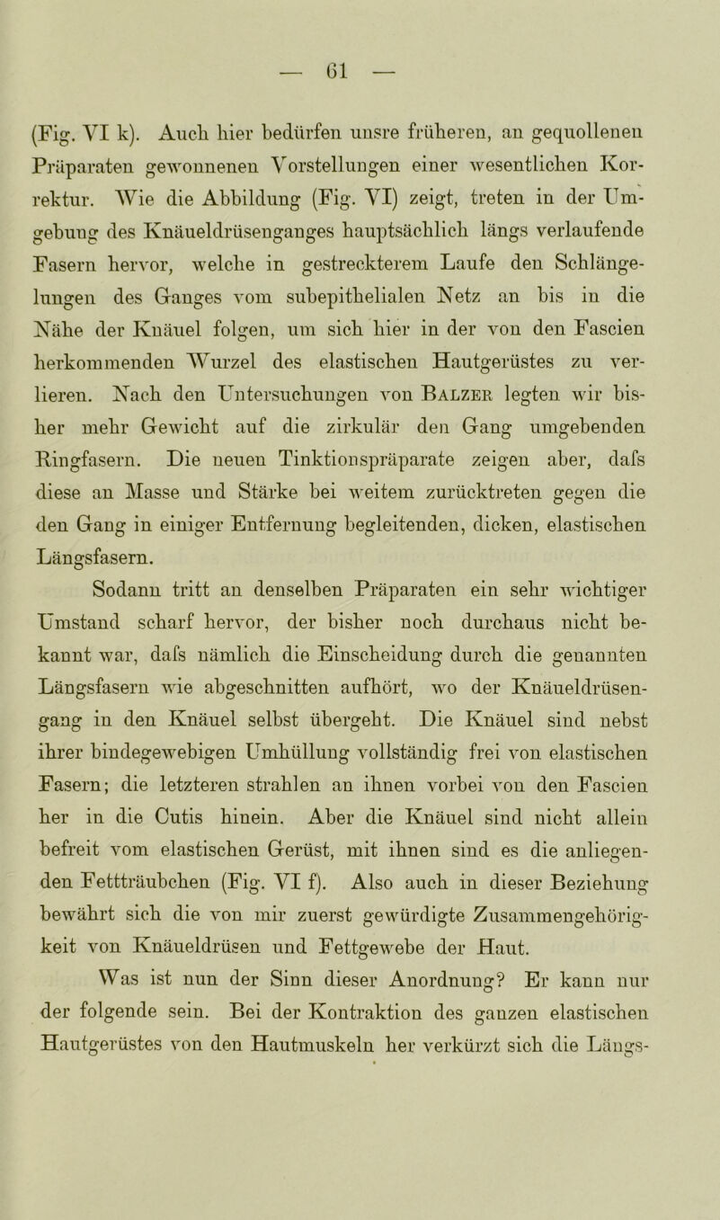 Gl (Fig. VI k). Audi liier bedürfen unsre früheren, an gequollenen Präparaten gewonnenen Vorstellungen einer wesentlichen Kor- rektur. Wie die Abbildung (Fig. VI) zeigt, treten in der Um- gebung des Knäueldrüsenganges hauptsächlich längs verlaufende Fasern hervor, welche in gestreckterem Laufe den Schlänge- lungen des Ganges vom suhepithelialen Netz an bis in die Nähe der Knäuel folgen, um sich hier in der von den Fascien herkommenden Wurzel des elastischen Hautgerüstes zu ver- lieren. Nach den Untersuchungen von Balzek legten wir bis- her mehr Gewicht auf die zirkulär den Gang umgebenden Biugfasern. Die neuen Tinktionspräparate zeigen aber, dafs diese an Masse und Stärke bei weitem zurücktreten gegen die den Gang in einiger Entfernung begleitenden, dicken, elastischen Längsfasern. Sodann tritt an denselben Präparaten ein sehr wichtiger Umstand scharf hervor, der bisher noch durchaus nicht be- kannt war, dafs nämlich die Einscheidung durch die genannten Längsfasern wie abgeschnitten aufhört, wo der Knäueldrüsen- gang in den Knäuel selbst übergeht. Die Knäuel sind nebst ihrer bindegewebigen Umhüllung vollständig frei von elastischen Fasern; die letzteren strahlen an ihnen vorbei von den Fascien her in die Cutis hinein. Aber die Knäuel sind nicht allein befreit vom elastischen Gerüst, mit ihnen sind es die anliegen- den Fettträubchen (Fig. VI f). Also auch in dieser Beziehung bewährt sich die von mir zuerst gewürdigte Zusammengehörig- keit von Knäueldrüsen und Fettgewebe der Haut. Was ist nun der Siun dieser Anordnung? Er kann nur der folgende sein. Bei der Kontraktion des ganzen elastischen Hautgerüstes von den Hautmuskeln her verkürzt sich die Längs-