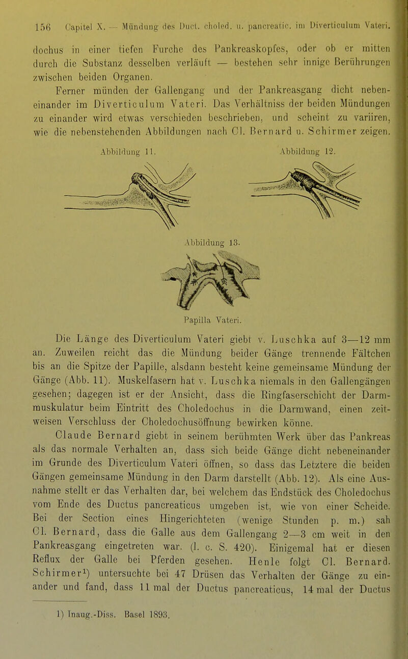 dochus in einer tiefen Furche des Pankreaskopfes, oder ob er mitten durch die Substanz desselben verläuft — bestehen sehr innige Berührungen zwischen beiden Organen. Ferner münden der Gallengang und der Pankreasgang dicht neben- einander im Diverticulum Vateri. Das Verhältniss der beiden Mündungen zu einander wird etwas verschieden beschrieben, und scheint zu variiren, wie die nebenstehenden Abbildungen nach Cl. Bernard u. Schirmer zeigen. Abbilrlung 11. Abbildung 12. Papilla Vateri. Die Länge des Diverticulum Vateri giebt v. Luschka auf 3—12 mm an. Zuweilen reicht das die Mündung beider Gänge trennende Fältchen bis an die Spitze der Papille, alsdann besteht keine gemeinsame Mündung der Gänge (Abb. 11). Muskelfasern hat v. Luschka niemals in den Gallengängeii gesehen; dagegen ist er der Ansicht, dass die Ringfaserschicht der Darm- muskulatur beim Eintritt des Choledochus in die Darmwand, einen zeit- weisen Verschluss der Choledochusöffnung bewirken könne. Claude Bernard giebt in seinem berühmten Werk über das Pankreas als das normale Verhalten an, dass sich beide Gänge dicht nebeneinander im Grunde des Diverticulum Vateri öffnen, so dass das Letztere die beiden Gängen gemeinsame Mündung in den Darm darstellt (Abb. 12). Als eine Aus- nahme stellt er das Verhalten dar, bei welchem das Endstück des Choledochu.s vom Ende des Ductus pancreaticus umgeben ist, wie von einer Scheide. Bei der Section eines Hingerichteten (wenige Stunden p. m.) sah 01. Bernard, dass die Galle aus dem Gallengang 2—3 cm weit in den Pankreasgang eingetreten war. (1. c. S. 420). Einigemal hat er diesen Reflux der Galle bei Pferden gesehen. Henle folgt 01. Bernard. Schirmerl) untersuchte bei 47 Drüsen das Verhalten der Gänge zu ein- ander und fand, dass 11 mal der Ductus pancreaticus, 14 mal der Ductus 1) Tnaug.-Diss. Basel 1893.