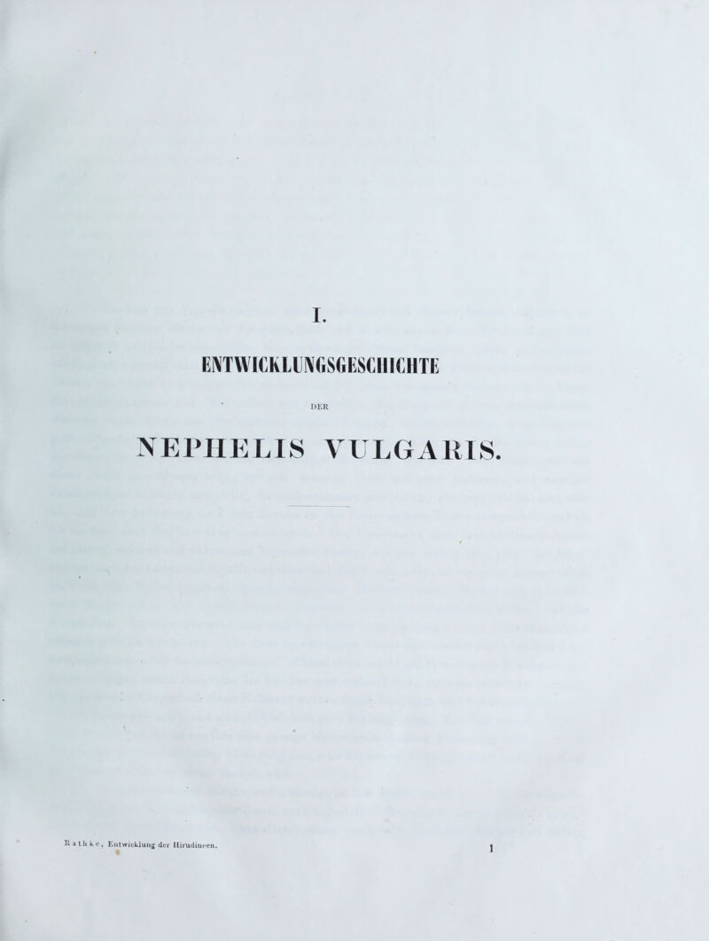 ENTWICKLUNGSGESCHICHTE DER NEPHELIS VULGARIS. e, Entwicklung der Hirudineen. 1