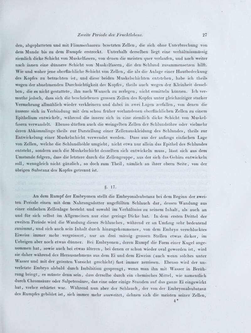 den, abgeplatteten und mit Flimmer'haaren besetzten Zellen, die sich ohne Unterbrechung von dem Munde bis zu dem Rumpfe erstreckt. Unterhalb derselben liegt eine verhältnissmässig ziemlich dicke Schicht von Muskelfasern, von denen die meisten quer verlaufen, und noch weiter nach innen eine dünnere Schicht von Muskelfasern, die den Schlund zusammensetzen hilft. Wie und woher jene oberflächliche Schicht von Zellen, die als die Anlage einer Hautbedeckung des Kopfes zu betrachten ist, und diese'beiden Muskelschichten entstehen, habe ich theils wegen der abnehmenden Durchsichtigkeit des Kopfes, theils auch wegen der Kleinheit dessel- ben, die es nicht gestattete, ihn nach Wunsch zu zerlegen, nicht ermitteln können. Ich ver- muthe jedoch, dass sich die beschriebenen grossen Zellen des Kopfes unter gleichzeitiger starker Vermehrung allmählich wieder verkleinern und dabei in zwei Lagen zerfallen, von denen die äussere sich in Verbindung mit den schon früher vorhandenen oberflächlichen Zellen zu einem Epithelium entwickelt, während die innere sich in eine ziemlich dicke Schicht von Muskel- fasern verwandelt. Ebenso dürften auch die weingelben Zellen der Schlundröhre oder vielmehr deren Abkömmlinge theils zur Darstellung einer Zellenauskleidung des Schlundes, theils zur Entwickelung einer Muskelschicht verwendet werden. Dass aus der anfangs einfachen Lage von Zellen, welche die Schlundhöhle umgiebt, nicht etwa nur allein das Epithel des Schlundes entsteht, sondern auch die Muskelschicht desselben sich entwickeln muss, lässt sich aus dem Umstande folgern, dass die letztere durch die Zellengruppe, aus der sich das Gehirn entwickeln soll, wenngleich nicht gänzlich, so doch zum Theil, nämlich an ihrer obern Seite, von der übrigen Substanz des Kopfes getrennt ist. §.17. An dem Rumpf der Embryonen stellt die Embryonalsubstanz bei dem Beginn der zwei- ten Periode einen mit dem Nahrungsdotter angefüllten Schlauch dar, dessen Wandung aus einer einfachen Zellenlage besteht und sowohl im Verhältniss zu seinem Inhalt, als auch an und für sich selbst im Allgemeinen nur eine geringe Dicke hat. In dem ersten Drittel der zweiten Periode wird die Wandung dieses Schlauches, während er an Umfang sehr bedeutend zunimmt, und sich auch sein Inhalt durch hinzugekommenes, von dem Embryo verschlucktes Eiweiss immer mehr vergrössert, nur an drei mässig grossen Stellen etwas dicker, im Uebrigen aber noch etwas dünner. Bei Embryonen, deren Rumpf die Form einer Kugel ange- nommen hat, sowie auch bei etwas älteren, bei denen er schon wieder oval geworden ist, wird sie daher während des Herausnehmens aus dem Ei und dem Eiweiss (auch wenn solches unter Wasser und mit der grössten Vorsicht geschieht) fast immer zerrissen. Ebenso wird der un- verletzte Embryo alsbald durch Imbibition gesprengt, wenn man ihn mit Wasser in Berüh- rung bringt, es müsste denn sein, dass derselbe durch ein chemisches Mittel, wie namentlich durch Chromsäure oder Salpetersäure, das eine oder einige Stunden auf das ganze Ei eingewirkt hat, vorher erhärtet war. Während nun aber der Schlauch, der von der Embryonalsubstanz des Rumpfes gebildet ist, sich immer mehr ausweitet, dehnen sich die meisten seiner Zellen, 4*