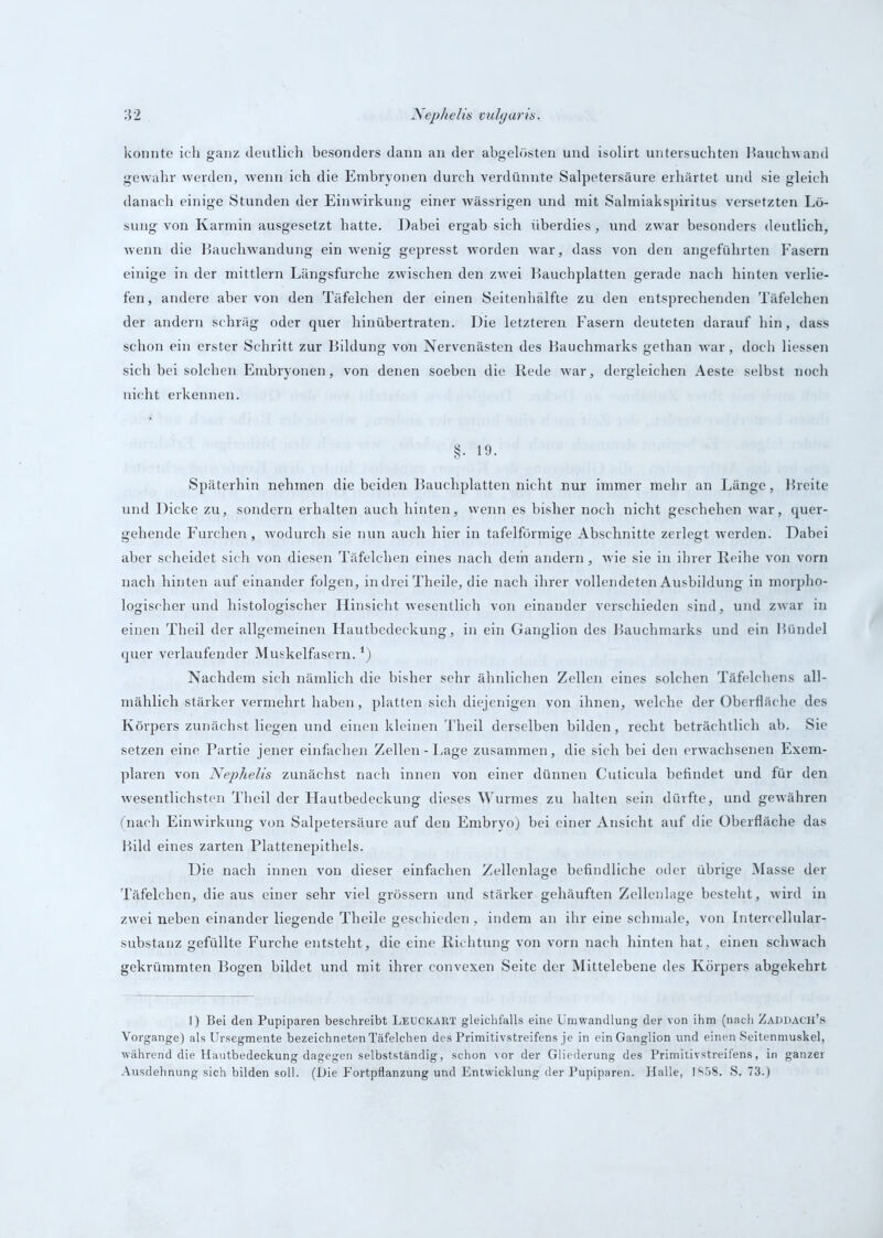 konnte ich ganz deutlich besonders dann an der abgelösten und isolirt untersuchten Hauchwand gewahr werden, wenn ich die Embryonen durch verdünnte Salpetersäure erhärtet und sie gleich danach einige Stunden der Einwirkung einer wässrigen und mit Salmiakspiritus versetzten Lö- sung von Karmin ausgesetzt hatte. Dabei ergab sich überdies, und zwar besonders deutlich, wenn die Hauchwandung ein wenig gepresst worden war, dass von den angeführten Fasern einige in der mittlern Längsfurche zwischen den zwei Hauchplatten gerade nach hinten verlie- fen, andere aber von den Täfelchen der einen Seitenhälfte zu den entsprechenden Täfelchen der andern schräg oder quer hinübertraten. Die letzteren Fasern deuteten darauf hin, dass schon ein erster Schritt zur Bildung von Nervenästen des Hauchmarks gethan war, doch Hessen sich bei solchen Embryonen, von denen soeben die Rede war, dergleichen Aeste selbst noch nicht erkennen. §. 19. Späterhin nehmen die beiden Bauchplatten nicht nur immer mehr an Länge, Breite und Dicke zu, sondern erhalten auch hinten, wenn es bisher noch nicht geschehen war, quer- gehende Furchen , wodurch sie nun auch hier in tafelförmige Abschnitte zerlegt werden. Dabei aber scheidet sich von diesen Täfelchen eines nach dem andern, wie sie in ihrer Reihe von vorn nach hinten auf einander folgen, in drei Theile, die nach ihrer vollendeten Ausbildung in morpho- logischer und histologischer Hinsicht wesentlich von einander verschieden sind, und zwar in einen Theil der allgemeinen Hautbedeckung, in ein Ganglion des Bauchmarks und ein Bündel quer verlaufender Muskelfasern.*) Nachdem sich nämlich die bisher sehr ähnlichen Zellen eines solchen Täfelchens all- mählich stärker vermehrt haben, platten sich diejenigen von ihnen, welche der Oberfläche des Körpers zunächst liegen und einen kleinen Theil derselben bilden, recht beträchtlich ab. Sie setzen eine Partie jener einfachen Zellen - Lage zusammen, die sich bei den erwachsenen Exem- plaren von Nephelis zunächst nach innen von einer dünnen Cuticula befindet und für den wesentlichsten Theil der Hautbedeckung dieses Wurmes zu halten sein dürfte, und gewähren fnach Einwirkung von Salpetersäure auf den Embryo) bei einer Ansicht auf die Oberfläche das Bild eines zarten Plattenepithels. Die nach innen von dieser einfachen Zellenlage befindliche oder übrige Masse der Täfelchen, die aus einer sehr viel grossem und stärker gehäuften Zellenlage besteht, wird in zwei neben einander liegende Theile geschieden , indem an ihr eine schmale, von Intercellular- substanz gefüllte Furche entsteht, die eine Richtung von vorn nach hinten hat, einen schwach gekrümmten Bogen bildet und mit ihrer convexen Seite der Mittelebene des Körpers abgekehrt 1) Bei den Pupiparen beschreibt LEUCKART gleichfalls eine Umwandlung der von ihm (nach Zaddach’s Vorgänge) als Ursegmente bezeichnetenTäfelchen des Primitivstreifens je in ein Ganglion und einen Seitenmuskel, während die Hautbedeckung dagegen selbstständig, schon vor der Gliederung des Primitivstreifens, in ganzer Ausdehnung sich bilden soll. (Die Fortpflanzung und Entwicklung der Pupiparen. Halle, 1858. S. 73.)