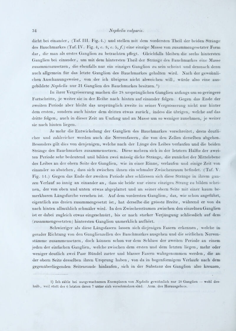 dicht bei einander, (Taf. III. Fig. 4.) und stellen mit dem vordersten Theil der beiden Stränge des Bauchmarkes (Taf. IV. Fig. 4, c. 8, c. 5,f.) eine einzige Masse von zusammengesetzter Form dar, die man als erstes Ganglion zu betrachten pflegt. Gleichfalls bleiben die sechs hintersten Ganglien bei einander, um mit dem hintersten Theil der Stränge des Bauchmarkes eine Masse zusammenzusetzen, die ebenfalls nur ein einziges Ganglion zu sein scheint und demnach denn auch allgemein für das letzte Ganglion des Bauchmarkes gehalten wird. Nach der gewöhnli- chen Anschauungsweise, von der ich übrigens nicht abweichen will, würde also eine aus- gebildete Nephelis nur 21 Ganglien des Bauchmarkes besitzen.!) In ihrer Yergrösserung machen die 28 ursprünglichen Ganglien anfangs um so geringere Fortschritte, je weiter sie in der Reihe nach hinten auf einander folgen. Gegen das Ende der zweiten Periode aber bleibt das ursprünglich zweite in seiner Yergrösserung nicht nur hinter dem ersten, sondern auch hinter dem dritten etwas zurück, indess die übrigen, welche auf das dritte folgen, auch in dieser Zeit an Umfang und an Masse um so weniger zunehmen, je weiter sie nach hinten liegen. Je mehr die Entwickelung der Ganglien des Bauchmarkes vorschreitet, desto deutli- cher und zahlreicher werden auch die Nervenfasern, die von den Zellen derselben abgehen. Besonders gilt dies von denjenigen, welche nach der Länge des Leibes verlaufen und die beiden Stränge des Bauchmarkes zusammensetzen. Diese mehren sich in der letztem Hälfte der zwei- ten Periode sehr bedeutend und bilden zwei mässig dicke Stränge, die zunächst der Mittelebene des Leibes an der obern Seite der Ganglien, wie in einer Rinne, verlaufen und einige Zeit von einander so abstehen, dass sich zwischen ihnen ein schmaler Zwischenraum befindet. (Taf. V. Fig. 14.) Gegen das Ende der zweiten Periode aber schliessen sich diese Stränge in ihrem gan- zen Verlauf so innig an einander an, dass sie beide nur einen einzigen Strang zu bilden schei- nen, der von oben und unten etwas abgeplattet und an seiner obern Seite mit einer kaum be- merkbaren Längsfurche versehen ist. Auf dem vordersten Ganglion, das, wie schon angeführt, eigentlich aus dreien zusammengesetzt ist, hat derselbe die grösste Breite, während er von da nach hinten allmählich schmäler wird. In den Zwischenräumen zwischen den einzelnen Ganglien ist er dabei zugleich etwas eingeschnürt, bis er nach starker Verjüngung schliesslich auf dem (zusammengesetzten) hintersten Ganglion unmerklich aufhört. Schwieriger als diese Längsfasern lassen sich diejenigen Fasern erkennen, welche in gerader Richtung von den Ganglienzellen des Bauchmarkes ausgehen und die seitlichen Nerven- stämme zusammensetzen, doch können schon vor dem Schluss der zweiten Periode an einem jeden der einfachen Ganglien, welche zwischen dem ersten und dem letzten liegen, mehr oder weniger deutlich zwei Paar Bündel zarter und blasser Fasern wahrgenommen werden, die an der obern Seite desselben ihren Ursprung haben, von da in bogenförmigem Verlaufe nach dem gegenüberliegenden Seitenrande hinlaufen, sich in der Substanz des Ganglion also kreuzen. 1) Ich zähle bei ausgewachsenen Exemplaren von Nephelis gewöhnlich nur 20 Ganglien — wohl des- halb, weil statt der 6 letzten deren 7 unter sich verschmolzen sind. Anm. des Herausgebers.