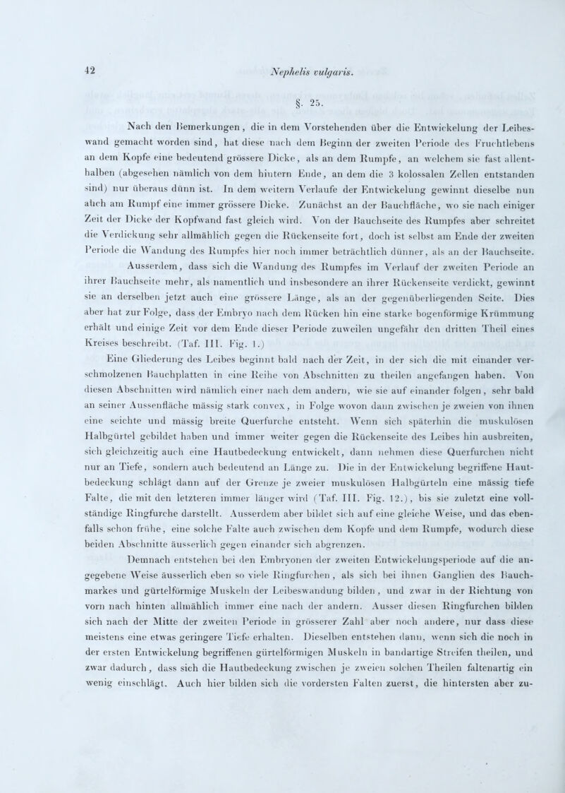 §. 25. Nach den Bemerkungen, die in dem Vorstehenden über die Entwickelung der Leibes- wand gemacht worden sind, hat diese nach dem Beginn der zweiten Periode des Fruchtlebens an dem Kopfe eine bedeutend grössere Dicke, als an dem Rumpfe, an welchem sie fast allent- halben (abgesehen nämlich von dem hintern Ende, an dem die 3 kolossalen Zellen entstanden sind) nur überaus dünn ist. In dem weitern Verlaufe der Entwickelung gewinnt dieselbe nun ahch am Rumpf eine immer grössere Dicke. Zunächst an der Bauchfläche, wo sie nach einiger Zeit der Dicke der Kopfwand fast gleich wird. Von der Bauchseite des Rumpfes aber schreitet die Verdickung sehr allmählich gegen die Rückenseite fort, doch ist selbst am Ende der zweiten Periode die Wandung des Rumpfes hier noch immer beträchtlich dünner, als an der Bauchseite. Ausserdem, dass sich die Wandung des Rumpfes im Verlauf der zweiten Periode an ihrer Bauchseite mehr, als namentlich und insbesondere an ihrer Rückenseite verdickt, gewinnt sie an derselben jetzt auch eine grössere Länge, als an der gegenüberliegenden Seite. Dies aber hat zur Folge, dass der Embryo nach dem Rücken hin eine starke bogenförmige Krümmung erhält und einige Zeit vor dem Ende dieser Periode zuweilen ungefähr den dritten Theil eines Kreises beschreibt. (Taf. III. Fig. 1.) Eine Gliederung des Leibes beginnt bald nach der Zeit, in der sich die mit einander ver- schmolzenen Bauchplatten in eine Reihe von Abschnitten zu theilen angefangen haben. Von diesen Abschnitten wird nämlich einer nach dem andern, wie sie auf einander folgen, sehr bald an seiner Aussenfläche mässig stark convex, in Folge wovon dann zwischen je zweien von ihnen eine seichte und mässig breite Querfurche entsteht. Wenn sich späterhin die muskulösen Halbgürtel gebildet haben und immer weiter gegen die Rückenseite des Leibes hin ausbreiten, sich gleichzeitig auch eine Hautbedeckung entwickelt, dann nehmen diese Querfurchen nicht nur an Tiefe, sondern auch bedeutend an Länge zu. Die in der Entwickelung begriffene Haut- bedeckung schlägt dann auf der Grenze je zweier muskulösen Halbgürteln eine mässig tiefe Falte, die mit den letzteren immer länger wird (Taf. III. Fig. 12.), bis sie zuletzt eine voll- ständige Ringfurche darstellt. Ausserdem aber bildet sich auf eine gleiche Weise, und das eben- falls schon frühe, eine solche Falte auch zwischen dem Kopfe und dem Rumpfe, wodurch diese beiden Abschnitte äusserlich gegen einander sich abgrenzen. Demnach entstehen bei den Embryonen der zweiten Entwickelungsperiode auf die an- gegebene Weise äusserlich eben so viele Ringfurchen , als sich bei ihnen Ganglien des Bauch- markes und gürtelförmige Muskeln der Leibeswandung bilden, und zwar in der Richtung von vorn nach hinten allmählich immer eine nach der andern. Ausser diesen Ringfurchen bilden sich nach der Mitte der zweiten Periode in grösserer Zahl aber noch andere, nur dass diese meistens eine etwas geringere Tiefe erhalten. Dieselben entstehen dann, wenn sich die noch in der ersten Entwickelung begriffenen gürtelförmigen Muskeln in bandartige Streifen theilen, und zwar dadurch, dass sich die Hautbedeckung zwischen je zweien solchen Theilen faltenartig ein wenig einschlägt. Auch hier bilden sich die vordersten Falten zuerst , die hintersten aber zu-