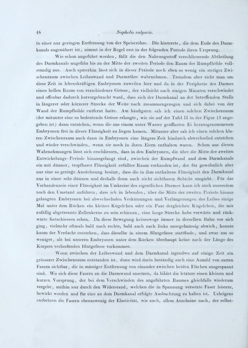 in einer nur geringen Entfernung von der Speiseröhre. Die hinterste, die dem Ende des Darm- kanals angenähert ist, nimmt in der Regel erst in der folgenden Periode ihren Ursprung. W ie schon angeführt worden, füllt die den Nahrungsstoff verschliessende Abtheilung des Darmkanals ungefähr bis zu der Mitte der zweiten Periode den Raum der Rumpfhöhle voll- ständig aus. Auch späterhin lässt sich in dieser Periode noch eben so wenig ein stetiger Zwi- schenraum zwischen Leibeswand und Darmröhre wahrnehmen. Trotzdem aber sieht man um diese Zeit in lebenskräftigen Embryonen zuweilen hier und da in der Peripherie des Darmes einen hellen Raum von verschiedener Grösse, der vielleicht nach einigen Minuten verschwindet und offenbar dadurch hervorgebracht ward, dass sich der Darmkanal an der betreffenden Stelle in längerer oder kürzerer Strecke der Weite nach zusammengezogen und sich dabei von der Wand der Rumpfhöhle entfernt hatte. Am häufigsten sah ich einen solchen Zwischenraum (der mitunter eine so bedeutende Grösse erlangte, wie sie auf der Tafel II in der Figur 12 ange- geben ist) dann entstehen, wenn die aus einem unter Wasser geöffneten Ei herausgenommenen Embryonen frei in dieser Flüssigkeit zu liegen kamen. Mitunter aber sah ich einen solchen kla- ren Zwischenraum auch dann in Embryonen eine längere Zeit hindurch abwechselnd entstehen und wieder verschwinden, wenn sie noch in ihren Eiern enthalten waren. Schon aus diesen Wahrnehmungen lässt sich erschliessen, dass in den Embryonen, die über die Mitte der zweiten Entwickelungs-Periode hinausgelangt sind, zwischen der Rumpfwand und dem Darmkanale ein mit dünner, tropfbarer Flüssigkeit erfüllter Raum vorhanden ist, der für gewöhnlich aber nur eine so geringe Ausdehnung besitzt, dass die in ihm enthaltene Flüssigkeit den Darmkanal nur in einer sehr dünnen und deshalb denn auch nicht sichtbaren Schicht umgiebt. Für das Vorhandensein einer Flüssigkeit im Umkreise des eigentlichen Darmes kann ich auch ausserdem noch den Umstand anführen, dass ich in lebenden, über die Mitte der zweiten Periode hinaus gelangten Embryonen bei abwechselnden Verkürzungen und Verlängerungen des Leibes einige Mal unter dem Rücken ein kleines Kügelchen oder ein Paar dergleichen Kügelchen, die mir zufällig abgetrennte Zellenkerne zu sein schienen, eine lange Strecke habe vorwärts und rück- wärts fortschiessen sehen. Da diese Bewegung keineswegs immer in derselben Bahn vor sich ging, vielmehr oftmals bald nach rechts, bald auch nach links unregelmässig abwich, konnte kaum der Verdacht entstehen, dass dieselbe in einem Blutgefässe stattfinde, und zwar um so weniger, als bei unseren Embryonen unter dem Rücken überhaupt keine nach der Länge des Körpers verlaufenden Blutgefässe Vorkommen. Wenn zwischen der Leibeswand und dem Darmkanal irgendwo auf einige Zeit ein grösserer Zwischenraum entstanden ist, dann wird darin beständig auch eine Anzahl von zarten F’asern sichtbar, die in mässiger Entfernung von einander zwischen beiden Flächen ausgespannt sind. Wo sich diese Fasern an die Darmwand ansetzen, da bildet die letztere einen kleinen und kurzen Vorsprung, der bei dem Verschwinden des angeführten Raumes gleichfalls wiederum vergeht, mithin nur durch den Widerstand, welchen die in Spannung versetzte Faser leistete, bewirkt worden und für eine an dem Darmkanal erfolgte Ausbuchtung zu halten ist. Uebrigens entbehren die Fasern ebensowenig der Elasticität, wie auch, allem Anscheine nach, der selbst-
