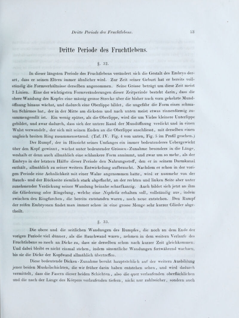 Dritte Periode des Fruclitlebens. §• 32. In dieser längsten Periode des Fruchtlebens verändert sich die Gestalt des Embryo der- art, dass er seinen Eltern immer ähnlicher wird. Zur Zeit seiner Geburt hat er bereits voll- ständig die Formverhältnisse derselben angenommen. Seine Grösse beträgt um diese Zeit meist 2 Linien. Eine der wichtigsten Formveränderungen dieser Zeitperiode besteht darin, dass die obere Wandung des Kopfes eine mässig grosse Strecke über die bisher nach vorn gekehrte Mund- öffhung hinaus wächst, und dadurch eine Oberlippe bildet, die ungefähr die Form eines schma- len Schirmes hat, der in der Mitte am dicksten und nach unten meist etwas rinnenförmig zu- sammengerollt ist. Ein wenig später, als die Oberlippe, wird die um Vieles kleinere Unterlippe gebildet, und zwar dadurch, dass sich der untere Rand der Mundöffnung verdickt und in einen Wulst verwandelt, der sich mit seinen Enden an die Oberlippe anschliesst, mit derselben einen ungleich breiten Ring zusammensetzend. (Taf. IV. Fig. 4 von unten, Fig. 5 im Profil gesehen.) Der Rumpf, der in Hinsicht seines Umfanges ein immer bedeutenderes Uebergewicht über den Kopf gewinnt, wächst unter bedeutender Grössen - Zunahme besonders in die Länge, weshalb er denn auch allmählich eine schlankere Form annimmt, und zwar um so mehr, als der Embryo in der letztem Hälfte dieser Periode den Nahrungsstoff, den er in seinem Darmkanal enthält, allmählich zu seiner weitern Entwickelung aufbraucht. Nachdem er schon in der vori- gen Periode eine Aehnlichkeit mit einer Walze angenommen hatte, wird er nunmehr von der Hauch- und der Rückseite ziemlich stark abgeflacht, an der rechten und linken Seite aber unter zunehmender Verdickung seiner Wandung beinahe scharfkantig. Auch bildet sich jetzt an ihm die Gliederung oder Ringelung, welche eine Nephelis erhalten soll, vollständig aus, indem zwischen den Ringfurchen, die bereits entstanden waren, noch neue entstehen. Den Rumpf der reifen Embryonen findet man immer schon in eine grosse Menge sehr kurzer Glieder abge- theilt. §. 33. Die obere und die seitlichen Wandungen des Rumpfes, die noch an dem Ende der vorigen Periode viel dünner, als die Hauchwand waren, nehmen in dem weitern Verlaufe des Fruchtlebens so rasch an Dicke zu, dass sie derselben schon nach kurzer Zeit gleichkominen. Und dabei bleibt es nicht einmal stehen, indem sämmtliche Wandungen fortwährend wachsen, bis sie die Dicke der Kopfwand allmählich übevtreffen. Diese bedeutende Dicken - Zunahme beruht hauptsächlich auf der weitern Ausbildung jener beiden Muskelschichten, die wir früher darin haben entstehen sehen, und wird dadurch vermittelt, dass die Fasern dieser beiden Schichten, also die quer verlaufenden oberflächlichen und die nach der Länge des Körpers verlaufenden tiefem, nicht nur zahlreicher, sondern auch