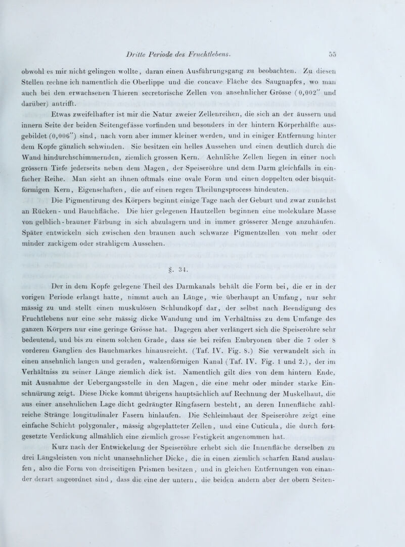 obwohl es mir nicht gelingen wollte, daran einen Ausführungsgang zu beobachten. Zu diesen Stellen rechne ich namentlich die Oberlippe und die concave Fläche des Saugnapfes, wo man auch bei den erwachsenen Thieren secretorische Zellen von ansehnlicher Grösse (0,002 und darüber) an trifft. Etwas zweifelhafter ist mir die Natur zweier Zellenreihen, die sich an der äussern und innern Seite der beiden Seitengefässe vorfinden und besonders in der hintern Körperhälfte aus- gebildet (0,006) sind, nach vorn aber immer kleiner werden, und in einiger Entfernung hinter dem Kopfe gänzlich schwinden. Sie besitzen ein helles Aussehen und einen deutlich durch die Wand hindurchschimmernden, ziemlich grossen Kern. Aehnliche Zellen liegen in einer noch grossem Tiefe jederseits neben dem Magen, der Speiseröhre und dem Darm gleichfalls in ein- facher Reihe. Man sieht an ihnen oftmals eine ovale Form und einen doppelten oder bisquit- förmigen Kern, Eigenschaften, die auf einen regen Theilungsprocess hindeuten. Die Pigmentirung des Körpers beginnt einige Tage nach der Geburt und zwar zunächst an Rücken - und Bauchfläche. Die hier gelegenen Flautzellen beginnen eine molekulare Masse von gelblich-brauner Färbung in sich abzulagern und in immer grösserer Menge anzuhäufen. Später entwickeln sich zwischen den braunen auch schwarze Pigmentzellen von mehr oder minder zackigem oder strahligem Aussehen. §. 34. Der in dem Kopfe gelegene Theil des Darmkanals behält die Form bei, die er in der vorigen Periode erlangt hatte, nimmt auch an Länge, wie überhaupt an Umfang, nur sehr mässig zu und stellt einen muskulösen Schlundkopf dar, der selbst nach Beendigung des Fruchtlebens nur eine sehr mässig dicke Wandung und im Verhältniss zu dem Umfange des ganzen Körpers nur eine geringe Grösse hat. Dagegen aber verlängert sich die Speiseröhre sehr bedeutend, und bis zu einem solchen Grade, dass sie bei reifen Embryonen über die 7 oder 8 vorderen Ganglien des Bauchmarkes hinausreicht. (Taf. IV. Fig. 8.) Sie verwandelt sich in einen ansehnlich langen und geraden, walzenförmigen Kanal (Taf. IV. Fig. 1 und 2.), der im Verhältniss zu seiner Länge ziemlich dick ist. Namentlich gilt dies von dem hintern Ende, mit Ausnahme der Uebergangsstelle in den Magen, die eine mehr oder minder starke Ein- schnürung zeigt. Diese Dicke kommt übrigens hauptsächlich auf Rechnung der Muskelhaut, die aus einer ansehnlichen Lage dicht gedrängter Ringfasern besteht, an deren Innenfläche zahl- reiche Stränge longitudinaler Fasern hinlaufen. Die Schleimhaut der Speiseröhre zeigt eine einfache Schicht polygonaler, mässig abgeplatteter Zellen, und eine Cuticula, die durch fort- gesetzte Verdickung allmählich eine ziemlich grosse Festigkeit angenommen hat. Kurz nach der Entwickelung der Speiseröhre erhebt sich die Innenfläche derselben zu drei Längsleisten von nicht unansehnlicher Dicke, die in einen ziemlich scharfen Rand auslau- fen, also die Form von dreiseitigen Prismen besitzen, und in gleichen Entfernungen von einan- der derart angeordnet sind, dass die eine der untern. die beiden andern aber der obern Seiten-