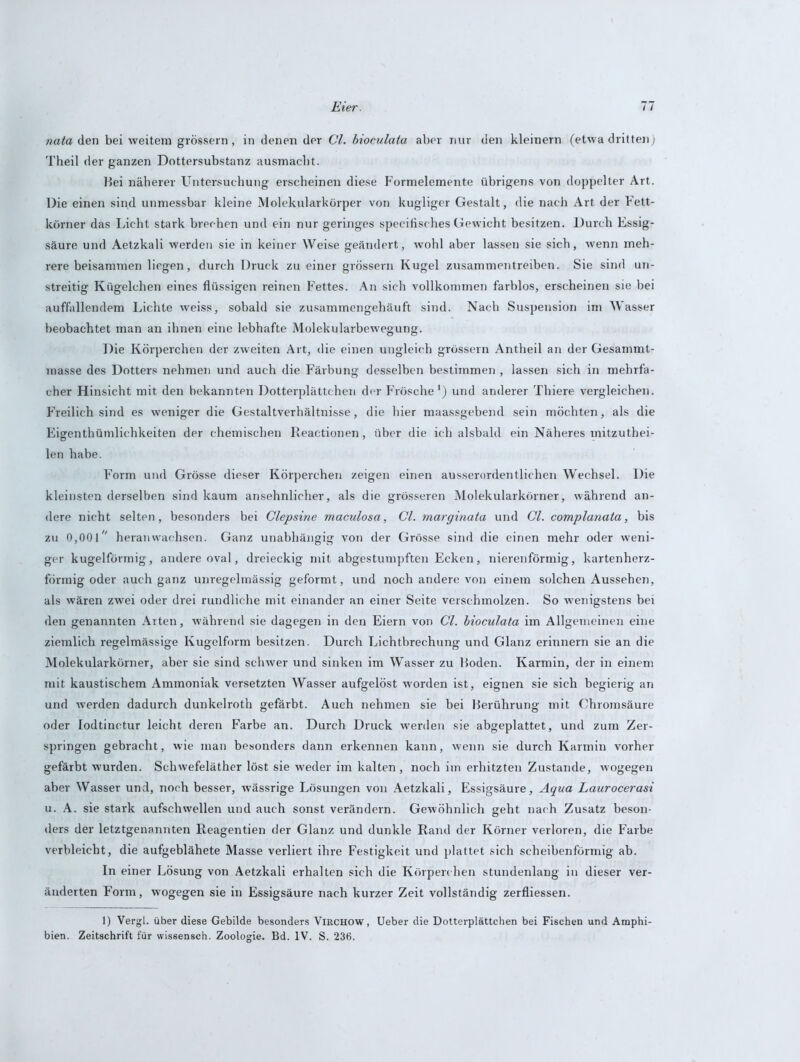 nata den bei weitem grossem, in denen der CI. bioculata aber nur den kleinern (etwa dritten; Theil der ganzen Dottersubstanz ausmacht. Bei näherer Untersuchung erscheinen diese Formelemente übrigens von doppelter Art. Die einen sind unmessbar kleine Molekularkörper von kugliger Gestalt, die nach Art der F'ett- körner das Licht stark brechen und ein nur geringes specifisches Gewicht besitzen. Durch Essig- säure und Aetzkali werden sie in keiner Weise geändert, wohl aber lassen sie sich, wenn meh- rere beisammen liegen, durch Druck zu einer grossem Kugel zusammentreiben. Sie sind un- streitig Kügelchen eines flüssigen reinen Fettes. An sich vollkommen farblos, erscheinen sie bei auffallendem Lichte weiss, sobald sie zusammengehäuft sind. Nach Suspension im Wasser beobachtet man an ihnen eine lebhafte Molekularbewegung. Die Körperchen der zweiten Art, die einen ungleich grossem Antheil an der Gesammt- masse des Dotters nehmen und auch die Färbung desselben bestimmen , lassen sich in mehrfa- cher Hinsicht mit den bekannten Dotterplättchen der Frösche1) und anderer Thiere vergleichen. Freilich sind es weniger die Gestaltverhältnisse, die hier maassgebend sein möchten, als die Eigenthümlichkeiten der chemischen Reactionen, über die ich alsbald ein Näheres mitzuthei- len habe. F’orm und Grösse dieser Körperchen zeigen einen ausserordentlichen Wechsel. Die kleinsten derselben sind kaum ansehnlicher, als die grösseren Molekularkörner, während an- dere nicht selten, besonders bei Clepsine maculosa, CI. marginata und CI. complanata, bis zu 0,001,/ heran wachsen. Ganz unabhängig von der Grösse sind die einen mehr oder weni- ger kugelförmig, andere oval, dreieckig mit abgestumpften Ecken, nierenförmig, kartenherz- förmig oder auch ganz unregelmässig geformt, und noch andere von einem solchen Aussehen, als wären zwei oder drei rundliche mit einander an einer Seite verschmolzen. So wenigstens bei den genannten Arten, während sie dagegen in den Eiern von CI. bioculata im Allgemeinen eine ziemlich regelmässige Kugelform besitzen. Durch Lichtbrechung und Glanz erinnern sie an die Molekularkörner, aber sie sind schwer und sinken im Wasser zu Boden. Karmin, der in einem mit kaustischem Ammoniak versetzten Wasser aufgelöst worden ist, eignen sie sich begierig an und werden dadurch dunkelroth gefärbt. Auch nehmen sie bei Berührung mit Chromsäure oder lodtinctur leicht deren Farbe an. Durch Druck werden sie abgeplattet, und zum Zer- springen gebracht, wie man besonders dann erkennen kann, wenn sie durch Karmin vorher gefärbt wurden. Schwefeläther löst sie weder im kalten, noch im erhitzten Zustande, wogegen aber Wasser und, noch besser, wässrige Lösungen von Aetzkali, Essigsäure, Aqua Laurocerasi u. A. sie stark aufschwellen und auch sonst verändern. Gewöhnlich geht nach Zusatz beson- ders der letztgenannten Reagentien der Glanz und dunkle Rand der Körner verloren, die Farbe verbleicht, die aufgeblähete Masse verliert ihre Festigkeit und plattet sich scheibenförmig ab. In einer Lösung von Aetzkali erhalten sich die Körperchen stundenlang in dieser ver- änderten Form, wogegen sie in Essigsäure nach kurzer Zeit vollständig zerfliessen. 1) Vergl. über diese Gebilde besonders Virchow, Ueber die Dotterplättchen bei Fischen und Amphi-