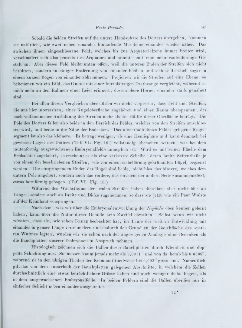 Sobald die beiden Streifen auf die untere Hemisphäre des Dotters übergehen, kommen sie natürlich, wie zwei neben einander hinlaufende Meridiane einander wieder näher. Das zwischen ihnen eingeschlossene Feld, welches bis zur Aequatorialzone immer breiter wird, verschmälert sich also jenseits des Aequators und nimmt somit eine mehr rautenförmige Ge- stalt an. Aber dieses Feld bleibt unten offen, weil die unteren Enden der Streifen sich nicht berühren, sondern in einiger Entfernung von einander bleihen und sich schliesslich sogar in einem kurzen Bogen von einander abkrümmen. Projiciren wir die Streifen auf eine Ebene, so bekommen wir ein Bild, das Grube mit einer kurzblättrigen Drathzange vergleicht, während es mich mehr an den Rahmen einer Leier erinnert, dessen obere Hörner einander stark genähert sind. Bei allen diesen Vergleichen aber dürfen wir nicht vergessen, dass Feld und Streifen, die uns hier interessiren, einer Kugeloberfläche angehören und einen Raum überspannen, der nach vollkommener Ausbildung der Streifen mehr als die Hälfte dieser Oberfläche beträgt. Die Pole des Dotters fallen also beide in den Bereich des Feldes, welches von den Streifen umschlos- sen wird, und beide in die Nähe der Endecken. Das ausserhalb dieses Feldes gelegene Kugel- segment ist also das kleinere. Es beträgt weniger, als eine Hemisphäre und kann demnach bei gewissen Lagen des Dotters (Taf. VI. Fig. 16.) vollständig übersehen werden, w'as bei dem rautenförmig ausgewachsenen Embryonalfelde unmöglich ist. Wird es mit seiner Fläche dem Beobachter zugekehrt, so erscheint es als eine verkürzte Scheibe, deren breite Seitentheile je von einem der beschriebenen Streifen, wie von einem sichelförmig gekrümmten Bügel, begrenzt werden. Die einspringenden Enden der Bügel sind beide, nicht blos das hintere, welches dem untern Pole angehört, sondern auch das vordere, das mit dem der andern Seite zusammenstösst, etwas hornförmig gebogen. (Taf. VI. Fig. 16.) Während des Wachsthums der beiden Streifen haben dieselben aber nicht blos an Länge, sondern auch an Breite und Dicke zugenommen, so dass sie jetzt wie ein Paar Wülste auf der Keimhaut vorspringen. Nach dem, was wir über die Embryonalentwicklung der Nephelis oben kennen gelernt haben, kann über die Natur dieser Gebilde kein Zweifel obwalten. Selbst w'cnn wir nicht wüssten, dass sie, wie schon Grube beobachtet hat, im Laufe der weitem Entwicklung mit einander in ganzer Länge verschmelzen und dadurch den Grund zu der Bauchfläche des späte- ren Wurmes legten, würden wir sie schon nach der angezogenen Analogie ohne Bedenken als die Bauchplatten unserer Embryonen in Anspruch nehmen. Histologisch zeichnen sich die Ballen dieser Bauchplatten durch Kleinheit und dop- pelte Schichtung aus. Sie messen kaum jemals mehr als 0,0011' und von da herab bis 0,0008, während sie in den übrigen Theilen der Keimhaut theilweise bis 0,002 gross sind. Namentlich gilt das von dem ausserhalb der Bauchplatten gelegenen Abschnitte, in welchem die Zellen durchschnittlich eine etwas beträchtlichere Grösse haben und auch weniger dicht liegen, als in dem ausgewachsenen Embryonalfelde. In beiden Feldern sind die Ballen überdies nur in einfacher Schicht neben einander ausgebreitet. 12