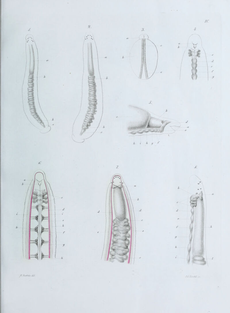 ir.JtaiJilu . J.C.Loede? jc