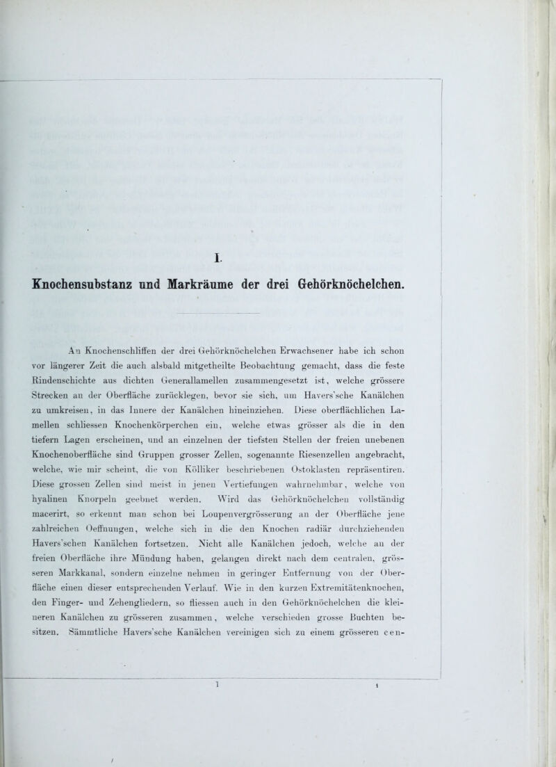 Knochensubstanz und Markräume der drei Gehörknöchelchen. An Knochen schliffen der drei Gehörknöchelchen Erwachsener habe ich schon vor längerer Zeit die auch alsbald mitgetheilte Beobachtung gemacht, dass die feste Rindenschichte aus dichten Generallamellen zusammengesetzt ist, welche grössere Strecken au der Oberfläche zurücklegen, bevor sie sich, um Havers'sche Kanälchen zu umkreisen, in das Innere der Kanälchen hineinziehen. Diese oberflächlichen La- mellen schliessen Knochenkörperehen ein, welche etwas grösser als die in den tiefern Lagen erscheinen, und an einzelnen der tiefsten Stellen der freien unebenen Knochenoberfläche sind Gruppen grosser Zellen, sogenannte Riesenzellen angebracht, welche, wie mir scheint, die von Kölliker beschriebenen Ostoklasten repräsentiren. Diese grossen Zellen sind meist in jenen Vertiefungen wahrnehmbar, welche von hyalinen Knorpeln geebnet werden. Wird das Gehörknöchelchen vollständig macerirt, so erkennt man schon bei Loupenvergrösserung an der Oberfläche jene zahlreichen Oeffhungen, welche sich in die den Knochen radiär durchziehenden Havers'schen Kanälchen fortsetzen. Nicht alle Kanälchen jedoch, welche au der freien Oberfläche ihre Mündung haben, gelangen direkt nach dem centralen, grös- seren Markkanal, sondern einzelne nehmen in geringer Entfernung von der Ober- fläche eineu dieser entsprechenden Verlauf. Wie in den kurzeu Extremitätenknocheu, den Finger- und Zehengliedern, so fliessen auch iu den Gehörknöchelchen die klei- neren Kanälchen zu grösseren zusammen, welche verschieden grosse Buchten be- sitzen. Sämmtliche Havers'sche Kanälchen vereinigen sich zu einem grösseren cen- 1 i /