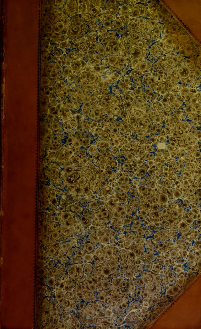 No text description is available for this image