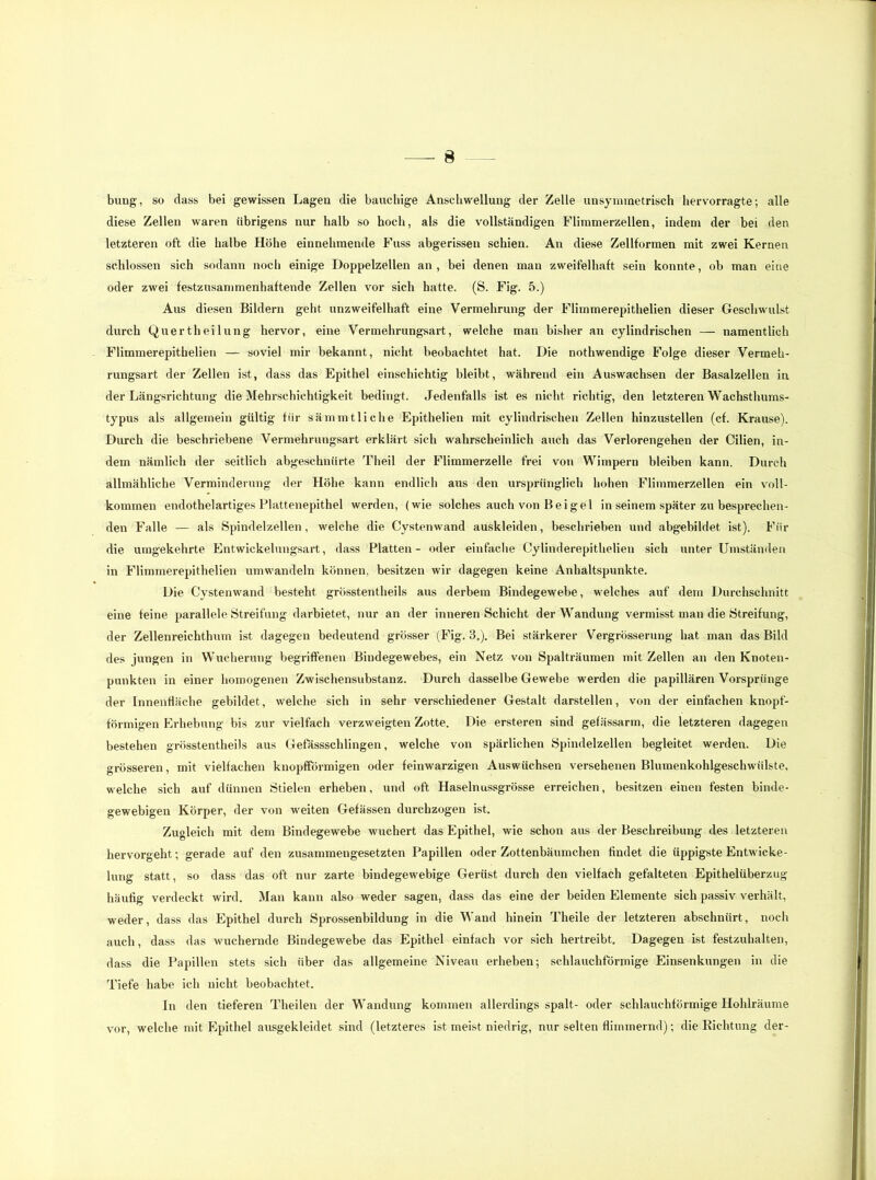 bung, so dass bei gewissen Lagen die bauchige Anschwellung der Zelle unsymmetrisch hervorragte; alle diese Zellen waren übrigens nur halb so hoch, als die vollständigen Flimmerzellen, indem der bei den letzteren oft die halbe Höhe einnehmende Fuss abgerissen schien. An diese Zellformen mit zwei Kernen schlossen sich sodann noch einige Doppelzellen an , bei denen man zweifelhaft sein konnte, ob man eine oder zwei festzusammenhaftende Zellen vor sich hatte. (S. Fig. 5.) Aus diesen Bildern geht unzweifelhaft eine Vermehrung der Flimmerepithelien dieser Geschwulst durch Quertheilung hervor, eine Vermehrungsart, welche man bisher an cylindrischen — namentlich Flimmerepithelien — soviel mir bekannt, nicht beobachtet hat. Die nothwendige Folge dieser Vermeh- rungsart der Zellen ist, dass das Epithel einschichtig bleibt, während ein Auswachsen der Basalzellen in der Längsrichtung die Mehrschichtigkeit bedingt. Jedenfalls ist es nicht richtig, den letzteren Wachsthums- typus als allgemein gültig für sämmtliche Epithelien mit cylindrischen Zellen hinzustellen (cf. Krause). Durch die beschriebene Vermehrungsart erklärt sich wahrscheinlich auch das Verlorengehen der Cilien, in- dem nämlich der seitlich abgeschnürte Theil der Flimmerzelle frei von Wimpern bleiben kann. Durch allmähliche Verminderung der Höhe kann endlich aus den ursprünglich hohen Flimmerzellen ein voll- kommen endothelartiges Plattenepithel werden, (wie solches auch von B ei gel in seinem später zu besprechen- den Falle — als Spindelzellen, welche die Cystenwand auskleiden, beschrieben und abgebildet ist). Für die umgekehrte Entwickelungsart, dass Platten- oder einfache Cylinderepithelien sich unter Umständen in Flimmerepithelien umwandeln können, besitzen wir dagegen keine Anhaltspunkte. Die Cystenwand besteht grösstentheils aus derbem Bindegewebe, welches auf dem Durchschnitt eine feine parallele Streifung darbietet, nur an der inneren Schicht der Wandung vermisst man die Streifung, der Zellenreichthum ist dagegen bedeutend grösser (Fig. 3,). Bei stärkerer Vergrösserung hat man das Bild des jungen in Wucherung begriffenen Bindegewebes, ein Netz von Spalträumen mit Zellen an den Knoten- punkten in einer homogenen Zwischensubstanz. Durch dasselbe Gewebe werden die papillären Vorsprünge der Innenfläche gebildet, welche sich in sehr verschiedener Gestalt darstellen, von der einfachen knopf- förmigen Erhebung bis zur vielfach verzweigten Zotte. Die ersteren sind gefässarm, die letzteren dagegen bestehen grösstentheils aus Gefässschlingen, welche von spärlichen Spindelzellen begleitet werden. Die grösseren, mit vielfachen knopfförmigen oder feinwarzigen Auswüchsen versehenen Blumenkohlgeschwülste, welche sich auf dünnen Stielen erheben, und oft Haselnussgrösse erreichen, besitzen einen festen binde- gewebigen Körper, der von weiten Gelassen durchzogen ist. Zugleich mit dem Bindegewebe wuchert das Epithel, wie schon aus der Beschreibung des letzteren hervorgeht; gerade auf den zusammengesetzten Papillen oder Zottenbäumchen findet die üppigste Entwicke- lung statt, so dass das oft nur zarte bindegewebige Gerüst durch den vielfach gefalteten Epithelüberzug häufig verdeckt wird. Man kann also weder sagen, dass das eine der beiden Elemente sich passiv verhält, weder, dass das Epithel durch Sprossenbildung in die Wand hinein Theile der letzteren abschnürt, noch auch, dass das wuchernde Bindegewebe das Epithel einfach vor sich hertreibt. Dagegen ist festzuhalten, dass die Papillen stets sich über das allgemeine Niveau erheben; schlauchförmige Einsenkungen in die Tiefe habe ich nicht beobachtet. In den tieferen Theileu der Wandung kommen allerdings spalt- oder schlauchförmige Hohlräume vor, welche mit Epithel ausgekleidet sind (letzteres ist meist niedrig, nur selten flimmernd); die Richtung der-