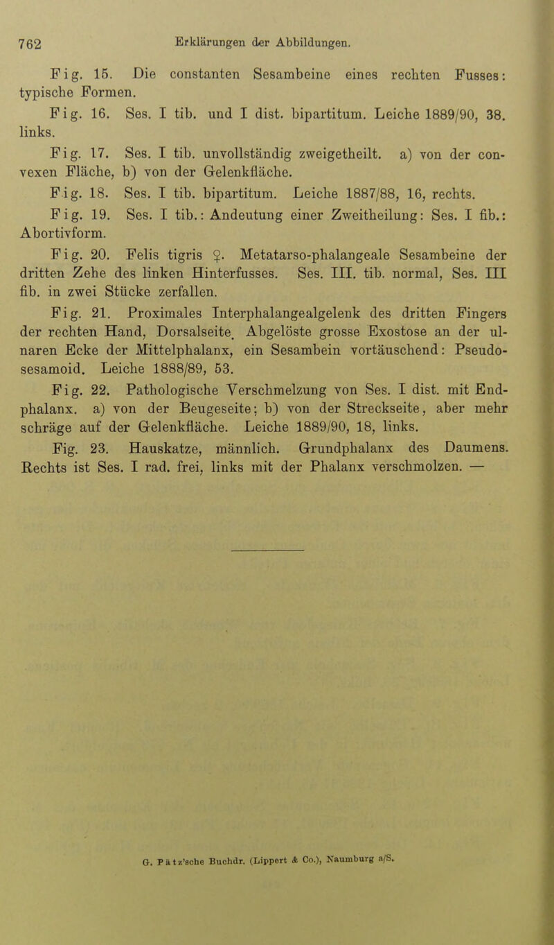 Fig. 15. Die constanten Sesambeine eines rechten Fusses: typische Formen. Fig. 16. Ses. I tib. und I dist. bipartitum. Leiche 1889/90, 38. links. Fig. 17. Ses. I tib. unvollständig zweigetheilt. a) von der con- vexen Fläche, b) von der Gelenkfläche. Fig. 18. Ses. I tib. bipartitum. Leiche 1887/88, 16, rechts. Fig. 19. Ses. I tib.: Andeutung einer Zweitheilung: Ses. I üb.: Abortivform. Fig. 20. Felis tigris Metatarso-phalangeale Sesambeine der dritten Zehe des linken Hinterfusses. Ses. III. tib. normal, Ses. III fib. in zwei Stücke zerfallen. Fig. 21. Proximales Interphalangealgelenk des dritten Fingers der rechten Hand, Dorsalseite. Abgelöste grosse Exostose an der ul- naren Ecke der Mittelphalanx, ein Sesambein vortäuschend: Pseudo- sesamoid. Leiche 1888/89, 53. Fig. 22. Pathologische Verschmelzung von Ses. I dist. mit End- phalanx, a) von der Beugeseite; b) von der Streckseite, aber mehr schräge auf der Gelenkfläche. Leiche 1889/90, 18, links. Fig. 23. Hauskatze, männlich. Grundphalanx des Daumens. Rechts ist Ses. I rad. frei, links mit der Phalanx verschmolzen. — O. Ptttz'Bche Buchdr. (Lippert 4 Co.), Naumburg a/S.