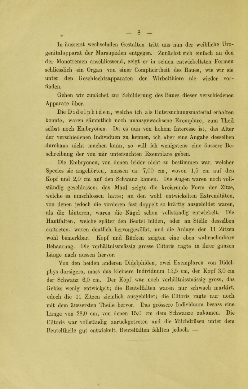In äiisserst wechselnden Gestalten tritt uns nun der weibliche Uro- genitalapparat der Marsupialen entgegen. Zunächst sich einfach an den der Monotremen anschliessend, zeigt er in seinen entwickeltsten Formen schliesslich ein Organ von einer Complicirtheit des Baues, wie wir sie unter den Geschlechtsapparaten der Wirbelthiere nie wieder vor- finden. Gehen wir zunächst zur Schilderung des Baues dieser verschiedenen Apparate über. Die Didelphiden, welche ich als Untersuchungsmaterial erhalten konnte, waren sämmtlich noch unausgewachsene Exemplare, zum Theil selbst noch Embryonen. Da es nun von hohem Interesse ist, das Alter der verschiedenen Individuen zu kennen, ich aber eine Angabe desselben durchaus nicht machen kann, so will ich wenigstens eine äussere Be- schreibung der von mir untersuchten Exemplare geben. Die Embryonen, von denen leider nicht zu bestimmen war, welcher Species sie angehörten, massen ca. 7,00 cm, wovon 1,5 cm auf den Kopf und 2,0 cm auf den Schwanz kamen. Die Augen waren noch voll- ständig geschlossen; das Maul zeigte die kreisrunde Form der Zitze, welche es umschlossen hatte; an den wohl entwickelten Extremitäten, von denen jedoch die vorderen fast doppelt so kräftig ausgebildet waren, als die hinteren, waren die Nägel schon vollständig entwickelt. Die Ilautfalten, welche später den Beutel bilden, oder an Stelle desselben auftreten, waren deutlich hervorgewölbt, und die Anlage der 11 Zitzen wohl bemerkbar. Kopf und Rücken zeigten eine eben wahrnehmbare Behaarung. Die verhältnissmässig grosse Clitoris ragte in ihrer ganzen Länge nach aussen hervor. Von den beiden anderen Didelphiden, zwei Exemplaren von Didel- phys dorsigera, mass das kleinere Individuum 15,5 cm, der Kopf 3,0 cm der Schwanz 6,0 cm. Der Kopf war noch verhältnissmässig gross, das Gebiss wenig entwickelt; die Beutelfalten waren nur schwach markirt, edoch die 11 Zitzen ziemlich ausgebildet; die Clitoris ragte nur noch mit dem äussersten Theile hervor. Das grössere Individuum besass eine Länge von 28,0 cm, von denen 15,0 cm dem Schwänze zukamen. Die Clitoris war vollständig zurückgetreten und die Milchdrüsen unter dem Beuteltheile gut entwickelt, Beutelfalten fehlten jedoch. —