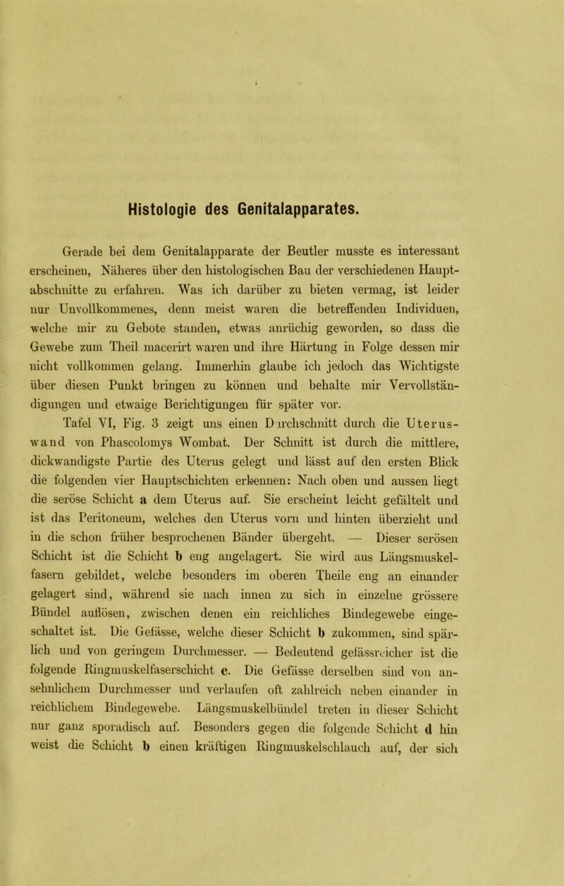 Histologie des Genitalapparates. Gerade bei dem Genitalapparate der Beutler musste es interessant erscheinen, Näheres über den histologischen Bau der verschiedenen Haupt- abschnitte zu erfahren. Was ich darüber zu bieten vermag, ist leider nur Unvollkommenes, denn meist waren die betreffenden Individuen, welche mir zu Gebote standen, etwas anrücliig geworden, so dass die Gewebe zum Theil inacerirt waren und ihre Härtung in Folge dessen mir nicht vollkommen gelang. Immerhin glaube ich jedoch das Wichtigste über diesen Punkt bringen zu können und behalte mir Vervollstän- digungen und etwaige Berichtigungen für später vor. Tafel VI, Fig. 3 zeigt uns einen Durchschnitt durch die Uterus- wand von Phascolomys Wombat. Der Schnitt ist durch die mittlere, dickwandigste Partie des Uterus gelegt und lässt auf den ersten Blick die folgenden vier Hauptschichten erkennen: Nach oben und aussen liegt die seröse Schicht a dem Uterus auf. Sie erscheint leicht gefältelt und ist das Peritoneum, welches den Uterus vom und hinten überzieht und in die schon früher besprochenen Bänder übergeht. — Dieser serösen Schicht ist die Schicht b eng angelagert. Sie wird aus Längsmiiskel- fasern gebildet, welche besonders im oberen Tbeile eng an einander gelagert sind, während sie nach innen zu sich in einzelne grössere Bündel auflösen, zwischen denen ein reichliches Bindegewebe einge- schaltet ist. Die Gefässe, welche dieser Schicht b zukommen, sind spär- lich und von geringem Durchmesser. — Bedeutend gefässreicher ist die folgende Eingmuskelfaserschicht c. Die Gefässe derselben sind von an- sehnlichem Durchmesser und verlaufen oft zahlreich neben einander in reichlichem Bindegewebe. Längsmuskelbündel treten in dieser Schicht nur ganz sporadisch auf. Besonders gegen die folgende Schicht d hin weist die Schicht b einen kräftigen Ringmuskelschlauch auf, der sich