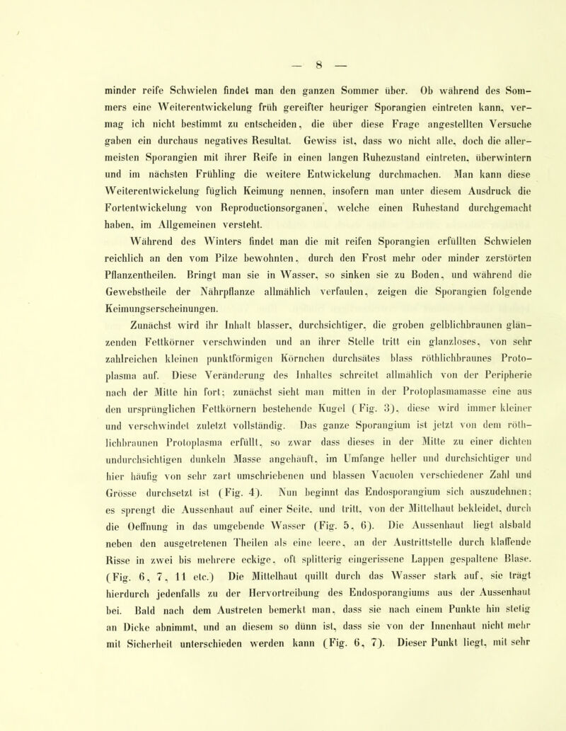 minder reife Schwielen findet man den ganzen Sommer über. Ob wahrend des Som- mers eine Weiterentwickelung früh gereifter heuriger Sporangien eintreten kann, ver- mag ich nicht bestimmt zu entscheiden, die über diese Frage angestellten Versuche gaben ein durchaus negatives Resultat. Gewiss ist, dass wo nicht alle, doch die aller- meisten Sporangien mit ihrer Reife in einen langen Ruhezustand eintreten, überwintern und im nächsten Frühling die weitere Entwicklung durchmachen. Man kann diese Weiterentwickelung füglich Keimung nennen, insofern man unter diesem Ausdruck die Fortentwickelung von Reproductionsorganen, welche einen Ruhestand durchgemacht haben, im Allgemeinen versteht. Während des Winters findet man die mit reifen Sporangien erfüllten Schwielen reichlich an den vom Pilze bewohnten, durch den Frost mehr oder minder zerstörten Pflanzentheilen. Bringt man sie in Wasser, so sinken sie zu Boden, und während die Gewebstheile der Nährpflanze allmählich verfaulen, zeigen die Sporangien folgende Keimungserscheinungen. Zunächst wird ihr Inhalt blasser, durchsichtiger, die groben gelblichbraunen glän- zenden Fettkörner verschwinden und an ihrer Stelle tritt ein glanzloses, von sehr zahlreichen kleinen punktförmigen Körnchen durchsätes blass röthlichbraunes Proto- plasma auf. Diese Veränderung des Inhaltes schreitet allmählich von der Peripherie nach der Mitte hin fort; zunächst sieht man mitten in der Protoplasmamasse eine aus den ursprünglichen Fettkörnern bestehende Kugel (Fig. 3), diese wird immer kleiner und verschwindet zuletzt vollständig. Das ganze Sporangium ist jetzt von dem rötii- Hellbraunen Protoplasma erfüllt, so zwar dass dieses in der Mitte zu einer dichten undurchsichtigen dunkeln Masse angehäuft, im Umfange heller und durchsichtiger und hier häufig von sehr zart umschriebenen und blassen Vacuolen verschiedener Zahl und Grösse durchsetzt ist (Fig. 4). Nun beginnt das Endosporangium sich auszudehnen; es sprengt die Aussenhaut auf einer Seite, und tritt, von der Mittelhaut bekleidet, durch die Oeffnung in das umgebende Wasser (Fig. 5, 6). Die Aussenhaut liegt alsbald neben den ausgetretenen Theilen als eine leere, an der Austrittstelle durch klaffende Risse in zwei bis mehrere eckige, oft splitterig eingerissene Lappen gespaltene Blase. (Fig. 6, 7, 11 etc.) Die Mittelhaut quillt durch das Wasser stark auf, sie trägt hierdurch jedenfalls zu der Hervortreibung des Endosporangiums aus der Aussenhaut bei. Bald nach dem Austreten bemerkt man, dass sie nach einem Punkte hin stetig an Dicke abnimmt, und an diesem so dünn ist, dass sie von der Innenhaut nicht mehr mit Sicherheit unterschieden werden kann (Fig. 6, 7). Dieser Punkt liegt, mit sehr