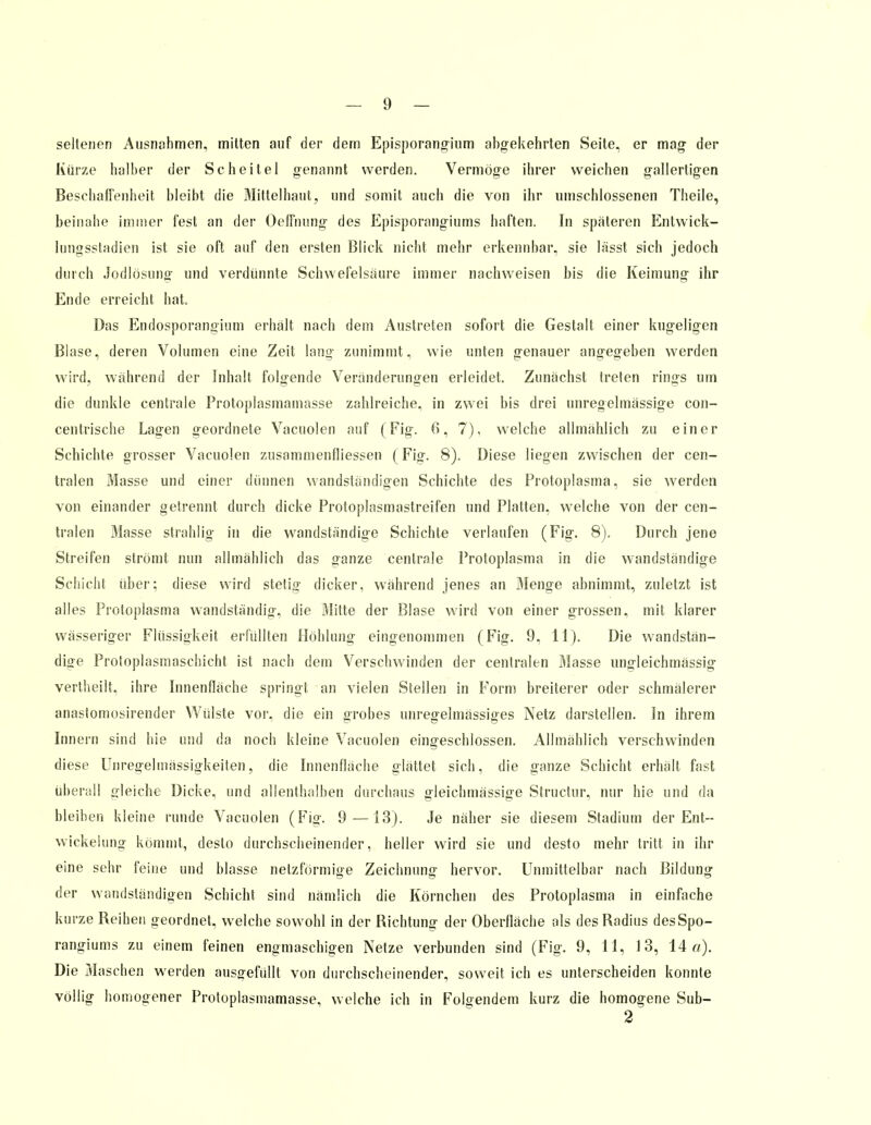 seltenen Ausnahmen, mitten auf der dem Episporangium abgekehrten Seite, er mag der Kürze halber der Scheitel genannt werden. Vermöge ihrer weichen gallertigen Beschaffenheit bleibt die Mittelhaut, und somit auch die von ihr umschlossenen Theile, beinahe immer lest an der Oeffnung des Episporangiums haften. In spateren Entwick- limgsstadien ist sie oft auf den ersten Blick nicht mehr erkennbar, sie lässt sich jedoch durch Jodlösuno- und verdünnte Schwefelsaure immer nachweisen bis die Keimung ihr Ende erreicht hat. Das Endosporangium erhalt nach dem Austreten sofort die Gestalt einer kugeligen Blase, deren Volumen eine Zeit lang zunimmt, wie unten genauer angegeben werden wird, während der Inhalt folgende Veränderungen erleidet. Zunächst treten rings um die dunkle centrale Protoplasmamasse zahlreiche, in zwei bis drei unregelmässige con- centrische Lagen geordnete Vacuolen auf (Fig. 6, 7), welche allmählich zu einer Schichte grosser Vacuolen zusammenfliessen ( Fig. 8). Diese liegen zwischen der cen- tralen Masse und einer dünnen wandständigen Schichte des Protoplasma, sie werden von einander getrennt durch dicke Protoplasmastreifen und Platten, welche von der cen- tralen Masse strahlig in die wandständige Schichte verlaufen (Fig. 8). Durch jene Streifen strömt nun allmählich das ganze centrale Protoplasma in die wandständige Schicht über; diese wird stetig dicker, während jenes an Menge abnimmt, zuletzt ist alles Protoplasma wandständig, die Mitte der Blase wird von einer grossen, mit klarer wässeriger Flüssigkeit erfüllten Höhlung eingenommen (Fig. 9, 11). Die wandstän- dige Protoplasmaschicht ist nach dem Verschwinden der centralen Blasse ungleichmässig vertheilt, ihre Innenfläche springt an vielen Stellen in Form breiterer oder schmälerer anastomosirender Wülste vor, die ein grobes unregelmässiges Netz darstellen. In ihrem Innern sind hie und da noch kleine Vacuolen eingeschlossen. Allmählich verschwinden diese Unregelmässigkeiten, die Innenfläche glättet sich, die ganze Schicht erhalt fast überall gleiche Dicke, und allenthalben durchaus gleichmässige Structur, nur hie und da bleiben kleine runde Vacuolen (Fig. 9—13). Je näher sie diesem Stadium der Ent- wickelung kömmt, desto durchscheinender, heller wird sie und desto mehr tritt in ihr eine sehr feine und blasse netzförmige Zeichnung hervor. Unmittelbar nach Bildung der wandständigen Schicht sind nämlich die Körnchen des Protoplasma in einfache kurze Reihen geordnet, welche sowohl in der Richtung der Oberfläche als des Radius desSpo- rangiums zu einem feinen engmaschigen Netze verbunden sind (Fig. 9, 11, 13, 14 a). Die Maschen werden ausgefüllt von durchscheinender, soweit ich es unterscheiden konnte völlig homogener Protoplasmamasse, welche ich in Folgendem kurz die homogene Sub- 2