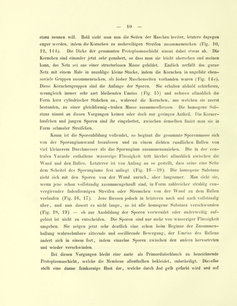 stanz nennen will. Bald sieht man nun die Seiten der Maschen breiter, letztere dagegen enger werden, indem die Körnchen zu mehrreihigen Streifen zusammenrücken (Fig. 10, 12, 14 6). Die Dicke der gesammten Protoplasmaschicht nimmt dabei etwas ab. Die Körnchen sind einander jetzt sehr genähert, so dass man sie leicht übersehen und meinen kann, das Netz sei aus einer structurlosen Masse gebildet. Endlich zerfällt das ganze Netz mit einem Male in unzählige kleine Stücke, indem die Körnchen in ungefähr eben- soviel Gruppen zusammenrücken, als bisher Maschenseiten vorhanden waren (Fig. 14c). Diese Körnchengruppen sind die Anfänge der Sporen. Sie erhalten alsbald schärferen, wenngleich immer sehr zart bleibenden Umriss (Fig. 15) und nehmen allmählich die Form kurz cylindrischer Stäbchen an, während die Körnchen, aus welchen sie zuerst bestanden, zu einer gleichförmig-trüben Masse zusammenfliessen. Die homogene Sub- stanz nimmt an diesen Vorgängen keinen oder doch nur geringen Antheil. Die Körner- häufchen und jungen Sporen sind ihr eingebettet, zwischen denselben findet man sie in Form schmaler Streifchen. Kaum ist die Sporenbildung vollendet, so beginnt, die gesammte Sporenmasse sich von der Sporangiumwand loszulösen und zu einem dichten rundlichen Ballen von viel kleinerem Durchmesser als das Sporangium zusammenzuziehen. Die in der cen- tralen Vacuole enthaltene wässerige Flüssigkeit tritt hierbei allmählich zwischen die Wand und den Ballen. Letzterer ist von Anfang an so gestellt, dass seine eine Seite dem Scheitel des Sporangiums fest anliegt (Fig. 16 — 19). Die homogene Substanz zieht sich mit den Sporen von der Wand zurück, aber langsamer. Man sieht sie, wenn jene schon vollständig zusammengehäuft sind, in Form zahlreicher strahlig con- vergirender fadenförmigen Streifen oder Strömchen von der Wand zu dem Ballen verlaufen (Fig. 16, 17). Jene fliessen jedoch in letzteren nach und nach vollständig über, und nun dauert es nicht lange, so ist alle homogene Substanz verschwunden (Fig. 18, 19) — ob zur Ausbildung der Sporen verwendet oder anderweitig auf- gelöst ist nicht zu entscheiden. Die Sporen sind nur mehr von wässeriger Flüssigkeit umgeben. Sie zeigen jetzt sehr deutlich eine schon beim Beginne der Zusammen- ballung wahrnehmbare zitternde und oscillirende Bewegung, der Umriss des Ballens ändert sich in einem fort, indem einzelne Sporen zwischen den andern hervortreten und wieder verschwinden. Bei diesen Vorgängen bleibt eine zarte als Primordialschlauch zu bezeichnende Protoplasmaschicht, welche die Membran allenthalben bekleidet, unbetheiligt. Dieselbe stellt eine dünne feinkörnige Haut dar, welche durch Jod gelb gefärbt wird und auf