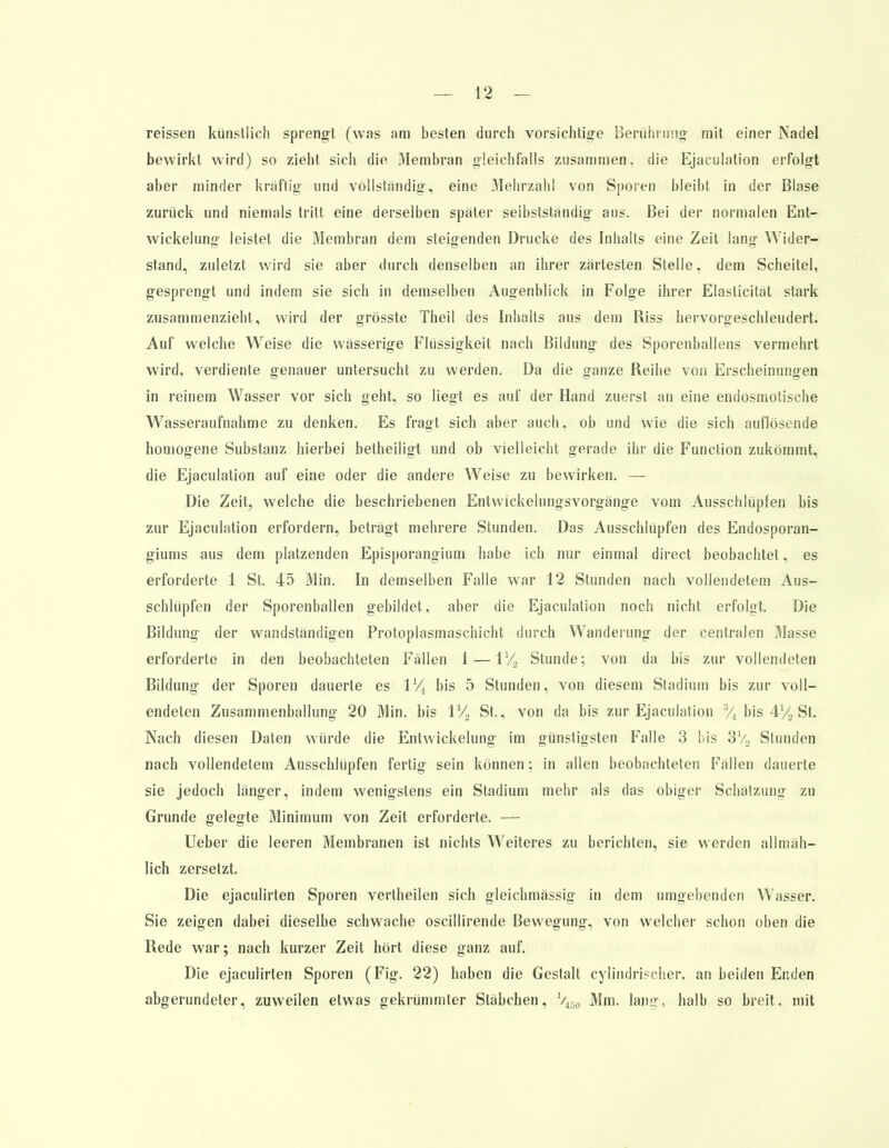 reissen künstlich sprengt (was am besten durch vorsichtige Berührung mit einer Nadel bewirkt wird) so zieht sich die Membran gleichfalls zusammen, die Ejaculalion erfolgt aber minder kraftig und vollständig, eine Mehrzahl von Sporen bleibt in der Blase zurück und niemals tritt eine derselben später seibstständig aus. Bei der normalen Ent- wickelung leistet die Membran dem steigenden Drucke des Inhalts eine Zeit lang Wider- stand, zuletzt wird sie aber durch denselben an ihrer zartesten Stelle, dem Scheitel, gesprengt und indem sie sich in demselben Augenblick in Folge ihrer Elaslicität stark zusammenzieht, wird der grösste Theil des Inhalts aus dem Riss hervorgeschleudert. Auf welche Weise die wässerige Flüssigkeit nach Bildung des Sporenballens vermehrt wird, verdiente genauer untersucht zu werden. Da die ganze Reihe von Erscheinungen in reinem Wasser vor sich geht, so liegt es auf der Hand zuerst an eine endosmotische Wasseraufnahme zu denken. Es fragt sich aber auch, ob und wie die sich auflösende homogene Substanz hierbei betheiligt und ob vielleicht gerade ihr die Function zukömmt, die Ejaculation auf eine oder die andere Weise zu bewirken. — Die Zeit, welche die beschriebenen Entwickelungsvorgänge vom Ausschlüpfen bis zur Ejaculation erfordern, beträgt mehrere Stunden. Das Ausschlüpfen des Endosporan- giums aus dem platzenden Episporangium habe ich nur einmal direct beobachtet, es erforderte 1 St. 45 Min. In demselben Falle war 12 Stunden nach vollendetem Aus- schlüpfen der Sporenballen gebildet, aber die Ejaculation noch nicht erfolgt. Die Bildung der wandständigen Protoplasmaschicht durch Wanderung der centralen Masse erforderte in den beobachteten Fällen 1 — V/-> Stunde; von da bis zur vollendeten Bildung der Sporen dauerte es 1% bis 5 Stunden, von diesem Stadium bis zur voll- endeten Zusammenballung 20 Min. bis \% St., von da bis zur Ejaculation % bis 4% St. Nach diesen Daten würde die Entwicklung im günstigsten Falle 3 bis 3V2 Stunden nach vollendetem Ausschlüpfen fertig sein können; in allen beobachteten Fällen dauerte sie jedoch länger, indem wenigstens ein Stadium mehr als das obiger Schätzuno- zu Grunde gelegte Minimum von Zeit erforderte. — Ueber die leeren Membranen ist nichts Weiteres zu berichten, sie werden allmäh- lich zersetzt. Die ejaculirten Sporen vertheilen sich gleichmässig in dem umgebenden Wasser. Sie zeigen dabei dieselbe schwache oscillirende Bewegung, von welcher schon oben die Rede war; nach kurzer Zeit hört diese ganz auf. Die ejaculirten Sporen (Fig. 22) haben die Gestalt cylindrischer, an beiden Enden abgerundeter, zuweilen etwas gekrümmter Stäbchen. l/m Mm. lang, halb so breit, mit