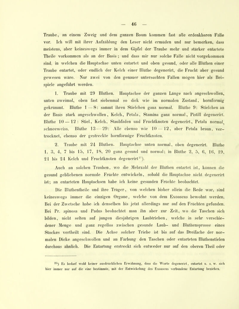 Traube, an einem Zweig und dem ganzen Baum kommen fast alle erdenkbaren Fälle vor. Ich will mit ihrer Aufzählung den Leser nicht ermüden und nur bemerken, dass meistens, aber keineswegs immer in dem Gipfel der Traube mehr und stärker entartete Theile vorkommen als an der Basis ; und dass mir nur solche Fälle nicht vorgekommen sind, in welchen die Hauptachse unten entartet und oben gesund, oder alle Blüthen einer Traube entartet, oder endlich der Kelch einer Blüthe degenerirt, die Frucht aber gesund gewesen wäre. Nur zwei von den genauer untersuchten Fällen mögen hier als Bei- spiele angeführt werden. 1. Traube mit 29 Blüthen. Hauptachse der ganzen Länge nach angeschwollen, unten zweimal, oben fast siebenmal so dick wie im normalen Zustand, hornförmig gekrümmt. Blüthe 1—8: sammt ihren Stielchen ganz normal. Blüthe 9: Stielchen an der Basis stark angeschwollen, Kelch, Petala, Stamina ganz normal, Pistill degenerirt. Blüthe 10 —12: Stiel, Kelch, Staubfäden und Fruchtknoten degenerirt, Petala normal schneeweiss. Blüthe 13 — 29: Alle ebenso wie 10—12, aber Petala braun, ver- trocknet, ebenso der gestreckte hornförmige Fruchtknoten. 2. Traube mit 24 Blüthen. Hauptachse unten normal, oben degenerirt. Blüthe 1, 3, 4, 7 bis 15, 17, 18, 20 ganz gesund und normal; in Blüthe 2, 5, 6, 16, 19, 21 bis 24 Kelch und Fruchtknoten degenerirt25). Auch an solchen Trauben, wo die Mehrzahl der Blüthen entartet ist, können die gesund gebliebenen normale Früchte entwickeln, sobald die Hauptachse nicht degenerirt ist; an entarteten Hauptachsen habe ich keine gesunden Früchte beobachtet. Die Blüthentheile und ihre Träger, von welchen bisher allein die Rede war, sind keineswegs immer die einzigen Organe, welche von dem Exoascus bewohnt werden. Bei der Zwetsche habe ich denselben bis jetzt allerdings nur auf den Früchten gefunden. Bei Pr. spinosa und Padus beobachtet man ihn aber zur Zeit, wo die Taschen sich bilden, nicht selten auf jungen diesjährigen Laubtrieben, welche in sehr verschie- dener Menge und ganz regellos zwischen gesunde Laub- und Blüthensprosse eines Stockes verlheilt sind. Die Achse solcher Triebe ist bis auf das Dreifache der nor- malen Dicke angeschwollen und an Färbung den Taschen oder entarteten Blüthenstielen durchaus ähnlich. Die Entartung erstreckt sich entweder nur auf den oberen Theil oder 25) Es bedarf wohl keiner ausdrücklichen Erwähnung, dass die Worte degenerirt, entartet u. s.w. sich hier immer nur auf die eine bestimmte, mit der Entwickelung des Exoascus verbundene Entartung beziehen.